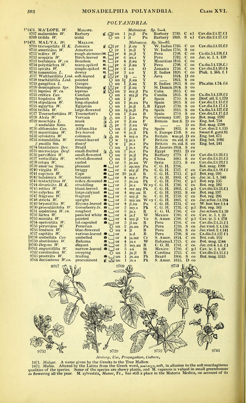 POLYANDRIA. t*1471. MA'LOPE. W. 9707 malacoSdes W. 9708 trlfida W. t*147& MAL'VA. W 9709 tricuspidata H. K. 9710 americana W. 9711'scabra W. 9712 scoparia ff. 9713 borbonica W. en. 9714 polystachya IV. 9715spicata W. 9716 tomentosa L. dill Waltherifolia Link. 9718 trachelifolia Link. 9719 gangetica L. 9720 domingensis S/jr. 9721 leprosa W. en. 9722cretica Cav. 9723 hispanica W. 9724 stipulacea W. 9725 a?gyp'tia W. 9726 trlfida W. 9121 Tournefortiana W. 9728 Alcea W. 9729 moschata i. ft undulata Sims. 9730 altha?o'ides Cav. 9731 mauritiana W. 9732 sylvestris W. 9733 rotundifolia W. ,fi pusilta Sm. 9734 braziliensis Ztec. 9735 microcarpa Desf. 9/36 parviflora W. 9737 verticillata fK 9738 crSspa W. 9739 amoe'na S»«s. 9740 virgata W. 9741 capcnsis W. 9742 balsamica IV. 9743 tridactylites W. 9744 divaricata ft AT. 9745 retusa W. 9746calycina W. 9747 fragrans \V. 9748stricta W. 9749 bryonifulia W. 9750 grossularifolia W. 9751 asperrima W. en. 9752 lactea W. 9753 miniata W. 9754 operculata IV. 9755 peruviana IV. 9756 liraensis 9757capitata W. §9758 umbellate Cut). §9759 abutiloides IV. |9760 elegans fr. §9761 angustifolia W. 9762 caroliniana W. 9763 prostrata W. 9764 dec6mbens JV.en. Malope. Barbary trifid Mallow. Jamaica j£ American rough-stemmeda. Birch-leaved «- Bourbon tt. many-spiked tt- simple-spiked tL downy tt. soft-leaved £ pointed Ganges Domingo jg leprous £ Candian Spanish long-stipuled Egyptian large-flowered Tournefort's Vervain & musk ^ wavy ^ Althaja-like Ivy-leaved common round-leaved dwarf Brazil small-fruited ^ small-flowered whorl-flowered curled pleasant twiggy m Cape » balsamic * reflex-flowered <S straddling blunt-leaved * large-calyxed fragrant M upright M Bryony-leaved tt Gooseberry-lv. tt roughest tt panic-led white tt painted tt lid-capsuled tt Peruvian blue-flowered various-leaved umbelled Bahama elegant narrow-leaved creeping trailing procumbent o < O) o □ a □ uJ □ □ O o LSI GS O o o o o o A A A O O A O o o A O o o pr pr P* pr pr l>r l«r pr un 1 un Malvacece. 1 jn.jl Pu 1 jl Pu Malvacece. 1 jl.au Y 1 jn.jl jn.jl au.s jl.au jl.au s.o s.o pr 4 6 4 6 2 3 H — jl.au 1 jl.au 2 jl.au 2 my.jl 1 my.jl 1 jl 1 jn.au 1 jn.jl jn.jl 1 jl.au 3 jl.o 2 jl.au 2 jl.au 2 jl.au 6 jn.jl 4 my.o 1| jn.s 1 jn.s I jn.s 2 jn.s 2 jn.jl 2 jn.jl 5 jn.au Sp. 2—4. Barbary 1710. Barbary 1808. Sp. 56—82. W. Indies 1726. W. Indies 1756. Peru 1798. Peru 1782. Mauritius 1816. Peru 1798. Jamaica 1726. E. Indies 1820. Java 1824. 1821. E. Indies 1823. St.Domin.1824. Cuba 1815. Candia 1825 Spain Spain Egypt Spain Spain 1710. 1815. 1739. 1815. 1759. Germany 1597. Britain bor.fi. jn.au jn.s O O :|_J lor 10 ja.d I or 4 my.s jor 3 ' t or 3 I or 4 i or 4 I or 3 ] or 3 Jor 4 J or 3 j or 3 J or 4 4 3 ap.my Pu my.jl Pu R Pu Pk Spain 1822. S. Europe 1768. Britain was.pl. Britain ro. sid. Britain ro. sid. R.Janeiro 1824. Egypt 1823. Barbary China Syria C. G. H. C. G. H. C. G. H. C. G. H C. G. H. W.vy C. G. H. mr.my Pk C. G. H. my.au R C. G. H. my.jl Sc C. G. H. my.au W vy C. G. H. jl.au Pu C. G. H. my.s Pk C. G. H. ! I I or O un ; i I un lAJ jn.s ja.f my.jl jl.au 2 jn.au 4 jl n.d 4 ja.mr 4 jn.s 3 my.au R 3 au St 1 jn.jl R 1 jn.au Pk 1 jn.s Pk C. G. H. Mexico S. Amer. Peru Peru Peru Peru S. Amer. 1779. 1683. 1573. 1796. 1727. 1713. 1800. 1791. 1792. 1803. 1812. 1759. 1805. 1731. 1732. 1796. 1780. 1798. 1795. 1759. 1768. 1798. 1814. C s.l S s.l C co S co C co C co C co C co C co C co D co S co S co S co C co S co S co S co S co S co S co D co D co D co S co S co D co S co S co S co D co C co S co S co Bahama 1.1725. C. G. H. Mexico Carolina Brazil S. Amer. 1791. 1780. 1723. 1806. 1815. C C C c c c s c c c c c c c c S co S co S co C co C co C co C p.l C co S co D co Cav.dis.2.t.27.f.l Cav.dis.2.t.27.f.2 Cav.dis.2.t.22.f.2 Ca.dis.5.t.l38.f.l Jac. ic. 1. t. 139 Ca.dis.5.t.l38.f.3 Cav.dis.2.t.20.f.4 Pluk. t. 356. f. 1 Plu.alm. t.74. f.6 Ca.dis.5.t.l38.f.2 Desf. atl.2.t.l70 Cav.dis.2.t.l5.f.2 Cav.dis.2.t.l7.f.l Ca.dis.5.t.l37.f.2 Cav.dis.2.t.l7.£3 Bot. mag. 2297 Eng. bot. 754 Bot. mag. 2298 Cav. diss.2.t.l35 Sweet fl. gard.81 Eng. bot. 671 Eng. bot. 1092 Eng. bot. 241 Cav.dis.2.t.26.f.l Cav.dis.2.t.25.f.3 Cav.dis.2.t.23.f 1 Bot. mag. 1998 Cav.dis.2.t. I8.f.2 Bot. reg. 295 Jac. ic. 1. 1.140 Bot. rep. 1&5 Bot. reg. 182 Cav.dis.2.t.2l.f.l Bot. reg. 297 Bot. reg. 296 Jac.schce.3.t.294 W. hor.ber.l.t.4 Bot. reg. 561 Jac.scho3n.2.t.39 Cav. ic. 1. t. 20 Cav. ic. 3. t. 278 Cav.dis.2.t.35.f.l Jac.vind. 2. t.156 Jac.vind. 2. t.141 Ca.dis.5.t.l37 f.1 Bot. cab. 222 Bot. mag. 2544 Jac. col.4. t.6. f.l Cav. ic. 1. t. 68 Cav.dis.2.t.l5.f.l Bot. mag. 2515 Histury, Use, Propagation, Culture, 1471. Malope. A name given by the Greeks to the Tree Mallow. 1472. Malva. Altered by the Latins from the Greek word, fiaiA«M, soft, in allusion to the soft mucilaginous qualities of the species. Some of the species are shewy plants, and M. capensis is valued in small greenhouses as flowering all the year. M. sylvestris, Mauve, Fr., has still a place in the Materia Medica, on account of its