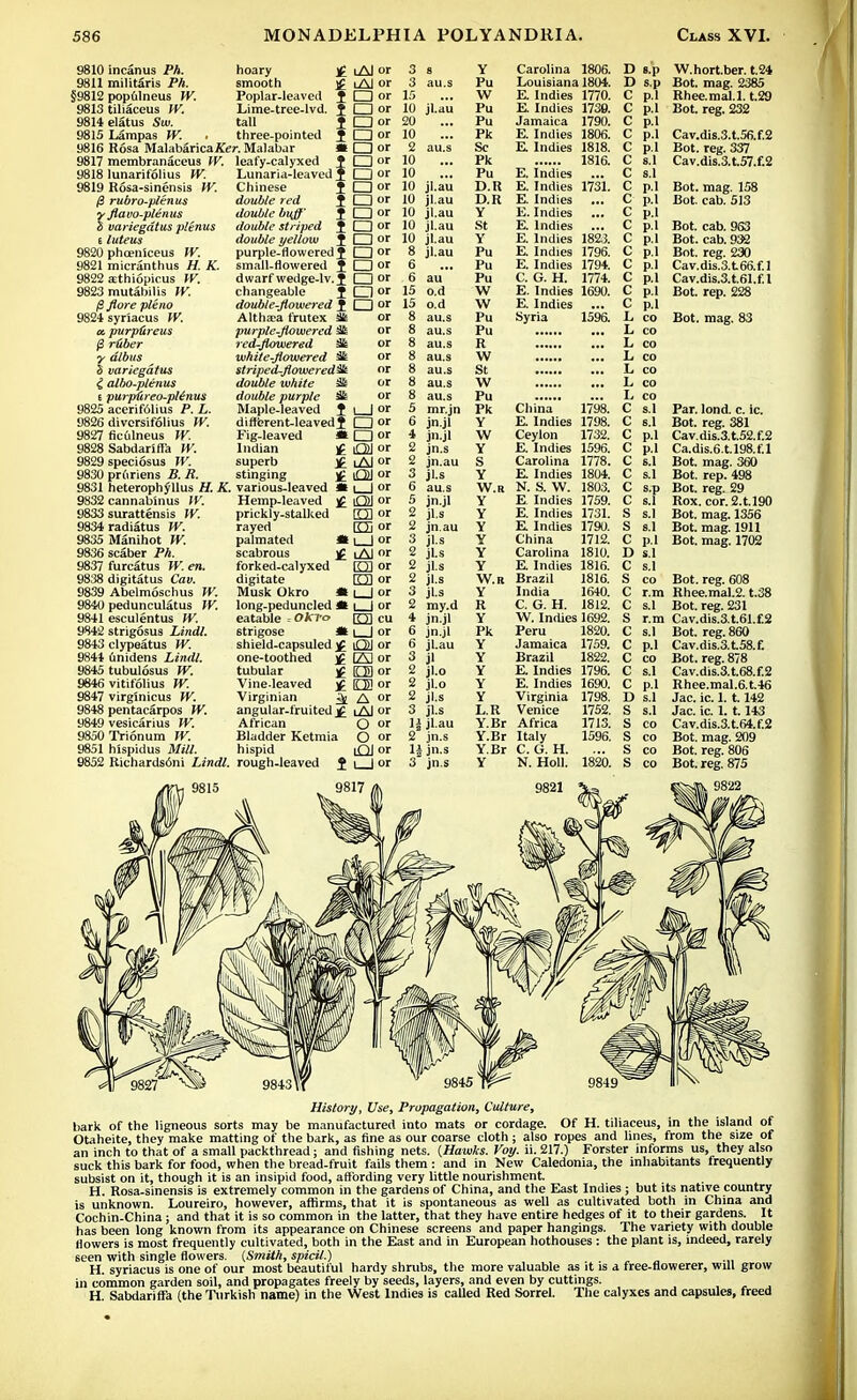 9810 incanus Ph. 9811 militaris Ph. §9812 populneus W. 9813 tiliaceus W. 9814elatus Sw. 9815 Lampas fV. hoary smooth Poplar-leaved Lime-tree-lvd. tall three-pointed 9816 Rosa Malabaricafe?-. Malabar 9817 membranaceus W. leafy-calyxed ? Lunaria-leaved J 9818 lunarifolius W. 9819 Rosa-sinensis W. P rubro-plenus y flauo-plenus S variegdtus plenus eluteus 9820 phoeniceus IV. 9821 micranthus H. K. 9822 acthiopicus W. 9823 mutabilis W. Pflore pleno 9824 syriacus W. oc purp&reus {2 rUber y dlbus h variegdtus 4 albo-plenus t purpureo-pUnus 9825 acerif61ius P.L. 9826 divcrsifolius W. 9827 ficulneus W. 9828 Sabdariffa W. 9829 speciosus IV. 9830 prftriens B. R. Chinese double red J double buff' ^ double striped J double yellow J purple-flowered • small-flowered J dwarf wedge-lv.^ changeable J double-flowered f_ Althaea frutex Sir purple-flowered St red-flowered Sit white-flowered Sit striped-flowered^ double white Sit double purple Sk Maple-leaved I different-leavedf Fig-leaved * Indian £ superb j£ stinging ]£ 9831 heterophyllus H. K. various-leaved 9832 cannabinus W. 9833 surattensis IV. 9834radiatus W. 9835 Manihot W. 9836 scaber Ph. 9837 furcatus W. en. 9838 digitatus Cav. 9839 Abelmoschus W. 9840 pedunculatus W. 9841 esculentus W. 9842 strigosus Xj«d/. 9843 clypeatus W. 9844 6nidens Lindl. 9845 tubulosus W. 9846 vitifolius ff. 9847 virginicus W. 9848 pentacarpos W. 9849 vesicarius 9850Tri6num W. 9851 hispidus 3/j«. Hemp-leaved £ prickly-stalked rayed palmated * scabrous £ forked-calyxed digitate Musk Okro * long-peduncled *t eatable ,OKto strigose * shield-capsuled £ one-toothed £ tubular £ Vine-leaved £ Virginian ^ angular-fruited j£ African Bladder Ketmia hispid i Al or i Al or I I or I I or I I or 0 or 1 I or □ or □ or I I or a or a or CD or □ or I 1 or □ or I I or CD or I I or □ or □ or Q] or iAI or i(T)l or I I or Ol or rm or rm or I | or iAI or rm or rm or EH cu l | or i(DI or ES or EB or ITSl or A °r ■ Al or O or O or iQI or 9852 Richards6ni Lindl. rough-leaved J i | or 3 s 3 au.s 15 10 jl.au 20 10 ... 2 au.s 10 10 ... 10 jl.au 10 jl.au 10 jl.au 10 jl.au 10 jl.au 8 jl.au 6 6 au 15 o.d 15 o.d 8 au.s 8 au.s 8 au.s 8 au.s 8 au.s 8 au.s au.s mr.jn jn.jl jjl jn.s jn.au jLs au.s jn.jl jl.s jn.au jl.s jLs jls Jl.s jls my.d jn.jl jn.jl jl.au jl jl.o jl.o jl.s jls 1| jl.au 2 jn.s 1| jn.s 3 jn.s Y Carolina 1806. Pu Louisiana 1804. W E. Indies 1770. Pu K Indies 1739. Pu Jamaica 1790. Pk E. Indies 1806. Sc E Indies 1818. Pk 1816. Pu E. Indies ... D.R E. Indies 1731. D.R E. Indies ... Y E. Indies ... St E. Indies ... Y E. Indies 1823. Pu E. Indies 1796. Pu E. Indies 1794. Pu C. G. H. 1774. W E. Indies 1690. W E. Indies ... Pu Syria 1596. Pu R W St W Pu Pk China 1798. Y E. Indies 1798. W Ceylon 1732. Y E. Indies 1596. S Carolina 1778. Y E. Indies 1804. W.R N. S. W. 1803. Y E Indies 1759. Y E. Indies 1731. Y E Indies 1790. Y China 1712. Y Carolina 1810. Y E Indies 1816. W.R Brazil 1816. Y India 1640. R C. G. H. 1812. Y W. Indies 1692. Pk Peru 1820. Y Jamaica 1759. Y Brazil 1822. Y E. Indies 1796. Y E. Indies 1690. Y Virginia 1798. L.R Venice 1752. Y.Br Africa 1713. Y.Br Italy 1596. Y.Br C. G. H. ... Y N. Holl. 1820. D s.p D s.p C p.l c C C c C C c C c c c c c c c c L L L co L co L co L co L co p.l p.l p.l P-1 s.l S.1 p.l p.l p.l pi pi pi p.] pi pi p.l D s.l S s.I S co S co S co S co W.hort.ber. t.24 Bot. mag. 2385 Rhee.mal.l. t.29 Bot. reg. 232 Cav.dis.3.t.56.f.2 Bot. reg. 337 Cav.dis.3.t.57.f.2 Bot. mag. 158 Bot. cab. 513 Bot. cab. 963 Bot. cab. 932 Bot. reg. 230 Cav.dis.3.t66.f.I Cav.dis.3.t.61.f.l Bot. rep. 228 Bot. mag. 83 Par. lond. c. ic. Bot. reg. 381 Cav.dis.3.t.52.f.2 Ca.dis.6.t.l98.f.l Bot. mag. 360 Bot. rep. 498 Bot. reg. 29 Rox. cor.2.t.l90 Bot. mag. 1356 Bot. mag. 1911 Bot. mag. 1702 Bot. reg. 608 Rhee.mal.2. t.38 Bot. reg. 231 Cav.dis.3.t.6I.f.2 Bot. reg. 860 Cav.dis.3.t.58.f. Bot. reg. 878 Cav.dis.3.t.68.f.2 Rhee.mal.6.t.46 Jac. ic. 1. 1.142 Jac. ic. 1.1.143 Cav.dis.3.t.64.f.2 Bot. mag. 209 Bot. reg. 806 Bot. reg. 875 9822 History, Use, Propagation, Culture, bark of the ligneous sorts may be manufactured into mats or cordage. Of H. tiliaceus, in the island of Otaheite, they make matting of the bark, as fine as our coarse cloth ; also ropes and lines, from the size of an inch to that of a small packthread; and fishing nets. {Hawks. Voy. ii. 217.) Forster informs us, they also suck this bark for food, when the bread-fruit fails them : and in New Caledonia, the inhabitants frequently subsist on it, though it is an insipid food, affording very little nourishment. H. Rosa-sinensis is extremely common in the gardens of China, and the East Indies; but its native country is unknown. Loureiro, however, affirms, that it is spontaneous as well as cultivated both in China and Cochin-China; and that it is so common in the latter, that they have entire hedges of it to their gardens. It has been long known from its appearance on Chinese screens and paper hangings. The variety with double flowers is most frequently cultivated, both in the East and in European hothouses : the plant is, indeed, rarely 6een with single flowers. {Smith, spicil.) . H. syriacus is one of our most beautiful hardy shrubs, the more valuable as it is a free-flowerer, will grow in common garden soil, and propagates freely by seeds, layers, and even by cuttings. H. Sabdariffa (the Turkish name) in the West Indies is called Red Sorrel. The calyxes and capsules, freed
