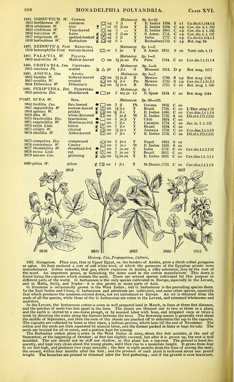 1481. GOSSY'PIUM. W. Cotton. 9853 herbaceum W. common O ag 9854 arboreum W. tree J □ or 9855 vitifolium W. Vine-leaved [Qj ag 9856 hirsutum W. hairy •£ iQJ ag 9857 religiosum W. 9858 barbadense W.' Malvacece. spotted-barked )£ 23 ag Barbadoes £ [QJ ag 3 jl 12 jl.au 3 3 jl.au 3 jl 6 s 1482. REDOUTE'A. Vent. Redoutea. 9859 heterophylla Vent, various-leaved 1483. PALA'VIA. \V. 9860 malvifulia W. Palavia. Mallow-leaved 1484. CRISTA'RIA. Cav. Cristaria 9861 coceinea Ph. scarlet 1485. ANO'DA. Can. Anoda. 9862 hastata W. halberd-leaved 9863 cristata W. crested 9864 Dilleniana W. Dillenius's 1486. PERIP'TERA. Dec. Periptera. 9865 punicea Dec. Shuttlecock rm or O un 4 Apr OJ un lQJ un iQJ un «Dpr Malvacece. 3 jn Y Malvacere. 1J jn.au Pu Malvacece. Jjl.S S Malvacece. 14 jn.jl B 1| jl.s Pu lfjn.n B Malvacece. 3 my.jn Cr t*1487. SI'DA W. 9866 linifolia Cav. 9867 angustifolia W 9868 spin6sa W. 9869 alba W. 9870 bracteolata Bee. 9871 carpinifolia W. 9872 erosa Link. 9873 ciliaris W. 9874 alnifolia W. 9875 compressa Dec. 9876 canadensis W. 9877 rhombifolia W. 9878 reclsa Link. 9879 mlcans Caw. Sida. flax-leaved *l □ un 3 jl narrow-leaved )£ 23 un If jl.s prickly white-flowered bracteolate Hombean-lvd. bitten ciliated Alder-leaved compressed Canary rhomboid-lvd. cut glittering £ Ol un 11 jl.s rm un 2 jn.jl I I un 2 jn.jl 3 jl.s 2 jl.s 1| jn.s 2 jl.s £ 22 un £ OJ un O un LQJ un lQJ un •□un £ 2S un $ iAI un Malvacece. Pk Y Y W Y Y Y Y Y 2 jn.s 2 jn.s 2 jn.au 2 jn.au 1^ jn.au Sp. 6—16. E. Indies 1594. E. Indies 1694. E. Indies 1805. S. Amer. 1731. India 1777. Barbadoes 1759. Sp. 1—2. S. Amer. 1822. Sp. 1—2. Peru Sp. 1—4. Missouri Sp. 3—7. Mexico Mexico Mexico Sp. 1. N. Spain 1794. 1811. 1799. 1720. 1725. 1814. Sp. 69—195. Guiana 1822. Brazil 1726. E. Indies 1680. E. Indies 1732. Chili 1824. Canaries 1774. Brazil 1824. Jamaica 1759. E. Indies 1732. Nepal 1823. E. Indies 1820. India 1732. Brazil 1823. E. Indies 1820. Ca.dis.6.t.l64.f.2 Cav. dis. 6.1.193 Cav. dis. 6.1.166 Cav. dis. 6.1.167 Ca.dis.6.t.l64.f.l s.p Bot. reg. 84 S co Vent. eels. 1.11 C co Cav.dis.l.t.ll.f.4 D p Bot. mag. 1673 S s.p Bot. mag. 1541 S s.p Cav.dis.l.t.l0.f.3 C co Bot. mag. t. 330 C co Bot. mag. 1644 co L'Her. stirp.t.52 co Cav.diss.l.t.l.f.9 co Dil.el.t.l71.f.210 co co Jac. ic. 1. 1.135 co co Cav.diss.l.t.3.f.9 co Dil.el.t.l72.f.211 Cav.dis.l.t.3.f.l2 Cav.diss.lt S.f.l If nun 1 jl.s St.Domin.1793. C co Cav.diss.l.t.l.f.8 9857 ^ History, Use, Propagation, Culture, 1481. Gossypium. Pliny says, that in Upper Egypt, on the borders of Arabia, grew a shrub called gossypion or xylon. Its fruit enclosed a sort of soft white wool, of which the garments of the Egyptian priests were manufactured. Golius remarks, that goz, which expresses in Arabia, a silky substance, may be the root of the word. An important genus, as furnishing the down used in the cotton manufacture. This down is found lining the capsules which contain the seeds. There are several species cultivated for this purpose in different parts of the world. G. herbaceum is the only species cultivated in Europe, especially in the Levant, and in Malta, Sicily, and Naples : it is also grown in many parts of Asia. G. hirsutum is occasionally grown in the West Indies ; but G. barbadense is the prevailing species there. In the East Indies and China, G. herbaceum and arboreum are cultivated, and some other species, especially that which produces the nankeen-colored down, not yet introduced to Europe. An oil is obtained from the seeds of all the species, while those of the G. herbaceum are eaten in the Levant, and esteemed wholesome and nutritive. In the Levant, the herbaceous cotton is sown in well prepared land in March, in lines at three feet distance, and the patches of seeds two feet apart in the lines. The plants are thinned out to two or three in a place, and the earth is stirred by a one-horse plough, or by manual labor with hoes, and irrigated once or twice a week by directing the water along the furrows between the rows. The flowering season is generally over about the middle of September, and then the ends of the shoots are pinched off to determine the sap to the capsules. The capsules are collected by hand as they ripen, a tedious process, which lasts till the end of Nevember. The cotton and the seeds are then separated by manual labor, and the former packed in bales or bags for sale. The seeds are bruised for oil or eaten, and a portion kept for sowing. The Barbadoes cotton plant is sown in the West Indies in rows, about five feet asunder, at the end of September, or the beginning of October; at first but slightly covered, but after it is grown up, the root is well moulded. The soil should not be stiff' nor shallow, as this plant has a tap-root. The ground is hoed fre- quently, and kept very clean about the young plants, until they rise to a moderate height. It grows from four to six feet high, and produces two crops annually ; the first in eight months from the time of sowing the seed; the second, within four months after the first; and the produce of each plant is reckoned about one pound weight. The branches are pruned or trimmed after the first gathering; and if the growth is over luxuriant, I