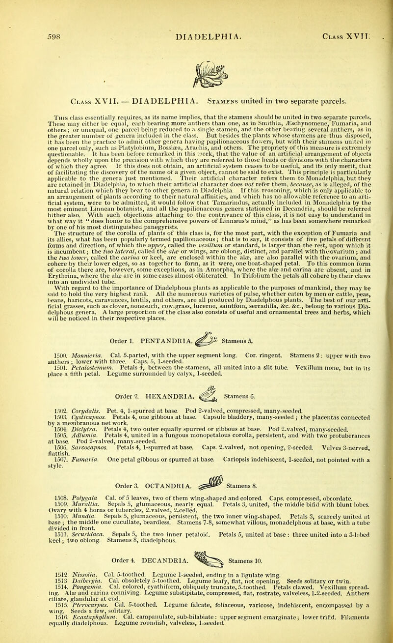 Class XVII. — DIADELPHIA. Stamens united in two separate parcels. This class essentially requires, as its name implies, that the stamens should be united in two separate parcels. These may either be equal, each bearing more anthers than one, as in Smithia, iEschynomene, Fumaria, and others ; or unequal, one parcel being reduced to a single stamen, and the other bearing several anthers, as ill the greater number of genera included in the class. But besides the plants whose stamens are thus disposed, it has been the practice to admit other genera having papilionaceous flowers, but with their stamens united in one parcel only, such as Platylobium, ]5ossia?a, Arachis, and others. The propriety of this measure is extremely questionable. It has been before remarked in this .vcrk, that the value of an artificial arrangement of objects depends wholly upon the precision with which they are referred to those heads or divisions with the characters of which they agree. If this does not obtain, an artificial system ceases to be useful, and its only merit, that of facilitating the discovery of the name of a given object, cannot be said to exist. This principle is particularly applicable to the genera just mentioned. Their artificial character refers them to Monadelphia, but they are retained in Diadelphia, to which their artificial character does not refer them, because, as is alleged, of the natural relation which they bear to other genera in Diadelphia. If this reasoning, which is only applicable to an arrangement of plants according to their natural affinities, and which has no allowable reference to an arti- ficial system, were to be admitted, it would follow that Tamarindus, actually included in Monadelphia by the most eminent Linnean botanists, and all the papilionaceous genera stationed in Decandria, should be referred hither also. With such objections attaching to the contrivance of this class, it is not easy to understand in what way it  does honor to the comprehensive powers of Linnasus's mind, as has been somewhere remarked by one of his most distinguished panegyrists. The structure of the corolla of plants of this class is, for the most part, with the exception of Fumaria and its allies, what has been popularly termed papilionaceous ; that is to say, it consists of five petals of different forms and direction, of which the upper, called the vexillum or standard, is larger than the rest, upon which it is incumbent; the two lateral, called the alee or wings, are oblong, distinct, and parallel with the ovarium; and the two lower, called the carina or keel, are enclosed within the ala;, are also parallel with the ovarium, and cohere by their lower edges, so as together to form, as it were, one boat-shaped petal. To this common form of corolla there are, however, some exceptions, as in Amorpha, where the ala; and carina are absent, and in Erythrina, where the ala; are in some cases almost obliterated. In Trifolium the petals all cohere by their claws into an undivided tube. With regard to the importance of Diadelphous plants as applicable to the purposes of mankind, they may be said to hold the very highest rank. All the numerous varieties of pulse, whether eaten by men or cattle, peas, beans, haricots, caravances, lentils, and others, are all produced by Diadelphous plants. The best of our arti- ficial grasses, such as clover, nonesuch, cow-grass, lucerne, saintfoin, serradilla, &c. &c, belong to various Dia- delphous genera. A large proportion of the class also consists of useful and ornamental trees and herbs, which will be noticed in their respective places. Order 1. PENTANDRI A. Stamens 5. 1501). Monnicria. Cal. 5-parted, with the upper segment long. Cor. ringent. Stamens 2 : upper with two anthers ; lower with three. Caps. 5, 1-seeded. 1501. Petalostemum. Petals 4, between the stamens, all united into a slit tube. Vexillum none, but in its place a fifth petal. Legume surrounded by calyx, 1-seeded. Order 2. HEXANDRIA. Stamens 6. 1502. Corydalis. Pet. 4, 1-spurred at base Pod 2-vaIved, compressed, many-seeded. 1503. Cysticapnos. Petals 4, one gibbous at base. Capsule bladdery, many-seeded j the placentas connected by a membranous net work. 1504. Diclytra. Petals 4, two outer equally spurred or gibbous at base. Pod 2-valved, many-seeded. 1505. Adlumia. Petals 4, united in a fungous monopetalous corolla, persistent, and with two protuberances at base. Pod 2-ralved, many-seeded. 1506. Sarcocapnos. Petals 4, 1-spurred at base. Caps. 2-valved, not opening, 2-seeded. Valves 3-nerved, flattish. 1507. Fumaria. One petal gibbous or spurred at base. Cariopsis indehiscent, 1-seeded, not pointed with a style. Order 3. OCTANDRI A. Stamens 8. 1508. Po/ygala Cal. of 5 leaves, two of them wing-shaped and colored. Caps, compressed, obcordate. 1509. Muraltia. Sepals 5, glumaceous, nearly equal. Petals 3, united, the middle bifid with blunt lobes. Ovary with 4 horns or tubercles, 2-valved, 2-celled. 1510. Mundia. Sepals 5, glumaceous, persistent, the two inner wing-shaped. Petals 3, scarcely united at base ; the middle one cucullate, beardless. Stamens 7-8, somewhat villous, monadelphous at base, with a tube divided in front. 1511. Securidaca. Sepals 5, the two inner petaloi('_ Petals 5, united at base : three united into a 3-lobed keel; two oblong. Stamens 8, diadelphous. Order 4. DECANDRIA. Stamens 10. 1512 Nisso/ia. Cal. 5-toothed. Legume 1-seeded, ending in a ligulate wing. 1513 Dalbergia. Cal. obsoletely 5-toothed. Legume leafy, flat, riot opening. Seeds solitary or twin. 1514. Pongamia. Cal. colored, cyathiform, obliquely truncate,5-toothed. Petals clawed. Vexillum spread- ing. Ala; and carina conniving. I-egume substipitate, compressed, fiat, rostrate, valveless, 1-2-seeded. Anthers ciliate, glandular at end. 1515. Pterocarpus. Cal. 5-toothed. Legume falcate, foliaceous, varicose, indehiscent, encompassed by a wing. Seeds a few, solitary. 1516. Ecastaphyuum. Cal. eampanulate, sub-bilabiate: upper segment emarginate; lower trifjd. Filaments equally diadelphous. Legume roundish, valveless, 1-seeded.