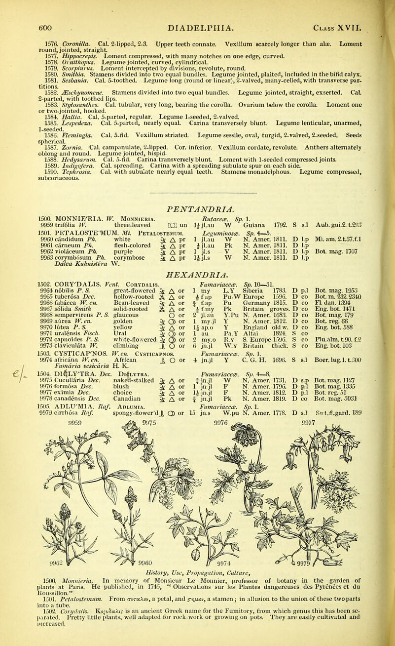 1576. Coronilla. Cat 2-lipped, 2-3. Upper teeth connate. Vexillum scarcely longer than alae. Loment round, jointed, straight 1577. Hippocrepis. Loment compressed, with many notches on one edge, curved. 1578. Ornithopus. Legume jointed, curved, cylindrical. 1579. Scorpiurus. Loment intercepted by divisions, revolute, round. 1580. Smithia. Stamens divided into two equal bundles. Legume jointed, plaited, included in the bifid calyx. 1581. Sesbania. Cal. 5-toothed. Legume long (round or linear), 2-valved, many-celled, with transverse par- titions. 1582. JEschynomene. Stamens divided into two equal bundles. Legume jointed, straight, exserted. Cal. 2-parted, with toothed lips. 1583. Styiosanthes. Cal. tubular, very long, bearing the corolla. Ovarium below the corolla. Loment one or two-jointed, hooked. 1584. Hallia. Cal. 5-parted, regular. Legume 1-seeded, 2-valved. 1585. Lespedeza. Cal. 5-parted, nearly equal. Carina transversely blunt. Legume lenticular, unarmed, 1-seeded. 1586. Flemingia. Cal. 5-fid. Vexillum striated. legume sessile, oval, turgid, 2-valved, 2-seeded. Seeds spherical. 1587. Zornia. Cal. campanulate, 2-lipped. Cor. inferior. Vexillum cordate, revolute. Anthers alternately oblong and round. Legume jointed, hispid. 1588. Hedysarum. Cal. 5-fid. Carina transversely blunt. Loment with 1-seeded compressed joints. 1589. Indigo/era. Cal. spreading. Carina with a spreading subulate spur on each side. 1590. Tephrosia. Cal. with subulate nearly equal teeth. Stamens monadelphous. Legume compressed, subcoriaceous. PENTANDRIA 1500. MONNIE'RIA. W. Monnieria. 9959 trifolia W. three-leaved O un 1501. PETALOSTEMUM. Mi. Petalostemum. 9960 candidum Ph. white ^ A pr 9961 carneum Ph. flesh-colored ^ A 9962 violaceum Ph. purple <k A pr 9963 corymb6sum Ph. corymbose 3e A pr Ddlea Kuhnistera W. Rutacece. Sp. 1. 1 J jl.au W Guiana Leguminosce. 1 jl.au W Pk V w Jjl.au 1 jl.s ljjl.s 1792. S s.l Sp. 4—5. N. Amer. 1811. N. Amer. 1811. N. Amer. 1811. D l.p N. Amer. 1811. D l.p D l.p D l.p HEXANDRIA. 1502. 9964 9965 9966 9967 9968 9969 9970 9971 9972 9973 1503. 9974 1504. 9975 9976 9977 9978 1505. 9979 CORY'DALIS. Vc nobilis P. S. tuberosa Dec. fabacea W. en. solida Smith sempervirens P. S. a urea W. en. 16tea P.S. uralensis Fisch. capnoldes P. S. claviculata W. CYSTICAP'NOS. africana W. en. Fumaria vesicaria DlJjLY'TRA. Dec. Cucullaria Dec. formosa Dec. ex'imia Dec. canadensis Dec. ADLU'MI A. Raf. cirrhosa Rnf. nt. CoRYDALIS. great-flowered hollow-rooted Bean-leaved solid-rooted glaucous golden yellow Ural white-flowered climbing W. en. Cystica African H. K. Dl*LYTRA ^ A or A A or ^ A or A A or O or 4 A »' 3l Q) or ^ Q> or 1 O or PNOS. A O or Fumariacece. 1 my L.Y i fap 1 f-ap | f.my 2 jl.au 1 my.jl 1J ap.o 1 au 2 my.o 6 jn.jl Pu.W Pu Pk Y.Pu Y Y Pa.Y R.Y W.Y Fumariacete. jn.jl Y Sp. 10—31. Siberia 1783. Europe 1596. Germany 1815. Britain groves. N. Amer. 1683. N. Amer. 1812. England old w. Altai 1824. S. Europe 1596. Britain thick. Sp. 1. C. G. H. 1696. D p.l D co D co D co D co D co D co S co S co S co Aub. gui.2. t.293 Mi. am.2.t.37.f.l Bot. mag. 1707 Bot. mag. 1953 Bot. m. 232.2340 Fl. dan. 1394 Eng. bot. 1471 Bot. mag. 179 Bot. reg. 66 Eng. bot. 588 Plu.alm. t.90. f.2 Eng. bot. 103 S s.l Boer. lug. l.t.300 nakeu-stalked A or 1 jn.jl W blush A or 1 jn.jl F choice & or H jn.jl F Canadian A or 1 jn.jl Pk Aolumia. Fuma naccts. spongy-flower' a> or 15 jn.s W.pu Fumariacece. Sp. 4—8. N. Amer. 1731. N. Amer. 1796. N. Amer. 1812. N. Amer. 1819. Sp. 1. D s.p Bot. mag. 1127 D p.l Bot. mag. 1335 D p.l Bot. reg. 51 Bot. mag. 3031 D co D s.l Sut.fl.gard. 189 9977 ' 9960 History, Use, Propagation, Culture, 1500. Monnieria. In memory of Monsieur Le Monnier, professor of botany in the garden of plants at Paris. He published, in 1745,  Observations sur les Plantes dangereuses des Pyrenees et du Koussillon. 1501. Petalostemum. From tnrctXw, a petal, and s4fM>v, a stamen; in allusion to the union of these two parts into a tube. 1502. Corydalis. Ko^uSxXi; is an ancient Greek name for the Fumitory, from which genus this has been se- parated. Pretty little plants, well adapted for rock-work or growing on pots. They are easily cultivated and increased.