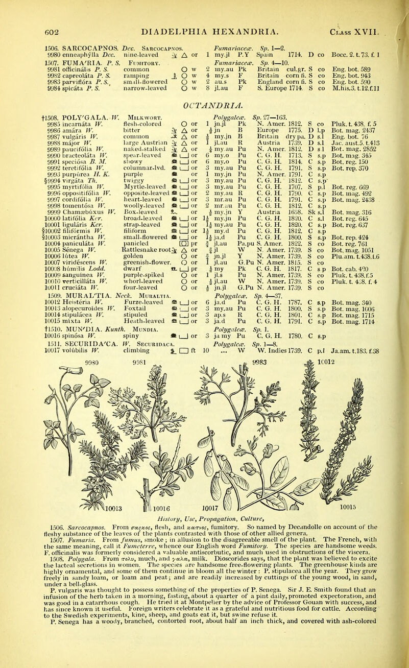 1506. SARCOCAPNOS. Dec. Sarcocapnos. 9U80 enneaphylla Dec. nine-leaved ^ A 1507. FUMA'RIA. P. S. Fumitory. 9981 officinalis P. S. common 9982 capreolata P. S. ramping 9983 parviflora P.S., small-flowered 9984 spicata P. S. narrow-leaved Fumariacece. Sp. 1—2. 1 my.jl P.Y Spain 1714. Deo Bocc. 2. t. 73. f. 1 Fumariaceie. Sp. 4—10. O w 2 my.au Pk Britain cul.gr. S co Eng. bot. 589 O w 1 my.s F Britain corn fi. S co Eng. bot. 943 O w 2 au.s Pk England corn fi. S co Eng. bot. 590 O w 8 jlau F S. Europe 1714. S co M.his.3. t.l2.f.ll OCTANDRIA. +1508. 9985 9985 9987 9988 9989 9990 9991 9992 9993 §U994 9995 9996 9997 9998 9999 10000 10001 §10002 §10003 10004 10005 10006 10007 10008 10009 10010 10011 1509. 10012 10013 10014 10015 tl510, 10016 1511. 10017 POLY'GALA. n incarnata W. amara W. vulgaris W. major W. paucifolia TV. bracteolata IV. speciosa B. M. teretifolia IV. purpurea H. K. virgata Th. myrtifolia tV. opposititolia IV. cordifolia W. tomentosa W. Chamasbuxus W. latilolia Ker. ligularis Ker. filiformis W. mierantha W. paniculata W. Senega W. 16 tea W. vjridescens IV. humilis Lodd. sangulnea W. verticillata IV. cruciata W. MURAL'TI A. Heisteria W. alopecuroides W. Milkwort. flesh-colored bitter ^ common -2k large Austrian ^ naked-stalked ^ spear-leaved * showy fit columnar.lvd. * purple * twiggy fi! Myrtle-leaved ■£> opposite-leaved *l heart-leaved fil woolly-leaved * Box-leaved broad-leaved fit strap-leaved fit filiform SS small-flowered fit panicled Rattlesnake root^ golden greenish-flower, dwarf it. purple-spiked whorl-leaved four-leaved Neck. Mukaltia. Furze-leaved f& Foxtail fit O or A or A or A or A or 1 i 1 6* 6 3 1 3 3 2 3 2 i U* u 11 Polygalece. jn.jl Pk jjn B my.jn B jl.au R r my.au Pu my.o Pu my.o Pu my.au Pu my.jn Pu my.au Pu my.au Pu my.au R mr.au Pu mr.au Pu my.jn Y my.jn Pu my.au Pu my.d Pu rm pr A or O or O or I I pr O or O or O or ja.d jl.au jl jn.jl jl.au my jl-s jl.au jn.jl stipuled fit i Heath-leaved fit i stipulacea W. mixta IV. , MUN'DI A. Kunth. Mlindia. spinosa IV. spiny fit | | or 3 SECURIDA'CA. IV. Securidaca. volubilis W. climbing %_ □ ft 10 Polygalece. ja.d Pu my.au Pu ap.s R ja.d Pu Polygalece. ja my Pu Polygaleie. ... W Sp. 27—163. N. Amer. 1812. Europe 1775. Britain dry pa. Austria 1739. N. Amer. 1812. C. G. H. 1713. C. G. H. 1814. C. G. H. 1791. N. Amer. 1791. C. G. H. 1812. C. G. H. 1707. C. G. H. 1790. C. G. H. C. G. H. Austria C. G. H. C. G. H. C. G. H. C. G. H. Pa.pu S. Amer. W N. Amer. 1739. Y N. Amer. 1739. G.Pu N. Amer. 1815. Pk C. G. H. 1817. Pu N. Amer. 1739. W N. Amer. 1739. G.Pu N. Amer. 1739. Sp. 4—37. C. G. H. C. G. H. C. G. H. C. G. H. D l.p D s.I D s.l D si S s.p C s.p S s.p Pu 1791. 1812. 1658. 1820. 1820. 1812. 1800. 1822. Sk s.l 1787. 1800. 1801. 1791. C C c S s.p S co S co S co S co C sp S co S co S co C s.p S s.p C s.p C s.p Pluk. t. 438. f. 5 Bot. mag. 2437 Eng. bot. 76 Jac. aust.5. t.413 Bot. mag. 2852 Bot. mag. 345 Bot. reg. 150 Bot. rep. 370 Bot. reg. 669 Bot. mag. 492 Bot. mag. 2438 Bot. mag. 316 Bot. reg. 645 Bot. reg. 037 Bot. rep. 424 Bot. reg. 761 Bot. mag. 1051 Plu.am. t.438.1.6 Bot. cab. 420 Pluk. t. 438. f.5 Pluk. t. 4„8. f. 4 Sp. 1. C. G. H. Bot. mag. 340 Bot. mag. 1006 Bot. mag. 1715 Bot. mag. 1714 1780. C s.p Sp. 1—8. W. Indies 1739. C p.l Ja.am. t.183. f.38 1C012 10015 History, Use, Propagation, Culture, 1506. Sarcocapnos. From tmexo;, flesh, and y-acmos, fumitory. So named by Decandolle on account of the fleshy substance of the leaves of the plants contrasted with those of other allied genera. 1507. Fumaria. From fttmus, smoke; in allusion to the disagreeable smell of the plant. The French, with the same meaning, call it Fumeterre, whence our English word Fumitory. The species are handsome weeds. F. officinalis was formerly considered a valuable antiscorbutic, and much used in obstructions of the viscera. 1508. Polygala. From rroXo, much, and yctXa., milk. Dioscorides says, that the plant was believed to excite the lacteal secretions in women. The species are handsome free-flowering plants. The greenhouse kinds are highly ornamental, and some of them continue in bloom all the winter : P. stipulacea all the year. They grow freely in sandy loam, or loam and peat; and are readily increased by cuttings of the young wood, in sand, under a bell-glass. P. vulgaris was thought to possess something of the properties of P. Senega. Sir J. E. Smith found that an infusion of the herb taken in a morning, fasting, about a quarter of a pint daily, promoted expectoration, and was good in a catarrhous cough. He tried it at Montpelier by the advice of Professor Gouan with success, and has since known it useful. Foreign writers celebrate it as a grateful and nutritious food for cattle. According to the Swedish experiments, kine, sheep, and goats eat it, but swine refuse it. P. Senega has a woody, branched, contorted root, about half an inch thick, and covered with ash-colored