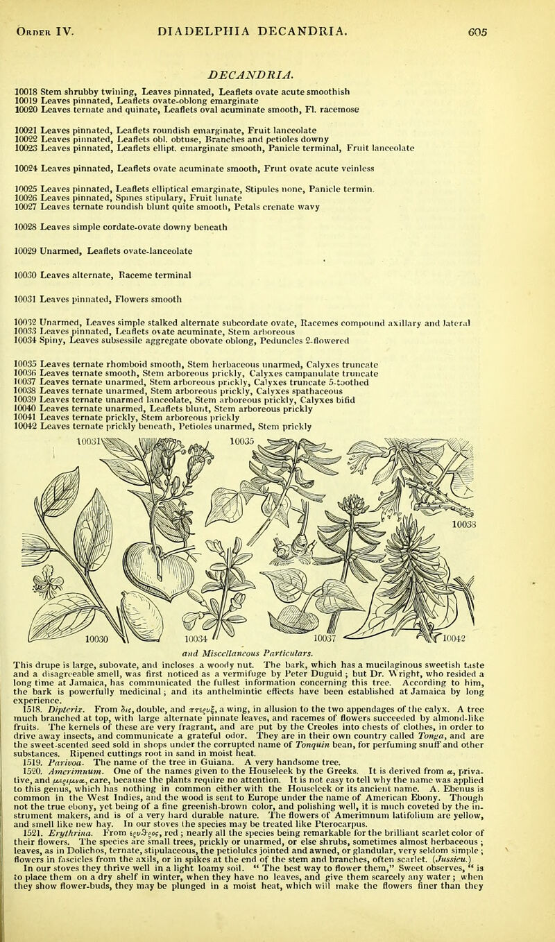 DECANDRIA. 10018 Stem shrubby twining, Leaves pinnated, Leaflets ovate acute smoothish 10019 Leaves pinnated, Leaflets ovate-oblong emarginate 10020 Leaves ternate and quinate, Leaflets oval acuminate smooth, Fl. racemose 10021 Leaves pinnated, Leaflets roundish emarginate, Fruit lanceolate 10022 Leaves pinnated, Leaflets obi. obtuse, Branches and petioles downy 10023 Leaves pinnated, Leaflets ellipt. emarginate smooth, Panicle terminal, Fruit lanceolate 10024 Leaves pinnated, Leaflets ovate acuminate smooth, Fruit ovate acute veinless 10025 Leaves pinnated, Leaflets elliptical emarginate, Stipules none, Panicle termin. 10026 Leaves pinnated, Spines stipulary, Fruit lunate 10027 Leaves ternate roundish blunt quite smooth, Petals crenate wavy 10028 Leaves simple cordate-ovate downy beneath 10029 Unarmed, Leaflets ovate-lanceolate 10030 Leaves alternate, Raceme terminal 10031 Leaves pinnated, Flowers smooth 10<)32 Unarmed, Leaves simple stalked alternate subcordate ovate, Racemes compound axillary and lateral 10033 Leaves pinnated, Leaflets ovate acuminate, Stem arboreous 10034- Spiny, Leaves subsessile aggregate obovate oblong, Peduncles 2-flowercd 10035 Leaves ternate rhomboid smooth, Stem herbaceous unarmed, Calyxes truncate 10036 Leaves ternate smooth, Stem arboreous prickly, Calyxes campanulate truncate 10037 Leaves ternate unarmed, Stem arboreous prickly, Calyxes truncate 5-toothed 10038 Leaves ternate unarmed, Stem arboreous prickly, Calyxes spathaceous 10039 Leaves ternate unarmed lanceolate, Stem arboreous prickly, Calyxes bifid 10040 Leaves ternate unarmed, Leaflets blunt, Stem arboreous prickly 10041 Leaves ternate prickly, Stem arboreous prickly 10042 Leaves ternate prickly beneath, Petioles unarmed, Stem prickly and Miscellaneous Particulars. This drupe is large, subovate, and incloses a woody nut. The bark, which has a mucilaginous sweetish taste and a disagreeable smell, was first noticed as a vermifuge by Peter Duguid ; but Dr. W right, who resided a long time at Jamaica, has communicated the fullest information concerning this tree. According to him, the bark is powerfully medicinal; and its anthelmintic effects have been established at Jamaica by long experience. 1518. Dipterix. From in, double, and a wing, in allusion to the two appendages of the calyx. A tree much branched at top, with large alternate pinnate leaves, and racemes of flowers succeeded by almond.like fruits. The kernels of these are very fragrant, and are put by the Creoles into chests of clothes, in order to drive away insects, and communicate a grateful odor. They are in their own country called Tonga, and are the sweet-scented seed sold in shops under the corrupted name of Tonquin bean, for perfuming snuff and other substances. Ripened cuttings root in sand in moist heat. 1519. Farivoa. The name of the tree in Guiana. A very handsome tree. 1520. Amerimnum. One of the names given to the Houseleek by the Greeks. It is derived from «, priva- tive, and f&i%tfx.vot, care, because the plants require no attention. It is not easy to tell why the name was applied to this gemis, which has nothing in common either with the Houseleek or its ancient name. A. Ebenus is common in the West Indies, and the wood is sent to Europe under the name of American Ebony. Though not the true ebony, yet being of a fine greenish-brown color, and polishing well, it is much coveted by the in- strument makers, and is of a very hard durable nature. The flowers of Amerimnum latifolium are yellow, and smell like new hay. In our stoves the species may be treated like Pterocarpus. 1521. Erythrina. From t^S-go;, red ; nearly all the species being remarkable for the brilliant scarlet color of their flowers. The species are small trees, prickly or unarmed, or else shrubs, sometimes almost herbaceous ; leaves, as in Dolichos, ternate, stipulaceous, the petiolulcs jointed and awned, or glandular, very seldom simple ; flowers in fascicles from the axils, or in spikes at the end of the stem and branches, often scarlet. {Jussieu.) In our stoves they thrive well in a light loamy soil.  The best way to flower them, Sweet observes,  is to place them on a dry shelf in winter, when they have no leaves, and give them scarcely any water; when they show flower-buds, they may be plunged in a moist heat, which will make the flowers finer than they