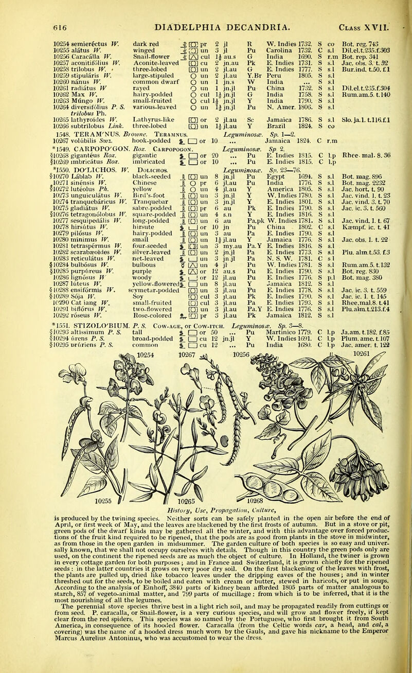 semierectus IV. alatus^ W. Caracalla IV. aconitifulius IV. trilobus IV. • stipularis IV. nanus W. radiatus W Max W. Mfingo W. diversifolius P. S. trilobus Ph. lathyroides IV. subtrilobus Link. TERAM'NUS. Browne. Tekamnus. voliibilis Sivz. hook-podded $_ f~l CARPOPO'GON. Rox. Carpopogon. giganteus Rox. imbricatus Rox. W. 10254 10255 10256 10257 10258 10259 10260 10261 10262 10263 10264 10265 10266 1548. 10267 *1549. 510268 §10269 *I550. §10270 ,10271 ?10272 10273 10274 10275 §10276 10277 10278 10279 10280 10281 10282 10283 §10284 §10285 10286 10287 §1H2S8 $10289 10290 10291 10292 •1551. STIZOLO'BIUM. P. S. §10293 altissimum P. S. tall §10294 iirens P. S. broa §10295 Drdriens P. S. dark red j; EH winged £2 Snail-flower _<£ (23 Aconite-leaved ITTI three-lobed large-stipuled common dwarf rayed hairy-podded small-fruited various-leaved 2 jl 3 jl 1} au.s 2 jn.au 2 jl.au 2 jl.au 1 jn.s 1 jn.jl .. H jn.jl ul H jn.jl U jn.jl R I'u G Pk G Y.Br Peru W India W. Indies 1732. Carolina 1732. India 1690. E. Indies 1731. E. Indies 1777. 1805. Lathyrus-like three-lobed un or 2 un H Pu G Y Pu China India India 1732. 1758. 1790. N. Amer. 1806. co Bot. reg. 743 s.l Dil.el.t.2a5.f.303 r.m Bot. rep. 341 s.l Jac. obs. 3. t. 52 s i Bur.ind. t.50. f.l s.l s.l s.l s.l s.I s.l Dil.eLt.235.f.304 Rum.am.5.1.140 or 10 jl.au Sc jl.au Y Leguminosce. Jamaica Brazil 1786. 1824. S s.l Slo.]a.l. U16.f.l S co Sp. 1—2. Jamaica 1824. C r.m gigantic imbricated Dolichos. black-seeded Chinese yellow Bird's-foot Leguminosie. Sp 2. DO'LICHOS. Lablab IV. sinensis W. luteolus Ph. unguiculatus W tranquebaricus IV. Tranquebar gladiatus IV. sabre-podded tetragonolobus W. sesquipedalis W. hirsutus W. pilosus IV. minimus W. tetraspermus IV. scarabaeoides IV. reticulatus W. bulbosus W. purpfireus W. lignosus W 16teus W. ensiformis W. Soja IV. Cat iang W. biflorus W. roseus IV. 1 CD A O 1 o 1 lQ] 1 O J ED square-podded O long-];odded rm hirsute hairy-podded small four-seeded silver-leaved net-leaved bulbous purple woody yellow-floweredj^ □ scymetar-podded EH un Soy O cul small-fruited [Q] cul two-dowered [Q] un Rose-colored $„. O pr S_Oor common J, EH i 20 Pu E. Indies 1815. C l.p 10 Pu E. Indies 1815. c l.p Leguminosie. Sp. 23—76. 8 jn.jl Pu Egypt 1694. s S.1 6 jl.au Pu India 1776. s s.l 4 jl.au Y America 1805. s s.l 3 jn.jl Y W.Indies 1780. s s.l 3 jn.jl Y E. Indies 1801. s s.1 6 au Pk E. Indies 1790. s s.l 4 s.n Y E. Indies 1816. s s.l 6 au Pa.pk W. Indies 1781. s s.1 10 jn Pu China 1802. c s.1 3 au Pa E. Indies 1790. s s.1 Hjl.au Y Jamaica 1776. s s.1 3 my.au Pa.Y E. Indies 1816. s s.1 2 jn.jl Pa E. Indies 1773. s s.1 3 jn jl Pa N. S. W. 1781. c si 4 jl Pu W. Indies 1781. s s.1 12 au.s Pu E. Indies 1790. s s.1 12 jl.au Pu E. Indies 1776. s p.l 8 jl.au Y Jamaica 1812. s s.1 3 jl.au Pu E. Indies 1778. s s.1 3 Jl.au Pk E. Indies 1790. s s.l 3 jl.au Pa E. Indies 1793. s s.l 3 jl.au Pa.Y E. Indies 1776. s s.l 3 jl.au Pk Jamaica 1812. 8 s.l itch. Leguminosie. Sp. 3—8. 50 Pu Martinico 1779. c l.p 12 jn.jl Y W. Indies 1691. c lp 12 Pu India 1680. c l.p Bot. mag. 896 Bot. mag. 2232 Jac. hort. t. 90 Jac. vind. 1.1.23 Jac. vind. 3.170 Jac. ic. 3. t. 560 Jac. vind. 1.1. 67 Iveempf. ic. t. 41 Jac. obs. 1. t. 22 Plu. alm.t.53. f.3 Rum.am.5. t.132 Bot. reg. 830 Bot. mag. 3S0 Jac. ic. 3. t. 559 Jac. ic. 1. t. 145 Rhee.mal.8. t.41 Plu.alm.t.213.f.4 Plum. ame. 1.107 Jac. amer. 1.122 History, Use, Propagation, Culture, is produced by the twining species. Neither sorts can be safely planted in the open air before the end of April, or first week of May, and the leaves are blackened by the first frosts of autumn. But in a stove or pit, green pods of the dwarf kinds may be gathered all the winter, and with this advantage over forced produc- tions of the fruit kind required to be ripened, that the pods are as good from plants in the stove in midwinter, as from those in the open garden in midsummer. The garden culture of both species is so easy and univer- sally known, that we shall not occupy ourselves with details. Though in this country the green pods only arc used, on the continent the ripened seeds are as much the object of culture. In Holland, the twiner is grown in every cottage garden for both purposes; and in France and Switzerland, it is grown chiefly for the ripened seeds : in the latter countries it grows on very poor dry soil. On the first blackening of the leaves with frost, the plants are pulled up, dried like tobacco leaves under the dripping eaves of the houses; and in winter threshed out for the seeds, to be boiled and eaten with cream or butter, stewed in haricots, or put in soups. According to the analysis of Einhoff, 3840 parts of kidney bean afforded 1805 parts of matter analogous to starch, 857 of vegeto-animal matter, and 799 parts of mucillage : from which is to be inferred, that it is the most nourishing of all the legumes. The perennial stove species thrive best in a light rich soil, and may be propagated readily from cuttings or from seed. P. caracalla, or Snail-flower, is a very curious species, and will grow and flower freely, if kept clear from the red spiders. This species was so named by the Portuguese, who first brought it from South America, in consequence of its hooded flower. Caracalla (from the Celtic words car, a head, and cal, a covering) was the name of a hooded dress much worn by the Gauls, and gave his nickname to the Emperor Marcus Aurelius Antoninus, who was accustomed to wear the dress.