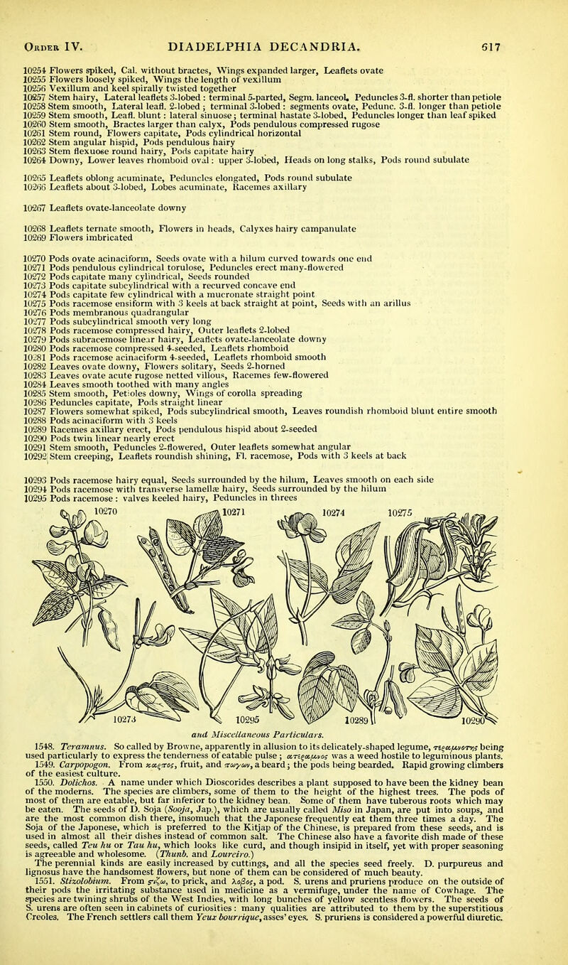 10254 Flowers spiked, Cal. without bractes, Wings expanded larger, Leaflets ovate 10255 Flowers loosely spiked, Wings the length of vexillum 10256 Vexillum and keel spirally twisted together 10257 Stem hairy, Lateral leaflets 3-lobed : terminal 5-parted, Segm. lanceoU Peduncles 3-fl. shorter than petiole 10258 Stem smooth, Lateral leafl. 2-lobed ; terminal 3-lobed : segments ovate, Pedunc. 3-fl. longer than petiole 10259 Stem smooth, Leafl. blunt: lateral sinuose; terminal hastate 3-lobed, Peduncles longer than leaf spiked 10260 Stem smooth, Bractes larger than calyx, Pods pendulous compressed rugose 10261 Stem round, Flowers capitate, Pods cylindrical horizontal 10262 Stem angular hispid, Pods pendulous hairy 10263 Stem flexuo«e round hairy, Pods capitate hairy 10264 Downy, Lower leaves rhomboid oval: upper 3-lobed, Heads on long stalks, Pods round subulate 10265 Leaflets oblong acuminate, Peduncles elongated, Pods round subulate 10266 Leaflets about 3-lobed, Lobes acuminate, Racemes axillary 10267 Leaflets ovate-lanceolate downy 10268 Leaflets ternate smooth, Flowers in heads, Calyxes hairy campanulate 10269 Flowers imbricated 10270 Pods ovate acinaciform, Seeds ovate with a hiluni curved towards one end 10271 Pods pendulous cylindrical torulose, Peduncles erect many-flowered 10272 Pods capitate many cylindrical, Seeds rounded 10273 Pods capitate subcylindrical with a recurved concave end 10274 Pods capitate few cylindrical with a mucronate straight point 10275 Pods racemose ensiform with 3 keels at back straight at point, Seeds witli an arillus 10276 Pods membranous quadrangular 10277 Pods subcylindrical smooth very long 10278 Pods racemose compressed hairy, Outer leaflets 2-lobed 10279 Pods subracemose linear hairy, Leaflets ovate-lanceolate downy 10280 Pods racemose compressed 4-seeded, Leaflets rhomboid 10281 Pods racemose acinaciform 4-seeded, Leaflets rhomboid smooth 10282 Leaves ovate downy, Flowers solitary, Seeds 2-horned 10283 Leaves ovate acute rugose netted villous, Racemes few-flowered 10284 Leaves smooth toothed with many angles 10285 Stem smooth, Petioles downy, Wings of corolla spreading 10286 Peduncles capitate, Pods straight linear 10287 Flowers somewhat spiked, Pods subcylindrical smooth, Leaves roundish rhomboid blunt entire smooth 10288 Pods acinaciform with 3 keels 10289 Racemes axillary erect, Pods pendulous hispid about 2-seeded 10290 Pods twin linear nearly erect 10291 Stem smooth, Peduncles 2-flowered, Outer leaflets somewhat angular 10292 Stem creeping, Leaflets roundish shining, Fl. racemose, Pods with 3 keels at back 10293 Pods racemose hairy equal, Seeds surrounded by the hilum, Leaves smooth on each side 10294 Pods racemose with transverse lamellae hairy, Seeds surrounded by the hilum 10295 Pods racemose : valves keeled hairy, Peduncles in threes and Miscellaneous Particulars. 1548. Teramnus. So called by Browne, apparently in allusion to its delicately-shaped legume, t^k^votji? being used particularly to express the tenderness of eatable pulse ; a.T^x./x.no; was a weed hostile to leguminous plants. 1549. Carpopogon. From ko^tos, fruit, and srayuv, a beard; the pods being bearded. Rapid growing climbers of the easiest culture. 1550. Dolichos. A name under which Dioscorides describes a plant supposed to have been the kidney bean of the moderns. The species are climbers, some of them to the height of the highest trees. The pods of most of them are eatable, but far inferior to the kidney bean. Some of them have tuberous roots which may be eaten. The seeds of D. Soja (Sooja, Jap ), which are usually called Miso in Japan, are put into soups, and are the most common dish there, insomuch that the Japonese frequently eat them three times a day. The Soja of the Japonese, which is preferred to the Kitjap of the Chinese, is prepared from these seeds, and is used in almost all their dishes instead of common salt. The Chinese also have a favorite dish made of these seeds, called Teu hu or Tau hu, which looks like curd, and though insipid in itself, yet with proper seasoning is agreeable and wholesome. {Thunb. and Loureiro.) The perennial kinds are easily increased by cuttings, and all the species seed freely. D. purpureus and lignosus have the handsomest flowers, but none of them can be considered of much beauty. 1551. StHolobium. From s-<?<, to prick, and Xo0o;, a pod. S. urens and pruriens produce on the outside of their pods the irritating substance used in medicine as a vermifuge, under the name of Cowhage. The species are twining shrubs of the West Indies, with long bunches of yellow scentless flowers. The seeds of S. urens are often seen in cabinets of curiosities: many qualities are attributed to them by the superstitious Creoles. The French settlers call them Yeux bourrique, asses' eyes. S. pruriens is considered a powerful diuretic.