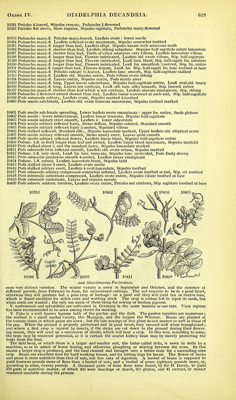 10381 Petioles 4-leaved, Stipules crenate, Peduncles 1-flowered 10382 Petioles flat above, Stem angular, Stipules sagittate, Peduncles many-flowered 10383 Peduncles many-fl. Petioles many-leaved, Leaflets ovate : lower sessile 10384 Peduncles many-fl. Leaflets reflexed ovate mucronate, Stipules somewhat toothed 10385 Peduncles many-fl. longer than leaf, Leaflets ellipt. Stipules lunate with setaceous teeth 10386 Peduncles many-fl. shorter than leaf, Leaflets oblong subpubesc. Stipules half sagittate entire lanceolate 10387 Peduncles many-fl. shorter than leaf, Teeth of calyx setaceous very villous, Leaflets lanceolate villous 10388 Peduncles many-fl. longer than leaf, Flowers imbricated, Leaflets obi. ovate villous, Stip. half-sagittate 10389 Peduncles many-fl. longer than leaf, Flowers imbricated, Leafl. lane, blunt, Stip. half-sagitt. lin. subulate 10390 Peduncles many-fl. longer than leaf, Flowers imbricated, Leafl. lin. smoothish 3-nerved, Stip. lin. entire 10391 Peduncles many-fl. longer than leaf, Flowers distant, Leafl. lin. Stip. half-sagitt. lin. lane, toothed at base 10392 Peduncles many-fl. Petioles suleate 12-leaved, Leaflets lane, smooth, Stip. half-sagittate stalked 10393 Peduncles many-fl. Leaflets obi. Stipules entire, Pods villous ovate oblong 10394 Peduncles many-fl. Leaves entire, Stipules entire, Pods nearly erect 10395 Peduncles many-fl. long, Upper leaves subcirrhous, Stipules half-sagittate entire, Leafl. oval-obl. hoary 10396 Peduncles many-fl. long, Leaves not cirrhous, Leafl. obi. lane, silky beneath, Stip. lanceol. entire 10397 Peduncles many-fl. shorter than leaf which is not cirrhous, Leaflets obovate emarginate, Stip. oblong 10398 Peduncles 2-flowered awned shorter than leaf, Leaflets linear narrowed at each end, Stip. half-sagittate 10399 Pods subsessile solitary, Leaflets ovate, Stipules marked 4-toothed 10400 Pods sessile sub-binate, Leaflets obL ovate truncate mucronate, Stipules toothed marked 10401 Pods sessile sub-binate spreading, Lower leaflets ovate emarginate : upper lin. entire, Seeds globose 10402 Pods sessile : lower subterranean, Leaflets linear truncate, Stipules half-sagittate 10403 Pods sessile solitary erect smooth, Leaflets 6: lower subcordate 10404 Pods sessile solitary reflexed hairy, Stems diffuse, Stipules colored, Standard smooth 10405 Pods sessile solitary reflexed hairy 5-seeded, Standard villous 10406 Pods stalked reflexed, Standard silky, Stipules lanceolate marked, Upper leaflets obi. elliptical acute 10407 Pods sessile solitary reflexed smooth, Stems nearly erect, Leaves quite smooth 10408 Pods sessile solitary reflexed downy, Leaflets linear blunt, Stipules half-sagittate entire 10409 Pedunc. 1-fl. in fruit longer than leaf and awned, Leaflets linear blunt mucronate, Stipules multifkl 10410 Pods stalked about 3, and the standard hairy, Stipules lanceolate marked 10411 Pods subsessile twin reflexed smooth, Leaflets obi. ovate retuse, Stipules marked 10412 Pedunc. 1-fl. very short, Leafl. lin. lane, truncate, Stipules lane, undivided, Pods finely downy 10413 Pods subsessile pendulous smooth 4-seeded, Leaflets linear emarginate 10414 Pedunc. 1-fl. awned, Leaflets lanceolate blunt, Stipules bifid 10415 Pods stalked about 4 erect, Leaflets ovate entire 10416 Pods stalked solitary erect, Leaflets 4 oval-lanceolate, Stipules toothed 10417 Pods subsessile solitary compressed somewhat inflated, Leaflets ovate toothed at end, Stip. cil. toothed 10418 Pods subsessile subternate compressed, Leaflets ovate entire, Stipules ciliate toothed at base 10419 Pods subsessile subternate, Leaves and stipules serrate 30420 Pods subsess. subtern. torulose, Leaflets ovate entire, Petioles not cirrhous, Stip. sagittate toothed at base and Miscellaneous Particulars. even very distinct varieties. The winter variety is sown in September and October, and the summer at different periods, from February to June, for successional cuttings. The soil requires to be in a good heart, otherwise they will produce but a poor crop of herbage: on a good soil they will yield ten or twelve tons, which is found excellent for milch cows and working stock. The crop is seldom left to ripen its seeds, but when seeds are wanted ; the only use made of them being for sowing or feeding pigeons. V. narbonensis and serratifolia are cultivated in Germany in the same manner as our tare. Vicia sepium has been recommended to be sown among clover for mowing. V. Faba is a well known legume both of the garden and the field. The garden varieties are numerous ; the earliest is a small seeded variety, the Mazagan, and the largest the Windsor. Beans are planted at the various times in which pease are sown ; but the late sowings of this plant do not answer so well as those of the pea. When the ground is properly pulverised and in good heart, they succeed well when transplanted ; and where a first crop is injured by insects, if the stems are cut down to the ground during their flower- ing season, they will send up a succession of shoots, which will bear a crop. In this way, according to some, the bean may be rendered perennial, as it is certain the scarlet kidney bean may by merely protecting the roots from the frost. The field bean, of which there is a larger and smaller sort, the latter called ticks, is sown in drills by a machine, so as to admit of horse hoeing, and otherwise ploughing or stirring between the rows. By this means a larger crop is produced, and the land cleaned and brought into a better state for a succeeding corn crop. Beans are excellent food for hard working horses, and for fatting hogs for bacon. The flower of beans and pease is more nutritive than that of oats, but less easy of digestion. A bushel of beans is supposed to yield fourteen pounds more of flour than a bushel of oats, and a bushel of pease eighteen pounds more, or, according to some, twenty pounds. A thousand parts of bean flour were found, by Sir H. Davey, to yield 570 parts of nutritive matter, of which 426 were mucilage or starch, 103 gluten, and 41 extract, or matter rendered insoluble during the process.