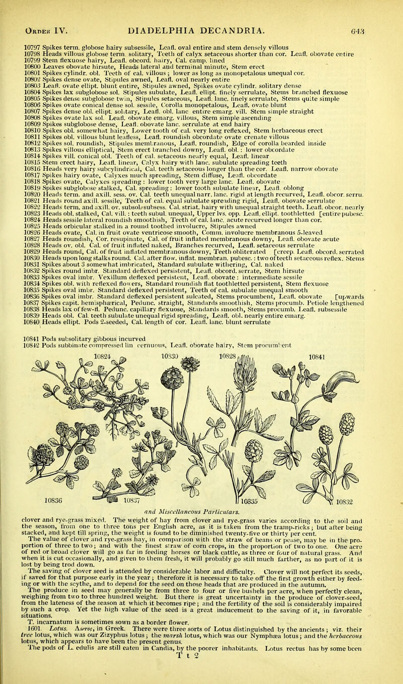 10797 Spikes term, globose hairy subsessile, Leafl. oval entire and stem densely villous 10798 Heads villous globose term solitary, Teeth of calyx setaceous shorter than cor. Leafl. quorate entire 107H9 Stem flexuose hairy, Leafl. obcord. hairy, CaL camp, lined 10600 Leaves obovate hirsute, Heads lateral and terminal minute, Stem erect 10801 Spikes cylindr. obi. Teeth of cal. villous ; lower as long as monopetalous unequal cor. 10802 Spikes dense ovate, Stipules awned, Leafl. oval nearly entire 10803 Leafl. ovate ellipt. blunt entire, Stipules awned, Spikes ovate cylindr. solitary dense 10804 Spikes lax subglobose sol. Stipules subulate, Leafl. ellipt. finely serrulate, Stems branched flexuose 10805 Spikes dense subglobose twin, Stipules setaceous, Leafl. lane, finely serrulate, Steins quite simple 10806 Spikes ovate conical dense sol. sessile, Corolla monopetalous, Leafl. ovate blunt 10807 Spikes dense obi. ellipt. solitary, Leafl. obi. lane entire emarg. vill. Stem simple straight 10808 Spikes ovate lax sol. Leafl. obovate emarg. villous, Stem simple ascending 10809 Spikes subglobose dense, Leafl. obovate lane, serrulate at end hairy 10810 Spikes obi. somewhat hairy, Lower tooth of cal. very long reflexed, Stem herbaceous erect 10811 Spikes obi. villous blunt leafless, Leafl. roundish obcordate ovate crenate villous 10812 Spikes sol. roundish, Stipules membranous, Leafl. roundish, Edge of corolla bearded inside 10813 Spikes villous elliptical, Stem erect branched downy, Leafl. obi.: lower obcordate 10814 Spikes vill. conical obi. Teeth of cal. setaceous nearly equal, Leafl. linear 10815 Stem erect hairy, Leaf!, linear, Calyx hairy with lane, subulate spreading teeth 10816 Heads very hairy subcylindrical, Cal. teeth setaceous longer than the cor. Leafl. narrow obovate 10817 Spikes hairy ovate. Calyxes much spreading, Stem diffuse, Leafl. obcordate 10818 Spikes ovate, Calyxes spreading : lower tooth very large lane. Leafl. obovate 10819 Spikes subglobose stalked, Cal. spreading: lower tooth subulate linear, Leafl. oblong 10820 Heads term, and axill. sess. ov. Cal. teeth unequal narr. lane, rigid at length recurved, Leafl. obcor. serru. 10821 Heads round axill. sessile, Teeth of cal. equal subulate spreading rigid, Leafl. obovate serrulate 10822 Heads term, and axill. ov. subsol. subsess. Cal. striat. hairy with unequal straight teeth. Leafl. obcor. nearly 10823 Heads obi. stalked, Cal. vill.: teeth subul. unequal, Upper lvs. opp. Leafl. ellipt. toothletted [entire pubesc. 10824 Heads sessile lateral roundish smoothish, Teeth of cal. lane, acute recurved longer than cor. 10825 Heads orbicular stalked in a round toothed involucre, Stipules awned 10S26 Heads ovate, Cal. in fruit ovate ventricose smooth, Comm. involucre membranous 5-Ieaved 10827 Heads roundish, Cor. resupinate, Cal. of fruit inflated membranous downy, Leafl. obovate acute 10<SL-'8 Heads ov. obi. Cal. of fruit inflated naked, Branches recurved, Leafl. setaceous serrulate 10829 Heads round, Cal. of fruit inflated membranous downy, Teeth obliterated [creep. Leafl. obcord. serrated 10S30 Heads upon long stalks round. Cal. after flow, inflat. membran. pubesc.: twoofteeth setaceous reflex. Stems 10831 Spikes about 3 somewhat imbricated, Standard subulate withering, Cal. naked 10832 Spikes round iinbr. Standard deflexed persistent, Leafl. obcord. serrate, Stem hirsute 10833 Spikes oval imbr. Vexillum deflexed persistent, Leafl. obovate: intermediate sessile 10834 Spikes obi. with reflexed flowers, Standard roundish flat toothletted persistent, Stem flexuose 10835 Spikes oval imbr. Standard deflexed persistent, Teeth of cal. subulate unequal smooth 10836 Spikes oval imbr. Standard deflexed persistent sulcated, Stems procumbent, Leafl. obovate [upwards 10837 Spikes capit. hemispha-rical, Pedunc. straight, Standards smoothish, Stems procumb. Petiole lengthened 10838 Heads lax of few-fl. Pedunc. capillary flexuose, Standards smooth, Stems procumb. Leafl. subsessile 10839 Heads obi. Cal. teeth subulate unequal rigid spreading, Leafl. obi. nearly entire emarg. 10840 Heads ellipt. Pods 2-seeded, Cal. length of cor. Leafl. lane, blunt serrulate 10841 Pods subsolitary gibbous incurved 10842 Pods subbinate compressed lin cernuous, Leafl. obovate hairy, Stem procumbent and Miscellaneous Particulars. clover and rye-grass mixed. The weight of hay from clover and rye-grass varies according to the soil and the season, from one to three tons per English acre, as it is taken from the tramp-ricks ; but after being stacked, and kept till spring, the weight is found to be diminished twenty-five or thirty per cent. The value of clover and rye-grass hay, in comparison with the straw of beans or pease, may be in the pro- portion of three to two; and with the finest slraw of corn crops, in the proportion of two to one. One acre of red or broad clover will go as far in feeding horses or black cattle, as three or four of natural grass. And when it is cut occasionally, and given to them fresh, it will probably go still much farther, as no part of it is lost by being trod down. The saving of clover seed is attended by considerable labor and difficulty. Clover will not perfect its seeds, if saved for that purpose early in the year; therefore it is necessary to take off the first growth either by feed- ing or with the scythe, and to depend for the seed on those heads that are produced in the autumn. The produce in seed may generally be from three to four or five bushels per acre, when perfectly clean, weighing from two to three hundred weight. But there is great uncertainty in the produce of clover-seed, from the lateness of the season at which it becomes ripe; and the fertility of the soil is considerably impaired by such a crop. Yet the high value of the seed is a great inducement to the saving of it, in favorable situations. T. incarnatum is sometimes sown as a border flower. 1601. Lotus. Aura;, in Greek. There were three sorts of Lotus distinguished by the ancients ; viz. their tree lotus, which was our Zizyphus lotus; the marsh lotus, which was our Nymphaea lotus; and the herbaceous lotus, which appears to have been the present genus. The pods of L. edulis are still eaten in Canriia, by the poorer inhabitants. Lotus rectus has by some been