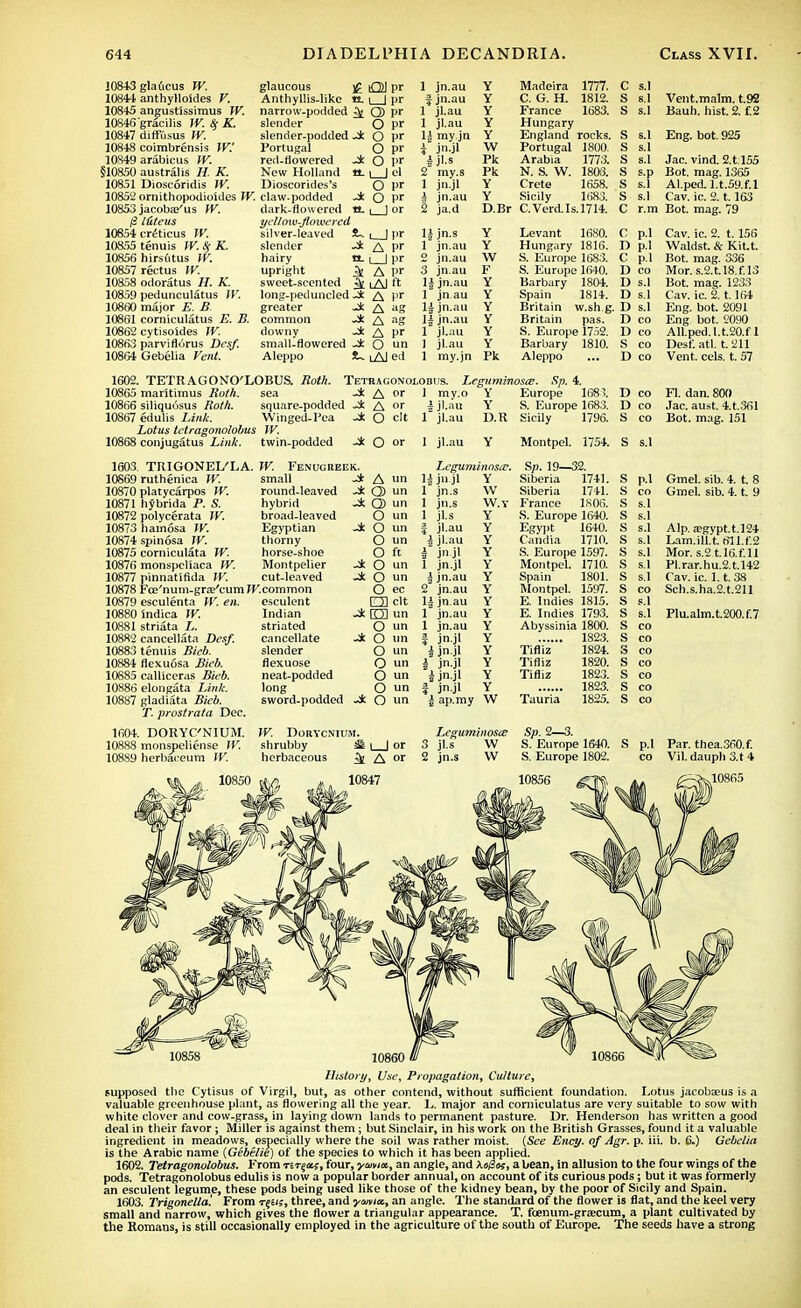 10843 gla6cus W. 10844 anthylloides V. 10845 angustissimus TV. 10846'gracilis TV. & K. 10847 diffusus TV. 10848 coimbrensis W.' 10849 arabicus TV. §10850 australis H. K. 10851 Dioscoridis TV. 10852 ornithopodioSdes TV. 10853 jacoba?'us TV. 12 liteus 10854 crocus TV. 108.55 tenuis TV.SfK. 10856 hirsutus TV. 10857 rectus TV. 10ar)8 odoratus H. K. 10859 pedunculatus TV. 10860 major E. B 10881 corniculatus E. B. 10862 cytisoides TV. 10863 parviflurus Dcsf. 10804 Gebelia Vent. glaucous £ Anthyllis-like e. narrow-podded ^ slender slender-podded Portugal red-flowered Jk New Holland a. Dioscorides's claw, podded Jk dark-flowered VL ycllmv-Jtowered silver-leaved S~ slender Jk hairy a. upright sweet-scented ^ long-peduncled *k greater -i: common Jk downy -k small-flowered Aleppo S~ OJ pr I—I pr Q> pr O pr O pr O pr O I- Ujel O pr O pr i J or i_Jpr A pr i_J pr A pr lAJ It A pr A ag A ag A pr O un lAled 1 jn.au fjn.au 1 jl.au I jl.au II my.jn 1 jn.jl ijl.s 2 my.s 1 jn.jl ' jn.au 2 ja.d 11 jn.s 1 jn.au 2 jn.au 3 jn.au 11 jn.au l jn au 11 jn.au 11 jn.au 1 jl.au 1 jl.au 1 my.jn Y Y Y Y Y \V Pk Pk Y Y Madeira 1777. C. G. H. 1812. France 1683. Hungary England rocks. Portugal 1800. Arabia 1773. N. S. W. 1803. Crete Sicily C s.l S s.l Vent.malm. t.92 S s.l Bauh. hist. 2. f.2 1658. 1683. D.Br C.Verd.Is.1714. Eng. bot. 925 s.l Jac. vind. 2.t:155 s.p Bot. mag. 1365 s.l Al.pcd. l.t.59.f.l s.l Cav. ic. 2.1.163 r.m Bot. mag. 79 Y Y W F Y Y Y Y Y Y Pk Levant 1680. Hungary 1816. S. Europe 1683. S. Europe 1640. Barbary 1804. Spain 1814. Britain w.sh.g. D s.l Britain pas. D co S. Europe 1752. D co Barbary 1810. S CO Aleppo ... D co C p.l D p.l C p.l D co D s.l D s.l 1602. TETRAGONO'LOBUS. Both. Tetraconolobiis. Legnminosce. Sp. 4. 10865 mantimus Both. sea ^k A 10866 siliquosus Both. square-podded i A »' 10867 edulis Link. Winged-Pea -* O clt Lotus tetragonolobus TV. 10868 conjugatus Link. twin-podded Jk O or 1603. THIGONEI/LA. TV. Fenugreek. 1 mv.o 1 jl.au 1 jl.au Y Europe 1681. Y S. Europe 1683. D.R Sicily 1796. D co D co S co 1 jl.au Y Montpel. 1754. S s.l 10869 ruthenica TV. 10870 platycarpos TV. 10871 hybrida P. S. 10872 polycerata TV. 10873 hamosa W. 10874 spinosa W. 10875 corniculata W. 10876 monspeliaca W. 10877 pinnatifida IV. small round-leaved hybrid broad-leaved Egyptian thorny horse-shoe Montpelier cut-leaved 10878 Fce'num-gra'cum W.common 10879 esculenta W. 10880 indica W. 10881 striata L. 10882 cancellata Dcsf. 10883 tenuis Bicb. 10884 flexuosa Bieb. 10885 calliccras Bicb. 10886 elongate Link. 10887 gladiata Bicb. T. prostrata Dec. 1604. DORYC'NIUM. 10888 monspeliense W. 10889 herbaceum IV. esculent Indian striated cancellate slender flexuose neat-podded long A un 11 jn.jl 1 jn.s Y iQun W -* Q) un 1 jn.s W.Y O un 1 jl.s Y Jk O un | jl.au 1 jl.au Y O un Y O ft 1 jnjl Y iOun 1 jn.jl Y i O un 1 jn.au Y O ec 2 jn.au Y O clt 11 jn.au Y Jc O un 1 jn.au Y O un 1 jn.au Y Jk O un 1 jnjl Y O un 1 jnjl Y O un i jn.jl Y O un 1 jn.jl Y O un f jn.jl Y Jk O un 1 ap.my W Sp. 19—32. Siberia 1741. Siberia 1741. France 1806. S. Europe 1640. Egypt 1640. Candia 1710. S. Europe 1597. Montpel. 1710. Spain 1801. Montpel. 1597. E. Indies 1815. E. Indies 1793. Abyssinia 1800. 1823. Tifliz Tifliz Tifliz Tauria 1824. 1820. 1823. 1823. 1825. W. Dorycnium. Lcguminoste shrubby ^ i | or 3 jl.s W herbaceous ^ A or 2 jn.s W Sp. 2—3. S. Europe 1640. S. Europe 1802. S p.l S co S s.l S s.l S s.l S s.l S s.l S s.l S s.l S co S s.l S s.l S co S co S co S co S co S co S co S p.l Cav. ic. 2. 1.156 Waldst. & Kitt. Bot. mag. 336 Mor. S.2.t.l8.f.l3 Bot. mag. 1233 Cav. ic. 2.1.164 Eng. bot. 2091 Eng bot. 2090 Aliped. l.t.20.f 1 Desf. atl. t. 211 Vent. eels. t. 57 Fl. dan. 80(1 Jac. aust. 4.t.361 Bot. mag. 151 Gmel. sib. 4. t. 8 Gmel. sib. 4. t. 9 Alp. aegypt.t.124 Lam.ill.t. rtll.f.2 Mor. s.2.tl6.f.ll Pl.rar.hu.2.t.l42 Cav. ic. 1.1. 38 Sch.s.ha.2.t.211 Plu.alm.t.200.f.7 Par. thea.360.f. Vil. dauph 3.t 4 10865 10858 10860 History, Use, Propagation, Culture, supposed the Cytisus of Virgil, but, as other contend, without sufficient foundation. Lotus jacoba;us is a valuable greenhouse plant, as flowering all the year. L. major and corniculatus are very suitable to sow with white clover and cow-grass, in laying down lands to permanent pasture. Dr. Henderson has written a good deal in their favor ; Miller is against them ; but Sinclair, in his work on the British Grasses, found it a valuable ingredient in meadows, especially where the soil was rather moist. (See Ency. of Agr. p. iii. b. 6.) Gebelia is the Arabic name (Gebetie) of the species to which it has been applied. 1602. Tetragonolobus. From T£Tg«;, four, ymia., an angle, and Xogoi, a bean, in allusion to the four wings of the pods. Tetragonolobus edulis is now a popular border annual, on account of its curious pods; but it was formerly an esculent legume, these pods being used like those of the kidney bean, by the poor of Sicily and Spain. 1603. Trigonella. From t;=«, three, and yania., an angle. The standard of the flower is flat, and the keel very small and narrow, which gives the flower a triangular appearance. T. fcenum-gr£ecum, a plant cultivated by the Romans, is still occasionally employed in the agriculture of the south of Europe. The seeds have a strong