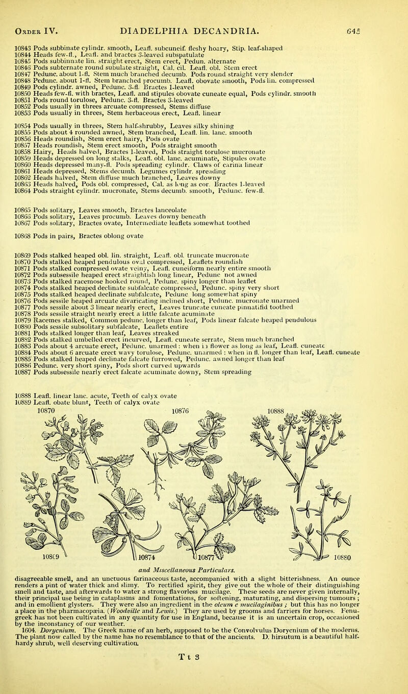 10843 Pods subbinate cylindr. smooth, Leafl. subcuneif. fleshy hoary, Stip. leaf-shaped 10844 Heads few-fl., Leafl. and bractes 3-leaved subspatulate 10845 Pods subbinnate lin. straight erect, Stem erect, Pedun. alternate 10846 Pods subternate round subulate straight, Cal. cil. Leafl. obi. Stem erect 10847 Pedunc. about 1-fl. Stem much branched decumb. Pods round straight very slender 10848 Pedunc. about 1-fl. Stem branched procumb. Leafl. obovate smooth, Pods lin. compressed 10849 Pods cylindr. awned, Pedunc. 3-fl. Bractes 1-leaved 10850 Heads few-fi. with bractes, Leafl. and stipules obovate cuneate equal, Pods cylindr. smooth 10851 Pods round torulose, Pedunc. 3-fl. Bractes 3-leaved 10852 Pods usually in threes arcuate compressed, Stems diffuse 10853 Pods usually in threes, Stem herbaceous erect, Leafl. linear 10854 Pods usually in threes, Stem half-shrubby, Leaves silky shining 10855 Pods about 4 rounded awned, Stem branched, Leafl. lin. lane, smooth 10856 Heads roundish, Stem erect hairy, Pods ovate 10857 Heads roundish, Stem erect smooth, Pods straight smooth 10858 Hairy, Heads halved, Bractes 1-leaved, Pods straight torulose mucronate 10859 Heads depressed on long stalks, Leafl. obi. lane, acuminate, Stipules ovate 10860 Heads depressed many-il. Pods spreading cylindr. Claws of carina linear 10861 Heads depressed. Stems decumb. Legumes cylindr. spreading 10862 Heads halved, Stem diffuse much branched, Leaves downy 10863 Heads halved, Pods obi. compressed, Cal. as long as cor. Bractes 1-leaved 10864 Pods straight cylindr. mucronate, Stems decumb. smooth, Pedunc. few-fl. 10865 Pods solitary, Leaves smooth, Bractes lanceolate 10866 Pods solitary, Leaves procumb. Leaves downy beneath 10867 Pods solitary, Bractes ovate, Intermediate leaflets somewhat toothed 10868 Pods in pairs, Bractes oblong ovate 10869 Pods stalked heaped obi. lin. straight, Leafl. obi. truncate mucronate 10870 Pods stalked heaped pendulous oval compressed, Leaflets roundish 10871 Pods stalked compressed ovate veiny, Leafl. cuneiform nearly entire smooth 10872 Pods subsessile heaped erect straightish long linear, Pedunc not awned 10873 Pods stalked racemose hooked round, Pedunc. spiny longer than leaflet 10874 Pods stalked heaped declinate subfalcate compressed, Pedunc. spiny very short 10875 Pods stalked heaped declinate subfalcate, Pedunc long somewhat spiny 10876 Pods sessile heaped arcuate divaricating inclined short, Pedunc. mucronate unarmed 10877 Pods sessile about 3 linear nearly erect, Leaves truncate cuneate pinnatifid toothed 10878 Pods sessile straight nearly erect a little falcate acuminate 10879 Racemes stalked, Common pedunc. longer than leaf, Pods linear falcate heaped pendulous 108S0 Pods sessile subsolitary subfalcate, Leaflets entire 10881 Pods stalked longer than leaf, Leaves streaked 108S2 Pods stalked umbelled erect incurved, Leafl. cuneate serrate, Stem much branched 10883 Pods about 4 arcuate erect, Pedunc. unarmed : when i] flower as long as leaf, Leafl. cuneate 10884 Pods about 6 arcuate erect wavy torulose, Pedunc. unarmed : when in 11. longer than leaf, Leafl. cuneate 10885 Pods stalked heaped declinate falcate furrowed, Pedunc. awned longer than leaf 10886 Pedunc. very short spiny, Pods short curved upwards 10887 Pods subsessile nearly erect falcate acuminate downy, Stem spreading 10888 Leafl. linear lane, acute, Teeth of calyx ovate 10889 Leafl. obate blunt, Teeth of calyx ovate and Miscellaneous Particulars. disagreeable smell, and an unctuous farinaceous taste, accompanied with a slight bitterishness. An ounce renders a pint of water thick and slimy. To rectified spirit, they give out the whole of their distinguishing smell and taste, and afterwards to water a strong flavorless mucilage. These seeds are never given internally, their principal use being in cataplasms and fomentations, for softening, maturating, and dispersing tumours ; and in emollient glysters. They were also an ingredient in the oleum e mucilaginibus ; but this has no longer a place in the pharmacopeia. (IVoodville and Lewis.) They are used by grooms and farriers for horses. Fenu- greek has not been cultivated in any quantity for use in England, because it is an uncertain crop, occasioned by the inconstancy of our weather. 1604. Dorycnium. The Greek name of an herb, supposed to be the Convolvulus Dorycnium of the moderns. The plant now called by the name has no resemblance to that of the ancients. D. hirsutum is a beautiful half, hardy shrub, well deserving cultivation.