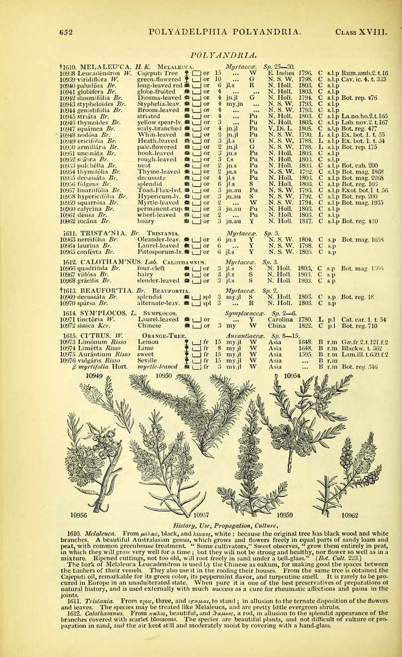 tl610. MELALEU'CA. 10938 Leucadendron W. 10939 viridiflura W. 109*) paludosa Br. 10941 globifera Br. 10942 diosmi folia Br. 10943 styphelo'ules Br. 10944 genistifulia _#/-. 10945 striata Br. 10946 thymoides .Br. 10947 squamea Br. 10948 nodosa Br. 10949 ericifolia .#/•. 10950 armillaris Br. 10951 uncmata i?)-. 10952 scabra Br. 10953 pulchella Br. 10954 thymifolia ifr. 10955 decussata Br. 10951) fidgens 5;-. 10957 linariifolia Br. 10958 hypericifolia Br. 10959 squarrosa /Jr. 1091)0 calyc'ma Br. 109fil densa 7?r. 10BC2 incana Br. H. K. Melalei Cajeputi Tree green-flowered long-leaved red globe-fruited Diosma-leaved Styphelia-leav. Broom-leaved striated yellow spear-lv. scaly-brancbed Whin-leaved Heath-leaved pale-flowered hook-leaved rough-leaved neat Thyme-leaved decussate splendid Toad-Flax-lvd. Hypericum-lv. Myrtle-leaved permanent-cup. whorl-leaved hoary POLYANDRI A. JCA. 1 CDor f t_Jor * i | or * 1_J or * I | or * I I or * I I or * I | or m u_| or i i I or 1611. TRISTA'NI A. Br. Tristania. 10963 nereifolia Br. Oleander-leav. * | | or 10964 laurlna Br. Laurel-leaved * | | or 10965 conferta Br. Pittosporuiri-lv.il | | or 1612. CALOTHAM'NUS. Lab. Calotiiamnits. 10966 quadrlftda Br. four-cleft « i_J or 10967 vill6sa Br. hairy «c \ | or 10968 gracilis Br. slender-leaved £2 i | or tl613. BEAUFOR'TIA. Br. Beaufortia. 10969 decussata Br. splendid m \ | spl 10970 sparsa Br. alternate-leav. a \ | spl 1614. SYM'PLOCOS. L. Symplocos. 10971 tinctoria IV. Laurel-leaved * i 1 or 10972 sinica Ker. Chinese « i | or Murtacece. Sp. 25—30. 15 W E. Indies 1796. 10 G N. S. W. 1798. 6 jl.s R N. Holl. 1803. 4 N. Holl. 1803. 4 inYl g N. Holl. 1794. 4 mv in y-j N. S. W. 1793. 4 N. S. W. 1793. 4 PiT N. Holl. 1R03. 3 Pu N. Holl. 1803. 4 jn.j.l Pu V. Di. L. 1805. 2 jnS Pu N. S. W. 1790. 3 G N. S. W. 1788. 2 G n. a w. 1788. 3 jn.s Pu N. Holl. 1803. 3 f.s Pu N. Holl. 1803. 2 jn.s Pu N. Holl. 1803. 2 jn.s Pu N. S. W. 1792. 4 jl.s Pu N. Holl. 1803. 6 Jl.s S N. Holl. 1803. 3 jn.au Pu N. S. W. 1793. 3 jn.au S N. S. W. 1792. Q W N S W 1794 g jn.au Pu N Holl 1803 o Pu N Holl 1803 3 jn.au Y N.' Holl! 1817! Myrtacete. Sp. 3. 6 jn.s Y N. S. W. 1804. Q Y N S W 1798 6 jls Y n! s! w! i8o.r>; Miirtacece. Sp. 3. Q jls S N. Holl. 3 jl.s s N. Holl. 1803. 3 jl.s s N. Holl. 1803. Myrtacets. Sp. 2. 3 my.jl s N. Holl. 1803. R N. Holl. 1803. Symplocace<e. Sp. 2—6. Y Carolina 1780. 3 my W China 1822. c c c c c c c c c c L L L C s.l C s.l C s.l C C s.l C s.l p Rum.amb.2.1.16 p Cav. ic. 4. t. 333 P P ,p Bot. rep. 176 P •P .p La.no.ho.2.U65 .p Lab. nov.2. t.167 ,p Bot. reg. 477 p Ex. bot. 1. t. 35 p Ex. bot. 1. t. 34 p Bot. rep. 175 ■P ■P l.p Bot. cab. 200 l.p Bot. mag. 1868 l.p Bot. mag. 2268 l.p Bot. reg. 103 l.p Exot. bot.l. t. 56 l.p Bot. rep. 200 .p Bot. mag. 1935 •P ■1> .p Bot. reg. 410 1615. CI'TRUS. W. 10973 Limonum Risso 10974 Limetta Bisso 10975 Aurantium Risso 10976 vulgaris Risso ,3 myrtifolia Hort. 10949 Orange-Tree. Lemon 1 Lime sweet Seville myrtle-leaved 10950 L_]fr l_l fr l_Jfr fr * i_j fr Aurantiacece. Sp. 8—15. 15 my.jl W Asia 1648. Asia 1648. 8 my.jl 15 my.jl 15 my.jl 3 my.jl C s.p Bot. mag. 1058 C s.p C s.p C s.p Bot. mag 1506 C s.p C s.p C s.p Bot. reg. 18 C s.p L p.l Cat. car. 1. 154 C p.l Bot. reg. 710 B r.m Gae.fr.2.t.l2l.f.2 B r.m Blackw. t. 362 B r.m Lam.ill. t.639.f.2 B r.m B r.m Bot. reg. 346 10962 History, Use, Propagation, Culture, 1610. Melaleuca. From /isAa?, black, and \ivz.o;, white: because the original tree has black wood and white branches. A beautiful Australasian genus, which grows and flowers freely in equal parts of sandy loam and peat, with common greenhouse treatment  Some cultivators, Sweet observes,  grow them entirely in peat, in which they will grow very well for a time; but they will not be strong and healthy, nor flower so well as in a mixture. Ripened cuttings, not too old, will root freely in sand under a bell-glass. (Bot. Cult. 223.) The bark of Melaleuca Leucadendron is used by the Chinese as oakum, for making good the spaces between the timbers of their vessels. They also use it in the roofing their houses. F'rom the same tree is obtained the Cajeputi oil, remarkable for its green color, its peppermint flavor, and turpentine smell. It is rarely to be pro- cured in Europe in an unadulterated state. When pure it is one of the best preservatives of preparations ot natural history, and is used externally with much success as a cure for rheumatic affections and pains in the joints. 1611. Tristania. From reus, three, and sftyfttici, to stand; in allusion to the ternate disposition of the flowers and 'leaves. The species may be treated like Melaleuca, and are pretty little evergreen shrubs. 1612. Calothamnus. From xttXo;, beautiful, and S-ol/mk, a rod, in allusion to the splendid appearance of the branches covered with scarlet blossoms. The species are beautiful plants, and not difficult of culture or pro- pagation in sand, and the air kent still and moderately moist by covering with a hand-glass.