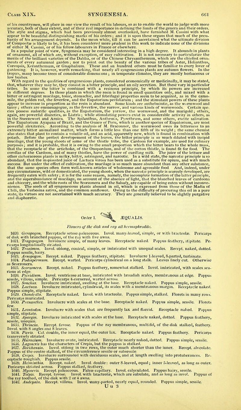 of his countrymen, will place in one view the result of his labours, so as to enable the world to judge with more accuracy, both of their extent, and of their real importance in defining the limits of the genera and their orders. The style and stigma, which had been previously almost overlooked, have furnished M. Cassini with what appear to be beautiful distinguishing marks of his orders; and it is upon these organs that much of the pecu- liarity of his arrangement depends. In the mean while, till it can be ascertained what the ultimate division of Composite is likely to be, it has been considered more prudent in this work to indicate none of the divisions of either M. Cassini, or of his fellow-labourers in France or elsewhere. In a popular point of view, Syngenesia may be considered interesting in a high degree. It abounds in plants of ornament, all of which are, without exception, of easy cultivation. It is not necessary to particularize the merits of the brilliant varieties of the Dahlia, or of the Chinese Chrysanthemum, which are the chiefest orna- ments of every autumnal garden ; nor to point out the beauty of the various tribes of Aster, Helianthus, Coreopsis, Xeranthemum, or Gnaphalium. These and an hundred others must be familiar to every lover of gardening. It is, however, worth remarking, that nearly all syngenesious plants are autumn flowers. In the tropics, many become trees of considerable dimensions ; in temperate climates, they are mostly herbaceous or low bushes. With regard to the qualities of syngenesious plants, considered economically or medicinally, it may be stated, that, whatever they may be, they consist in a bitter principle, and an oily secretion. But these vary in particular tribes. In some the bitter is combined with a resinous principle, by which its powers are increased in different degrees. In those plants in which the resin is found in small quantities only, and mixed with a bitter or astringent mucilage, tonic, stomachic, and febrifugal properties seem to be acquired, as in the camo- mile, the golden rod, the feverfew, and the Eupatorium perfoliatum ; and the stimulant powers of these plants appear to increase in proportion as the resin is abundant. Some kinds are anthelmintic, as the wormwood and tansy ; others are emmenagogue, as the feverfew, the yarrow, and various kinds of wormwoods. Certain spe- cies possess sudorific qualities, as the Eupatorium, the yarrow, the wormwood, and the marigold; others, again, are powerful diuretics, as Liatris; while stimulating powers exist in considerable activity in others, as in the Sneezewort and Arnica. The Spilanthus, Anthemis, Pyrethrum, and some others, excite salivation. The Eupatorium Ayapana of Brazil, and the Guaco of Peru, which is another species of Eupatorium, are most powerful alexiterics. According to the analysis of M. Braconnot, the wormwood owes its bitterness to an extremely bitter animalized matter, which forms a little less than one fifth of its weight; the same chemist also states that plant to contain a volatile oil, and an acid, apparently new, which is found in combination with potash. Before the perfect developement of the leaves, the bitter principle is so much diluted with insipid mucilage, that the young shoots of some of the thistle tribe, the Cardoon for example, are used for culinary purposes ; and it is probable, that it is owing to the small proportion which the bitter bears to the whole mass, that the receptacle of the artichoke, of the Onopordum, and of the cotton thistle, is found fit for food. The corollas of the Cardoon, and of many thistles, have the power of curdling milk. The juice of the lettuce and other cichoraceous plants is milky, bitter, astringent, and narcotic. In a wild state, the narcotic principle is so abundant, that the inspissated juice of Lactuca virosa has been used as a substitute for opium, and with much success. But under the effect of cultivation, the mucilage is so much more abundant than any other substance, that the same species often form well-known articles of wholesome and agreeable food. And, indeed, under any circumstances, wild or domesticated, the young shoots, when the narcotic principle is scarcely developed, are frequently eaten with safety ; it is for the same reason, namely, the incomplete formation of the bitter principle, and the superabundance of mucilage, on account of the absence of light, that the blanched leaves of cardoons and chiccory, and the white roots of the Scorzonera and the Salsafy, are capable of being eaten without inconve- nience. The seeds of all syngenesious plants abound in oil, which is expressed from those of the Madia of Chili, the Verbesina sativa, and the common sunflower. Owing to the difficulty of procuring this oil in a pure state, its virtues are not ascertained with much accuracy. They are generally believed to be slightly purgative and diaphoretic. Order 1. JEQUALIS. Flowers of the disk and ray all hermaphrodite. 1620. Geropogon. Receptacle setose-paleaceous. Invol. many-leaved, simple, or with bractcola?. Pericarps of disk with branched pappus, of the ray with rive awns. lb°2I. Tragopogon. Involucre simple, of many leaves. Receptacle naked. Pappus feathery, stipitate. Pe- ricarps longitudinally striated. 1622. Troximon. Invol. oblong, conical, simple, or imbricated with unequal scales. Recept. naked, dotted. Pappus sessile, hairy. 1623. Amopogon. Kecept. naked. Pappus feathery, stipitate. Involucre 1-leaved, 8-parted, turbinate. 1624. Poduspermum. Recept. warted. Pericarps cylindrical on a long stalk. Leaves finely cut. Otherwise as Scorzonera. 1625. Scorzonera. Recept. naked. Pappus feathery, somewhat stalked. Invol. imbricated, with scales sca- rious at edge. 1626. Picridium. Invol. ventricose at base, imbricated with broadish scales, membranous at edge. Pappus sessile, villous, simple. Pericarps 4-cornered, warted across. 1627. Snnchus. Involucre imbricated, swelling at the base. Receptacle naked. Pappus simple, sessile. 1628. Lactuca. Involucre imbricated, cylindrical, its scales with a membranous margin. Receptacle naked. Pappus simple, stipitate. 1629. Chondrilla. Receptacle naked. Invol. with bracteola?. Pappus simple, stalked. Florets in many rows. Pericarps muricated. 1630. Prenanthes. Involucre with scales at the base. Receptacle naked. Pappus simple, sessile. Florets few. 1631. Leontodon. Involucre with scales that are frequently lax and flaccid. Receptacle naked. Pappus simple, stipitate. 1632. Apargia. Involucre imbricated with scales at the base. Receptacle naked, dotted. Pappus feathery, sessile, unequal. 1633. Thrincia. Recept. favose. Pappus of the ray membranous, multifid, of the disk stalked, feathery. Invol. with 8 angles and 8 leaves. 1634. Picris. Cal. double, the inner equal, the outer lax. Receptacle naked. Pappus feathery. Pericarps transversely striated. 1635. Hieracium. Involucre ovate, imbricated. Receptacle nearly naked, dotted. Pappus simple, sessile. 1636. Lagoseris has the characters of Crepis, but the pappus is stalked. 1637. Borkhavsia. Invol. oblong in two rows, the outer much shorter than the inner. Recept. alveolate. Pappus of the centre stalked, of the circumference sessile or subsessiie. 1638. Crepis. Involucre surrounded with deciduous scales, and at length swelling into protuberances. Re- ceptacle roughish. Pappus sessile. 1639. Hclminthia. Recept. naked. Invol. double: outer 8.leaved, equal; inner 5-leaved, as long as outer. Pericarps striated across. Pappus stalked, feathery. 1640. Myoseris. Recept. paleaceous. Paleas capillary. Invol. calyculated. Pappus hairy, sessile. 1641. To/pis. Recept. favose. Invol. with bracteola?, which are subulate, and as long as invol. Pappus of the ray toothed, of the disk with 2 or 4 awns. 1642. Andryata. Recept. villous. Invol. aiany-parted, nearly equal, rounded. Pappus simple, sessile. Ull 3