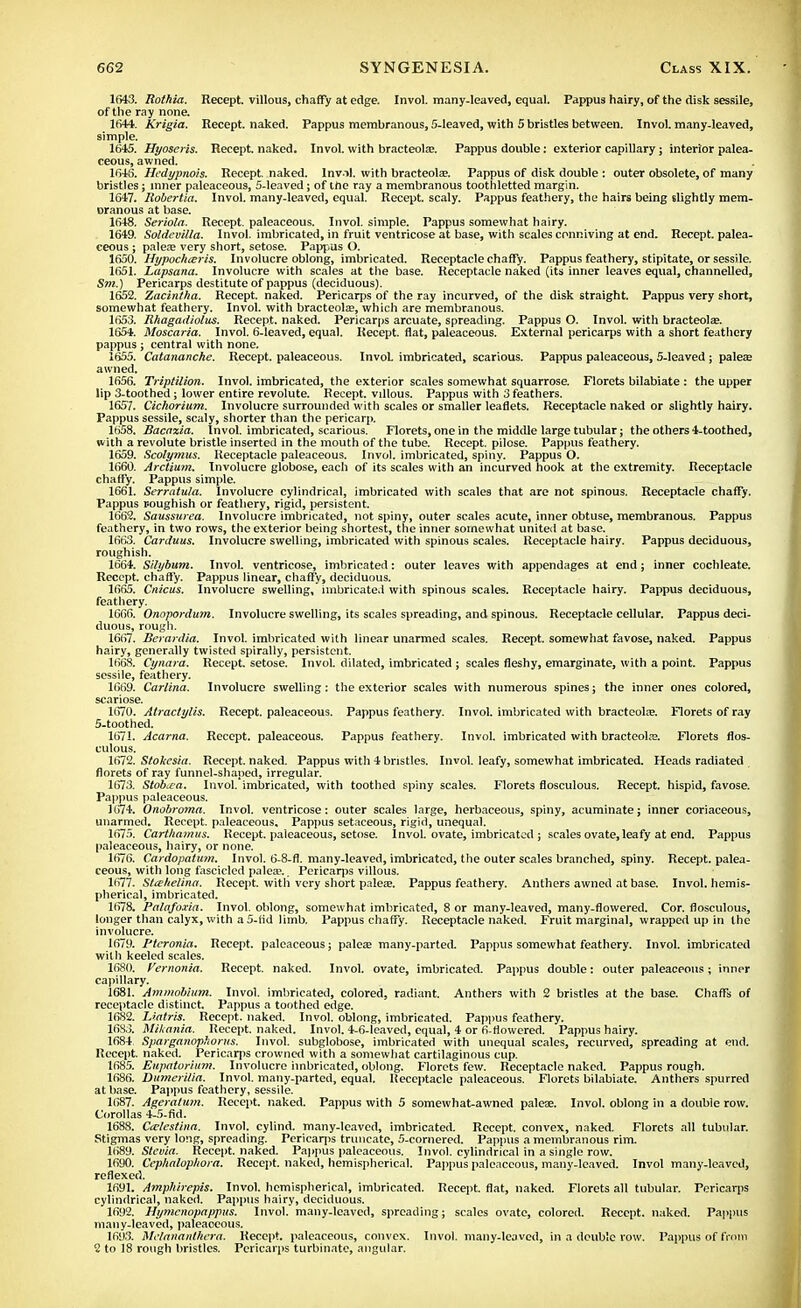 1643. Rothia. Recept. villous, chaffy at edge. Invol. many-leaved, equal. Pappus hairy, of the disk sessile, of the ray none. Ifi44. Krigia. Recept. naked. Pappus membranous, 5-leaved, with 5 bristles between. Invol. many-leaved, simple. 1645. Hyoseris. Recept. naked. Invol. with bracteola;. Pappus double: exterior capillary; interior palea- ceous, awned. 1646. Hedypnois. Recept. naked. Invol. with bracteola;. Pappus of disk double : outer obsolete, of many bristles; inner paleaceous, 5-leaved; of tile ray a membranous toothletted margin. 1647. Robertia. Invol. many-leaved, equal. Recept. scaly. Pappus feathery, the hairs being slightly mem- oranous at base. 1648. Seriola. Recept. paleaceous. Invol. simple. Pappus somewhat hairy. 1649. Soldevilla. Invol. imbricated, in fruit ventricose at base, with scales conniving at end. Recept. palea- ceous ; palea; very short, setose. Pappus O. 1650. Hypochceris. Involucre oblong, imbricated. Receptacle chaffy. Pappus feathery, stipitate, or sessile. 1651. Lapsana. Involucre with scales at tiie base. Receptacle naked (its inner leaves equal, channelled, Sm.) Pericarps destitute of pappus (deciduous). 1652. Zacintha. Recept. naked. Pericarps of the ray incurved, of the disk straight. Pappus very short, somewhat feathery. Invol. with bracteola;, which are membranous. 1653. Rhagadiolus. Recept. naked. Pericarps arcuate, spreading. Pappus O. Invol. with bracteola;. 1654. Moscaria. Invol. 6-leaved, equal. Recept. flat, paleaceous. External pericarps with a short feathery pappus ; central with none. 1655. Catananchc. Recept. paleaceous. Invol. imbricated, scarious. Pappus paleaceous, 5-leaved ; palea; awned. 1656. Triptilion. Invol. imbricated, the exterior scales somewhat squarrose. Florets bilabiate : the upper lip 3-toothed; lower entire revolute. Recept. villous. Pappus with 3 feathers. 1657. Cichorium. Involucre surrounded with scales or smaller leaflets. Receptacle naked or slightly hairy. Pappus sessile, scaly, shorter than the pericarp. 1658. Racazia. Invol. imbricated, scarious. Florets, one in the middle large tubular; the others 4-toothed, with a revolute bristle inserted in the mouth of the tube. Recept. pilose. Pappus feathery. 1659. Scolymus. Receptacle paleaceous. Invol. imbricated, spiny. Pappus O. 1660. Arctium. Involucre globose, each of its scales with an incurved hook at the extremity. Receptacle chaffy. Pappus simple. 1661. Serrntula. Involucre cylindrical, imbricated with scales that are not spinous. Receptacle chaffy. Pappus r-oughish or feathery, rigid, persistent. 1662. Saussurea. Involucre imbricated, not spiny, outer scales acute, inner obtuse, membranous. Pappus feathery, in two rows, the exterior being shortest, the inner somewhat united at base. 1663. Carduus. Involucre swelling, imbricated with spinous scales. Receptacle hairy. Pappus deciduous, roughish. 1664. Silybum. Invol. ventricose, imbricated: outer leaves with appendages at end; inner cochleate. Recept. chaffy. Pappus linear, chaffy, deciduous. 1665. Cnicus. Involucre swelling, imbricated with spinous scales. Receptacle hairy. Pappus deciduous, feathery. 1666. Onapordum. Involucre swelling, its scales spreading, and spinous. Receptacle cellular. Pappus deci- duous, rough. 1667. Rerardia. Invol. imbricated with linear unarmed scales. Recept. somewhat favose, naked. Pappus hairy, generally twisted spirally, persistent. 1668. Cynara. Recept. setose. Invol. dilated, imbricated ; scales fleshy, emarginate, with a point. Pappus sessile, feathery. 1669. Carlina. Involucre swelling : the exterior scales with numerous spines; the inner ones colored, scariose. 1670. Atractylis. Recept. paleaceous. Pappus feathery. Invol. imbricated with bracteola;. Florets of ray 5-toothed. 1671. Acarna. Recept. paleaceous. Pappus feathery. Invol. imbricated with bracteola;. Florets flos- culous. 1672. Stokesia. Recept. naked. Pappus with 4 bristles. Invol. leafy, somewhat imbricated. Heads radiated florets of ray funnel-shaped, irregular. 1673. Stobda. Invol. imbricated, with toothed spiny scales. Florets flosculous. Recept. hispid, favose. Pappus paleaceous. 1674. Onobroma. Invol. ventricose: outer scales large, herbaceous, spiny, acuminate; inner coriaceous, unarmed. Recept. paleaceous. Pappus setaceous, rigid, unequal. 1675. Carthamus. Recept. paleaceous, setose. Invol. ovate, imbricated ; scales ovate, leafy at end. Pappus paleaceous, hairy, or none. 1676. Cardopatum. Invol. 6-8-fl. many-leaved, imbricated, the outer scales branched, spiny. Recept. palea- ceous, with long fascicled palea?. Pericarps villous. 1677. Stcehelina. Recept. witii very short palea;. Pappus feathery. Anthers awned at base. Invol. hemis- pherical, imbricated. 1678. Palafoxia. Invol. oblong, somewhat imbricated, 8 or many-leaved, many-flowered. Cor. flosculous, longer than calyx, with a 5-fid limb. Pappus chaffy. Receptacle naked. Fruit marginal, wrapped up in the involucre. 1679. Ptcronia. Recept. paleaceous; palea; many-parted. Pappus somewhat feathery. Invol. imbricated wilh keeled scales. 1680. Vernonia. Recept. naked. Invol. ovate, imbricated. Pappus double: outer paleaceous; inner capillary. 1681. AmmoUum. Invol. imbricated, colored, radiant. Anthers with 2 bristles at the base. Chaffs of receptacle distinct. Pappus a toothed edge. 1682. Lintris. Recept. naked. Invol. oblong, imbricated. Pappus feathery. 1683. Mikania. Recept. naked. Invol. 4-6-leaved, equal, 4 or 6-rlowered. Pappus hairy. 1684 Sparganophorus. Invol. subglobose, imbricated with unequal scales, recurved, spreading at end. Recept. naked. Pericarps crowned with a somewhat cartilaginous cup. 1685. Eupatorium. Involucre imbricated, oblong. Florets few. Receptacle naked. Pappus rough. 1686. Dumerilia. Invol. many-parted, equal. Receptacle paleaceous. Florets bilabiate. Anthers spurred at base. Pappus feathery, sessile. 1687. Ageratum. Recept. naked. Pappus with 5 somewhat-awned palese. Invol. oblong in a double row. Corollas 4-5-fid. 1688. Calestinn. Invol. cylind. many-leaved, imbricated. Recept. convex, naked. Florets all tubular. Stigmas very long, spreading. Pericarps truncate, 5-cornered. Pappus a membranous rim. 1689. Stevia. Recept. naked. Pappus paleaceous. Invol. cylindrical in a single row. 1690. Cephalophora. Recept. naked, hemispherical. Pappus paleaceous, many-leaved. Invol many-leaved, reflexed. 1691. Amphirepis. Invol. hemispherical, imbricated. Recept. flat, naked. Florets all tubular. Pericarps cylindrical, naked. Pappus hairy, deciduous. 1692. Hymcnopappus. Invol. many-leaved, spreading; scales ovate, colored. Recept. naked. Pappus many-leaved, paleaceous. 1693. Melananlhera. Recept. paleaceous, convex. Invol. many-leaved, in a double row. Pappus of from 2 to 18 rough bristles. Pericarps turbinate, angular.