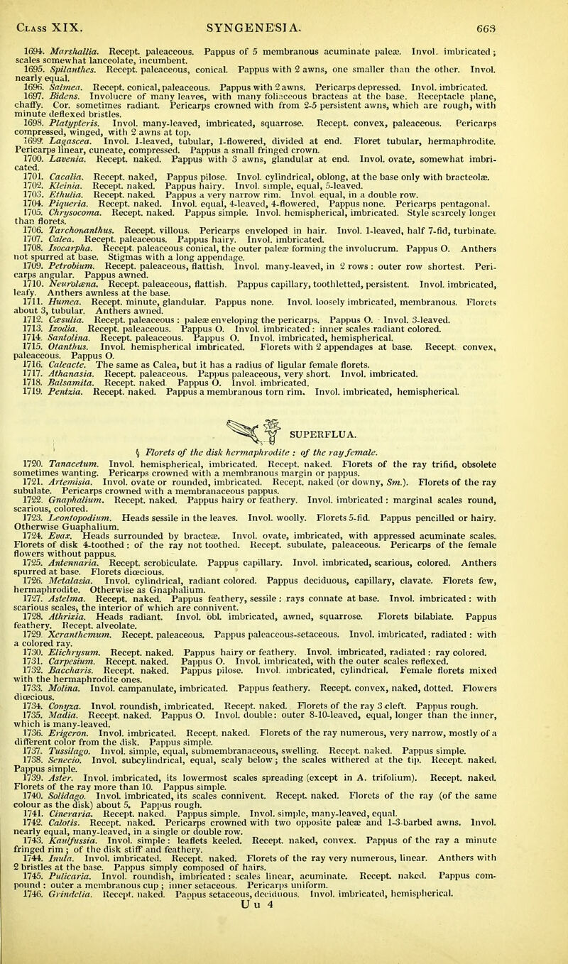 1694. Marshallia. Recept. paleaceous. Pappus of 5 membranous acuminate palea?. Invol. imbricated; scales somewhat lanceolate, incumbent. 1695. Spilanthes. Recept. paleaceous, conical. Pappus with 2 awns, one smaller than the other. Invol. nearly equal. 1696. Salmea. Recept. conical, paleaceous. Pappus with 2 awns. Pericarps depressed. Invol. imbricated. 1697. Bidens. Involucre of many leaves, with many folb.ceous bracteas at the base. Receptacle plane, chaffy. Cor. sometimes radiant. Pericarps crowned with from 2-5 persistent awns, which are rough, with minute deflexed bristles. 1698. Platypteris. Invol. many-leaved, imbricated, squarrose. Recept. convex, paleaceous. Pericarps compressed, winged, with 2 awns at top. 1699. Lagascea. Invol. 1-leaved, tubular, 1-flowered, divided at end. Floret tubular, hermaphrodite. Pericarps linear, cuneate, compressed. Pappus a small fringed crown. 1700. Lavcnia. Recept. naked. Pappus with 3 awns, glandular at end. Invol. ovate, somewhat imbri- cated. 1701. Cacalia. Recept. naked, Pappus pilose. Invol. cylindrical, oblong, at the base only with bracteola?. 1702. Kleinia. Recept. naked. Pappus hairy. Invol. simple, equal, 5-leaved. 1703. Ethulia. Recept. naked. Pappus a very narrow rim. Invol. equal, in a double row. 1701. Piqueria. Recept. naked. Invol. equal, 4-leaved, 4-flowered, Pappus none. Pericarps pentagonal. 1705. Chrysocoma. Recept. naked. Pappus simple. Invol. hemispherical, imbricated. Style scarcely longei than florets. 1706. Tarchoruinthus. Recept. villous, Pericarps enveloped in hair. Invol. 1-leaved, half 7-fid, turbinate. 1707. Galea. Recept. paleaceous. Pappus hairy. Invol. imbricated. 1708. Isocarpha. Recept. paleaceous conical, the outer palea? forming the involucrum. Pappus O. Anthers not spurred at base. Stigmas with a long appendage. 1709. Petrobium. Recept. paleaceous, flattish. Invol. many-leaved, in 2 rows : outer row shortest. Peri- carps angular. Pappus awned. 1710. Nev.rOlcena. Recept. paleaceous, flattish. Pappus capillary, toothletted, persistent. Invol. imbricated, leafy. Anthers awnless at the base. 1711. Humea. Recept. minute, glandular. Pappus none. Invol. loosely imbricated, membranous. Florets about 3, tubular. Anthers awned. 1712. Cissulia. Recept. paleaceous : palese enveloping the pericarps. Pappus O. Invol. 3-leaved. 1713. Ixodia. Recept. paleaceous. Pappus O. Invol. imbricated: inner scales radiant colored. 1714. Santolina. Recept. paleaceous. Pappus O. Invol. imbricated, hemispherical. 1715. Otanthus. Invol. hemispherical imbricated. Florets with 2 appendages at base. Recept. convex, paleaceous. Pappus O. 1716. Caleacte. The same as Galea, but it has a radius of ligular female florets. 1717. Athanasia. Recept. paleaceous. Pappus paleaceous, very short. Invol. imbricated. 1718. Balsamita. Recept. naked Pappus O. Invol. imbricated. 1719. Pentzia. Recept. naked. Pappus a membranous torn rim. Invol. imbricated, hemispherical. SUPERFLUA. § Florets of the disk hermaphrodite : of the ray female. 1720. Tanacetum. Invol. hemispherical, imbricated. Recept. naked. Florets of the ray trifid, obsolete sometimes wanting. Pericarps crowned with a membranous margin or pappus. 1721. Artemisia. Invol. ovate or rounded, imbricated. Recept. naked (or downy, Sm.). Florets of the ray subulate. Pericarps crowned with a membranaceous pappus. 1722. Gnaphalium. Recept. naked. Pappus hairy or feathery. Invol. imbricated : marginal scales round, scarious, colored. 1723. Leontopodium. Heads sessile in the leaves. Invol. woolly. Florets 5-fid. Pappus pencilled or hairy. Otherwise Guaphalium. 1724. Evax. Heads surrounded by bractea?. Invol. ovate, imbricated, with appressed acuminate scales. Florets of disk 4-toothed : of the ray not toothed. Recept. subulate, paleaceous. Pericarps of the female flowers without pappus. 1725. Antennaria. Recept. scrobiculate. Pappus capillary. Invol. imbricated, scarious, colored. Anthers spurred at base. Florets dioecious. 1726. Metalasia. Invol. cylindrical, radiant colored. Pappus deciduous, capillary, clavate. Florets few, hermaphrodite. Otherwise as Gnaphalium. 1727. Astelma. Recept. naked. Pappus feathery, sessile: rays connate at base. Invol. imbricated : with scarious scales, the interior of which are connivent. 1728. Athrixia. Heads radiant. Invol. obi. imbricated, awned, squarrose. Florets bilabiate. Pappus feathery. Recept. alveolate. 1729. Xeranthemum. Recept. paleaceous. Pappus paleaceous-setaceous. Invol. imbricated, radiated : with a colored ray. 1730. Elichrysum. Recept. naked. Pappus hairy or feathery. Invol. imbricated, radiated : ray colored. 1731. Carpesium. Recept. naked. Pappus O. Invol. imbricated, with the outer scales reflexed. 1732. Baccharis. Recept. naked. Pappus pilose. Invol. imbricated, cylindrical. Female florets mixed with the hermaphrodite ones. 1733. Molina. Invol. campanulate, imbricated. Pappus feathery. Recept. convex, naked, dotted. Flowers dioecious. 1734. Conyza. Invol. roundish, imbricated. Recept. naked. Florets of the ray 3 cleft. Pappus rough. 1735. Madia. Recept. naked. Pappus O. Invol. double: outer 8-10-leaved, equal, longer than the inner, which is many-leaved. 1736. Erigeron. Invol. imbricated. Recept. naked. Florets of the ray numerous, very narrow, mostly of a different color from the disk. Pappus simple. 1737. Tussilago. Invol. simple, equal, submembranaceous, swelling. Recept. naked. Pappus simple. 1738. Senecio. Invol. subcylindrical, equal, scaly below; the scales withered at the tip. Recept. naked. Pappus simple. 1739. Aster. Invol. imbricated, its lowermost scales spreading (except in A. trifolium). Recept. naked. Florets of the ray more than 10. Pappus simple. 1740. Sotidago. Invol. imbricated, its scales connivent. Recept naked. Florets of the ray (of the same colour as the disk) about 5. Pappus rough. 1741. Cineraria. Recept. naked. Pappus simple. Invol. simple, many-leaved, equal. 1742. Calotis. Recept. naked. Pericarps crowned with two opposite palea; and 1-3-barbed awns. Invol. nearly equal, many-leaved, in a single or double row. 1743. Kanlfussia. InvoL simple: leaflets keeled. Recept. naked, convex. Pappus of the ray a minute fringed rim ; of the disk stiff and feathery. 1744. Inula. Invol. imbricated. Recept. naked. Florets of the ray very numerous, linear. Anthers with 2 bristles at the base. Pappus simply composed of hairs. 1745. Pulicaria. Invol. roundish, imbricated: scales linear, acuminate. Recept naked. Pappus com- pound : outer a membranous cup ; inner setaceous. Pericarps uniform. 1746. Grindclia. Recept. naked. Paopus setaceous, deciduous. Invol. imbricated, hemispherical.