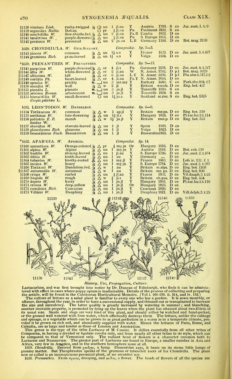 11138 viminea Link. 11139 segusiana Balbis. 11140 sonchifolia W. 11141 tenerrima W. , 11142 perennis W. rushy-twigged ^ Q) un 1 jl.au Italian O P> $ jl.au Sow-thistle-lvd.^ A un 2 j'-au purple-flowered^ A un fjl.au perennial ^ A un 2 jn.au Y Austria 1789. S co Pu Piedmont 1822. S CO Pa. 15 Candia 1822. D co Pu S. Europe 1815. D co L.B Germany 1596. D co 1629. CHONDIIII/LA. W. Gum-Succorv. Composite. Sp.2—5. 11143 juncea IV. common i A ™ 1$ s.o Y France 1633. D co 11144 grammea Bicb. grass-leaved 4A«ii 1J s.o Y Volga 1824. Deo *1630. 11145 §11146 §11147 §11148 §11149 11150 §11151 §11152 11153 PRENAN'THES. purpurea IV. alba W. altissima W. cordata Ph. spinosa W. muralis W. pinn£ta L. arborea Brouss. hieracifulia W. Cre.pis p&lchra L. IV. Prenanthes. purple-flowered^ A or white-flowered A or tall heart-leaved prickly wall pinnate arborescent small-flowered i A or & A or «- I un i A w n. i I un a. i | un O un Composite-. 4 jl.s 2 jl.au 6 ji.au 4 jl.au 3 mr.my Y Y Y Y Y Sp. 9—13. Pu Germany 1658. W N. Amer. 1762. L.Y N. Amer. 1696. Pa.Y N. Amer. 1816. 2 jl 3 jn.jl 3 jn.jl 1| jn.s Barbary 1640. Britain woods. Teneriffe 1820. Teneriffe 1824. Scotland sc.roc, D co D p.l D p.l D co C co D co S co S co S co 1631. LEON'TODON. W. Dandelion. 11154 Taraxacum W. 11155 ser6tinus W. 11156 palustris E. B. lividus W. 11157 obovatus W. 11158 glaucescens Bieb. 11159 bessarabicus Fisch. *1632. APAR'GI A. W. 11160 aurantiaca W. 11161 alp'ma W. 11162 hastilis W. 11163 dubia W. 11164 tuberosa IV. 11165 incana W. 11166 Taraxaci W. §11167 autumnafis W. 11168 crispa W. 11169 hispida W. 11170 aspera W. 11171 crocea W. 11172 caucasica Bieb. 11173 Villarsi IV. 11150 common ^£ A w 1 apjl Y late-flowering 3j A un H jl.s Y marsh 3t A w H jn.jl Y obovate-leaved ^ A un l jl Y glaucous 3e A un i Jl Y Bcssarabian i A m l jl Y ApARGIA. Compositis. Orange-colored ?u A l>r j my.jn Or Alpine 3e A un l my.jn Y shining-leaved ^ A un l jl.au Y tooth-leaved 3t A un l au Y knotty-rooted A A un l my.jl Y hoary A un l my.jn Y Dandelion-lvd. 3( A w l au Y autumnal & A w i au Y curled i A i«i i jl.au Y rough & A w jLs Y hairy ^ A un 1 jn.jl Y deep-yellow & A un 1 jn.jl Or Caucasian Si A un 1 jn.jl Y Dauphiny 4 A un I jn.jl Y S 11142 m Composites. Sp. 6—9. Britain me.pa. D co Hungary 1816. D co Britain moi.p. D co Spain 1805. D co Volga 1823. D co Bessarabial821. D co Sp. 14. Hungary 1816. Austria 1816. S. Europe 1796. Germany ... France 1683. S. Europe 1784. Britain scalps. Britain me. pa. France 1803. Britain ch.pas. Hungary 1805. Hungary 1823. Caucasus 1820. Dauphiny 1821. D co D co D co D co D co D co D co D co D co D co D co D co D co D co Jac. aust. 1. t. 9 Bot. mag. 2130 Jac. aust. 5. t.427 Jac. aust. 4. t.317 Bot. mag. 1079 Plu.alm.t.317.f.2 Park.the.S04. f.7 Eng. bot. 457 Eng. bot. 2325 Eng. bot. 510 Pl.rar.hu.2.t.ll4 Eng. bot. 553 Bot. cab. 539 Jac. aust. 2. t.164 Lob. ic. 232. f. 1 Jac. aust.3. t.287 Eng. bot. 1109 Eng. bot. 830 Vil.dauph.3. t.25 Eng. bot. 554 Pl.rar.hu.2.t.ll0 Vill.delph.3. t.25 11153 11138 History, Use, Propagation, Culture. Lactucarium, and was first brought into notice by Dr. Duncan of Edinburgh, who finds it can be adminis- tered with effect in cases where poppy opium is inadmissible. Details of the process of collecting and preparing the article, will be found in the Caledonian Horticultural Memoirs. (Vol i. 160-259. ii. 314, and iv. 153.) The culture of lettuce as a salad plant is familiar to every one who has a garden. It is sown monthly, or oftener, throughout the year, in order to have a successional supply, and thinned out or transplanted to increase the size and succulency. The latter quality is greatly increased by watering in summer; and blanching, another desirable property, is promoted by tying up the leaves when the plant has attained about two-thirds of its usual size. Snails and slugs are very fond of this plant, and should either be watched and hand-picked, or the ground well watered with lime water, which effectually destroys them. The lettuce, unlike the cabbage and spinage, is a vegetable which can be grown to as great perfection in a warm as in a temperate climate, pro- vided it be grown on rich soil, and abundantly supplied with water. Hence the lettuces of Paris, Rome, and Calcutta, are as large and tender as those of London and Amsterdam. This genus is the type of the tribe Lactuceie of M. Cassini. It differs essentially from all other tribes of Compositaf, in having a divided or ligulate corolla only, and from nearly all other tribes in its style, which can be compared to that of Vernoniea2 only. The radiant head of flowers is a character common both to Lactucea? and Nassauviea?. The greater part of Lactucea? are found in Europe, a smaller number in Asia and Africa, very few in America, and in the southern hemisphere none at all. 1629. Chondrilla. Derived from ^otSjos, a lump. Dioscorides says, it bears on its stems little lumps of gummy matter. But Theophrastus speaks of the grumous or tubercled roots of his Chondrilla. The plant now so called is an inconspicuous perennial plant, of no recorded use. 1630. Prenanthes. From xer,mis, drooping, and civS-os, a flower. The heads of flowers of all the species are