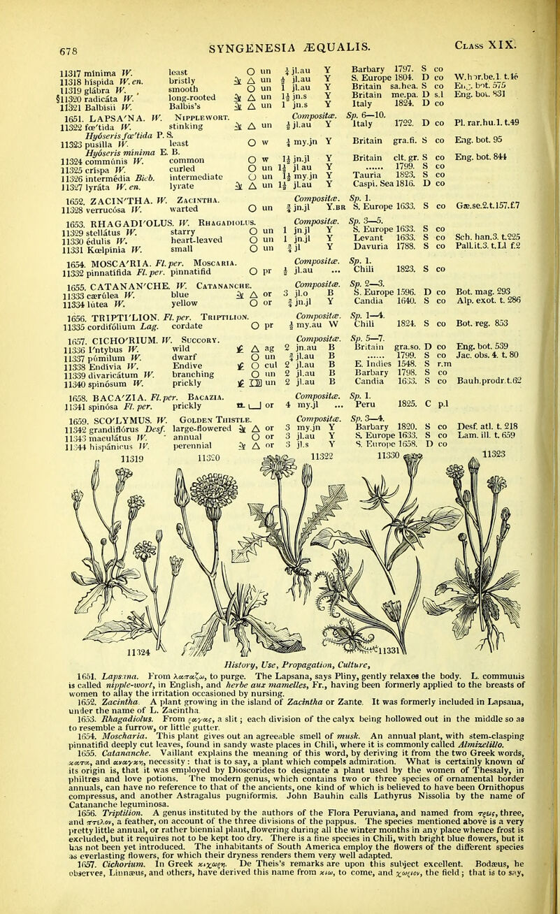 11317 minima TV. least O un 11318 hispida W.en. bristly £k A un U319 glabra TV. . smooth O un §11320 radicata TV. long-rooted ^ A un 11321 Balbisii TV. Balbis's ^ A un 1651. LAPSA'NA. TV. Nipplewort. 11322 foe'tida TV. stinking 4 A™ Hydseris fce'tida P. S. 11323 pusilla TV. least O w Hydseris mini?na E. 13. 11324 communis W. common O w 11325 crlspa TV. curled O n 11326 intermedia Bieb. intermediate O un 11327 lyrata IV. en. lyrate ^ A un 1652. ZACIN'THA. TV. Zacintha. 11328 verrucosa TV. warted O un ijl.au Y i jl.au Y 1 jl.au Y ljjn.s Y 1 jn.s Y Composite. i jl-au Y Barbary 1797. S. Europe 1804. Britain sa.hea. Britain me.pa. Italy 182*. D co Sp. 6—10. Italy 1722 S co D co W.hir.be. 1 1.16 S co Ei.j. bit. 575 D s.l Eng. boi. 831 * my.jn Y Britain gra.fi. H jn.jl Y H jlau Y 11 my.jn Y 1| jl-au Y Britain clt. gr. 1799. Tauria 1823. Caspi. Sea 1816. 1653. RHAGADI'OLUS. TV. Rhagadiolus. 11329 stellatus TV. 11330 edulis TV. 11331 Kcelpinia TV. starry heart-leaved small O un O un O un Composite. Sp. 1. f jn.jl Y.br S. Europe 1633. Composite. Sp. 3—5. 1 jn jl Y S. Europe 1633. 1 jn.jl Y Levant 1633. a jl Y Davuria 1788. D co PI. rar.hu.1.t.49 S co Eng. bot. 95 S co Eng. bot. 844 S co S co D co S co Ga.se.2.t.l57.f.7 S co S co Sch. han.3. t.225 S co PalLit.3. t.Ll f.2 1654. MOSCA'RIA. Fl.per. Moscaria. 11332 pinnatifida Fl.per. pinnatifid O pr i Composite. jl.au Sp. 1. Chili 1823. S co 1655. CATANAN'CHE. IV. Catananche. 11333 ca;rulea IV. blue i A »' 11334 liitea TV. yellow O or 1656. TRIPTI'LION. Fl.per. TitiPTiLioN. 11335 cordifolium Lag. cordate O P' 1657. CICHO'RIUM. TV. Succory. 11336 I'ntybus TV. wild 11337 pdmilum TV. dwarf 11338 Endivia TV. Endive 11339 divaricatum TV. branching 11340 spinosum W. prickly £ A ag O un £ O cul O un £ ID un 1658. BACA'ZIA. Fl.per. Bacazia. 11341 spinosa Ft. per. prickly a. i | or 1659. SCO'LYMUS. W. Golden Thistle. 11342 grandiflorus Desf. large-flowered 11343 maculatus W. ' annual 11.344 hispanicus IV. perennial 11319 H3':0 A of O or A or Composite. 3 jl.o B 1 jn.jl Y Composite. | my.au VV Composite. 2 jn.au B J jl.au B 2 jl.au B 2 jl.au B 2 jl.au B Composite. 4 my.jl Composite. 3 my.jn Y 3 jl.au Y 3 jl.s Y 11322 Sp. 2—3. S. Europe 1596. Candia 1640. Sp. 1—4. Chili 1824. So. 5—7. Britain gra.so. 1799. E. Indies 1548. Barbary 1798. Candia 1633. Sp. 1. Peru D co Bot. mag. 293 S co Alp. exot. t. 286 S co Bot. reg. 853 D co Eng. bot. 539 S co Jac. obs. 4. t. 80 S r.m S co S co Bauh.prodr.t.62 1825. C p.l Sp. 3—4. Barbary 1820. S. Europe 1633. S. Europe 1658. 11330 S co Desf. atl. t. 218 S co Lam. ill. t. 659 D co 11323 11324 History, Use, Propagation, Culture, 1651. Lapsma. From Aotmc!^, to purge. The Lapsana, says Pliny, gently relaxes the body. L. communis is called nipple-wort, in English, and herbe aux mamelles, Fr., having been formerly applied to the breasts of women to allay the irritation occasioned by nursing. 1652. Zacintha. A plant growing in the island of Zacintha or Zante. It was formerly included in Lapsana, under the name of L. Zacintha 1653. Rhagadiolus. From ^xyx;, a slit; each division of the calyx being hollowed out in the middle so aa to resemble a furrow, or little gutter. 1654. Moscharia. This plant gives out an agreeable smell of musk. An annual plant, with stem-clasping pinnatifid deeply cut leaves, found in sandy waste places in Chili, where it is commonly called Almizelillo. 1655. Catananche. Vaillant explains the meaning of this word, by deriving it from the two Greek words, xv.Tct, and civayxy, necessity : that is to say, a plant which compels admiration. What is certainly known of its origin is, that it was employed by Dioscorides to designate a plant used by the women of Thessaly, in philtres and love potions. The modern genus, which contains two or three species of ornamental border annuals, can have no reference to that of the ancients, one kind of which is believed to have been Ornithopus compressus, and another Astragalus pugniformis. John Bauhin calls Lathyrus Nissolia by the name of Catananche leguminosa. 1656. Triptilion. A genus instituted by the authors of the Flora Peruviana, and named from reus, three, and srreXOT, a feather, on account of the three divisions of the pappus. The species mentioned above is a very pretty little annual, or rather biennial plant, flowering during all the winter months in any place whence frost is excluded, but it requires not to be kept too dry. There is a fine species in Chili, with bright blue flowers, but it has not been yet introduced. The inhabitants of South America employ the flowers of the different species as everlasting flowers, for which their dryness renders them ver.y well adapted. 1657. Cichorium. In Greek xi^oi^. De Theis's remarks are upon this subject excellent. Bodasus, he observee, Linnaus, and others, have derived this name from xiu, to come, and x'S'm>tne r'e'c' > that is to say.