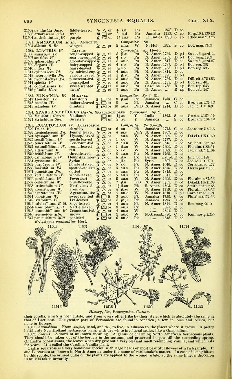 11502 pandurata Jacq. fiddle-leaved ^ A or 4 s.n Pu 1825. 11503 arborescens Cass, tree *Qor 5 n.d Pu Jamaica 1733. §11504 anthelmintic^ TV. purple £ DS or 1J au.s Pu E. Indies 1770. 1681. AMMO'BIUM. R. Br. Ammobium. Composites. Sp. 1. 11505 alatum if. Br. winged ^ A pr 2 mr.s W N. Holl. 1822. 1682. LIA'TRIS. TV. Liatris. Composites. Sp. 11—18. 11506 squarrosa TV. rough-cupped ^ A el 3 jl au Pu N. Amer. 1732. 11507 scaricjsa TV. scarious cupped^ A el 4 s.o Pu N. Amer. 1739. 11508 sphaeroidea Ph. globular-cupp'd^ A el 3 au-° Pu N- Amer. 1817. 11509 elegans TV. hairy-cupped ^ A °' 4 s.o Pu N. Amer. 1787. 11510 pilosa IV. hairy-leaved ^ A el 1J s.o Pu N. Amer. 1783. 11511 cylindracea Ph. cylindrical-cup.^ A el * au-° Pk N. Amer. 1811. 11512 heterophylla Ph. various-leaved ^ A el 3 jl.au Pu N. Amer. 1790. 11513 pyenostachya Ph. pubescent-lvd. ^ A el 3 au.o Pu N. Amer. 1732. 11514 spicata TV. long-spiked 3t A e' 6 au o P N. Amer. 1732. 11515 odoratissima TV. sweet-scented £ lA) el 3 au.o Pu Carolina 1786. 11516 p6mila Hort. dwarf £i A el 1 au0 Pu N- Amer. ... 1683. MIKA'NI A. TV. Mikaxia. Composites. Sp. 3—21. 11517 Houstoni TV. Houston's %_ O or 8 jl.au Pk Jamaica 1733. 11518 hastata TV. halbeit-leaved %_ O or 8 ... Pk Jamaica 11519 scandens TV. climbing £_ lAI or 10 au.s Pa.B N. Amer. 1714, 1684. SPARGANO'PHORUS. Geertn. Sparganophorus. Composites. Sp. 2. 11520 Vaillantii Geertn. Vaillant's K3 un 1J au Y India 1823. 11521 Struehium Svm. Swartz's O un 2 au Y Jamaica 1685. EUPATO'RIUM. TV. Eupatorium. Composites. Sp. 30—107. 11522 Dalea TV. shrubby « □ or 6 au Pk Jamaica 1773. 11523 fceniculaceum Ph. Fennel-leaved ^ A or 4 jn.s Pa.Y N. Amer. 1807. 11524 hyssopifolium TV, Hyssop-leaved i A »' 1 au s W N. Amer. 1699. 11525 sessilitolium TV. sessile-leavod i£ A or 1 s.o W N. Amer. 1777. 11526 teucrifolium TV. Teucrium-lvd. ^ A or 2 au.n W N. Amer. 1816. 11527 rotundifolium TV. round-leaved ^ A or 1 jl.au W N. Amer. 1699. 11528 altissimum TV. tall ^ A or 5 s.o W N. Amer. 1699. 11529 trifoliatum TV. three-leaved ^ A or 6 au.o Pu N. Amer. 1768. 11530 cannabinum TV. HempAgrimony ^ A or 4 jl.o Pk Britain wat.pl. 11531 syriacum TV. Syrian ^ A or 4 jl.s Pu Syria 1807. 11532 purpureum TV. purple-stalked 3t A or 5 s.o Pk N. Amer. 1640. 11533 maculatum Ph. spotted-stalked ^ A or 3 au.s Pu N. Amer. 1656. 11534 punctatum Ph. dotted ^ A or 4 au.s Pu N. Amer. 1815. 11535 vertieillatum TV. whorl-leaved ^ A or 5 au.s Pu N. Amer. 1811. 11536 perforatum TV. Feverwort 3t A or 2 au.o W N. Amer. 1699. 11537 ccelestinum TV. blue-flowered ^ A or 2 jl.n L.B N. Amer. 1732. 11538 urticaefolium TV. Nettle-leaved ^ _AJ or ljjl.au Pk S. Amer. 1803. 11539 aromaticum TV. aromatic ^ A or 4 jl.au \V N. Amer. 1739. 11540 ageratoides TV. Ageratum-like 4 A or 4 au.o W N. Amer. 1640. 11541 odoratum TV. sweet-scented H □ ft 3 au.o Pk Jamaica 1752. 11542 ivasfolium TV. Iva-leaved £ B3 or 3 jn.jl Pk Jamaica 1794. 11543 salvisefolium B. M. Sage-leaved ^ A or 4 au.s Pk N. Amer. 1814. 11544 lamiifolium Link. Nettle-leaved £ Ej or 3 au.s Pk 1823. 11515 ceanothifolium TV. Ceanothus-lvd. ^ A or 4 au.s W 1824. 11546 iresinoides Kth. snowy $_ □ or 2 au.o W N.Grenad.1820. 11547 paniculatum Mill, panicled £ (A) or 6 au.o Pk 1818. Eriopdppus paniculatus Hort 11505 11507 i 11513 w D co C co Pl.sp.10.U30.f2 S co Rhee.mal.2. t.24 S co Bot. mag. 2459 D p.l D p.l D co D p.l D p.l D co D p.l D co D p.l R s.p R s.p Sweet fl. gard 44 Bot. mag. 1709 Sweet fl. gard.87 Bot. reg. 267 Bot. reg. 595 Dill.elt.t.72.f.S Bot. rep. 401 Bot. rep. 633 Bot. cab. 147 C C D co co C co Bro.jam. t.34.f.3 Jac. ic. 1.1.169 S co Ga;rtn. t.165. f.4 S co Bro.jam t.34.f.2 C co D co D co D co D co D co D co D co D co D co D co D co D co D co D co D co D co D co D p.l C co D co D co D co D co C co D co Jac.schcD.2.t.l46 Dil.el.t.ll5.f.l40 W. hort. ber. 32 Plu.alm. t.8S.f.4 Jac.vind.2. t.164 Eng. bot. 428 Jac. ic. 1. t. 170 Corn, canad.t.72 Herm.par. 1.158 Plu. aim. t.87.f.6 Dil.el.t.ll4.f.l39 Smith, ined. t.68 Plu. aim. t.88.f.3 Corn.canad. t.21 Plu.alm.t. 177X3 Bot. mag. 2010 Kun.nov.g.t.340 11516 History, Use, Propagation, Culture, their corolla, which is not ligulate, and from every other tribe by their style, which is absolutely the same as that of Lactuceae. The greater part of Vernoniea? are found in America; a few in Asia and Africa, but none in Europe. 1681. Ammobium. From api&cs, sand, and $it>i, to live, in allusion to the places where it grows. A pretiy half-hardy New Holland herbaceous plant, with dry white involucral scales, like a Gnaphalium. 1682. Liatris. A word of unknown meaning. A genus of charming North American herbaceous plants. They should be taken out of the borders in the autumn, and preserved in pots till the succeeding spring. Of Liatris odoratissima, the leaves when dry give out a very pleasant smell resembling Vanilla, and which lasts for years. It is called the Carolina Vanilla plant. liatris squarrosa is a very handsome species, with large heads of most beautiful flowers of a rich purple. H and L. scariosaare known in North America under the name of rattlesnake's master. In case of being bitten by this reptile, the bruised bulbs of the plants are applied to the wound, while, at the same time, a decoction in milk is taken inwardly.