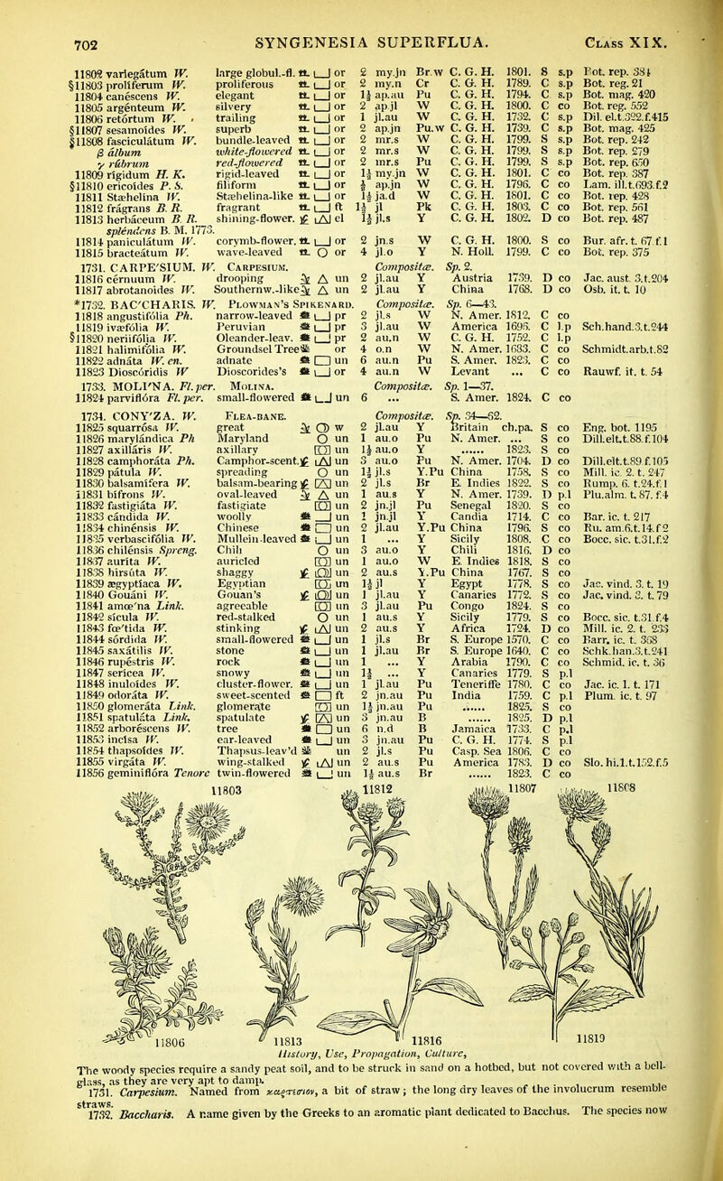 vartegatum TV. large globul.-fl. a. proliferum TV. canescens TV. argenteum TV. retortum TV. sesamoides TV. fasciculatum TV. album r&brum rigidum H. K. ericoldes P. S. Sta;helina TV. fragrans B. R. herbaceum B It. splendent B. M. 177- paniculatum TV. corymb-flower.a. | | or bracteatum TV. wave-leaved tL Q or CARPE'SIUM. TV. Carpesium. cernuum TV. drooping ^ A un abrotanoides TV. Southernw.-like^ A un BAC'CHARIS. TV. Plowman's Spikenard. angustifolia Ph. iva?folia TV. neriifolia TV. halimifolia TV. adnata TV. en. Dioscoridis TV MOLI'NA. Fl.pcr. Molina. parviflora Fl. per. small-flowered H i | un 11802 §11803 11804 11805 11806 §11807 811808 0 11809 §11810 11811 11812 11813 11814 11815 1731. 11816 11817 *1732, 11818 11819 §11820 11821 11822 11823 1733. 11824 1734. CONY'ZA. TV. 11825 squarrosa TV. 11826 marylandica Pk 11827 axillaris TV. 11828 camphorata Ph. 11829 patula TV. 11830 balsamlfera TV. 11831 bifrons TV. 11832 fastigiata TV. 11833 Candida TV. 11834 chinensis TV. 11845 verbascifolia TV. 118.36 chilensis Spreng. 11837 aurita TV. 11838 hirsuta TV. 11839 ajgyptlaca TV. 11840 Gouani TV. 11841 amoe'na Link. 11842 sicula TV. 11843 fce'tida TV. 11844 sordida TV. 11845 saxatilis TV. 11846 rupestris TV. 11847 sericea TV. 11848 inuloides TV. 11849 odorata TV. 11850 glomerata Link. I1&51 spatulata Link. 11852 arborescens TV. 11853 inclsa TV. 11854 thapsotdes TV. 11855 virgata TV. 11856 geminiflora Tenore proliferous elegant silvery trailing superb bundle-leaved 1vh ite-fio ivered red-flowered rigid-leaved filiform Sta;helina-like a. \ | or fragrant a. i I ft shining-flower. £ lAJ el a. i I or tt i | or n. i I or a. I I or a. I | or a, i I or a. I I or a. i | or a. i | or a.i_Jor narrow-leaved • i | pr Peruvian * i | pr Oleander-leav. *t \ | pr Groundsel TreeSs or adnate *t □ un Dioscorides's *l \ | or Flea-bane. great Maryland axillary Camphor-scent, spreading balsam-bearing oval-leaved fastigiate woolly Chinese Mullein-leaved Chili auricled shaggy Egyptian Gouan's agreeable red-stalked stinking small-flowered stone rock snowy cluster-flower, sweet-scented glomerate spatulate tree ear-leaved Thapsus-leav'd wing-stalked twin-flowered k Q) w O un rm un £ lAI un O un £ El un i& A un rm un *s I un »Oun * i | un O un EH un £ Ol un C5 un $ Ql un O un O un If lA) un as i I un St i | un * i I un fts i | un ft i | un * □ft 23 un E3 un * □ un » I I un ^ un £ lAJ un i | un 2 my.jn Br.w C. G. H. 1801. 2 my.n Cr C. G. H. 1789. 1| ap.au Pu C. G. H. 1794. 2 ap jl W C. G. H. 1800. 1 jl.au W C. G. H. 1732. 2 ap.jn Pu.w C. G. H. 1739. 2 mr.s W C. G. H. 1799. 2 mr.s W C. G. H. 1799. 2 mr.s Pu C. G. H. 1799. U my.jn W C. G. H. 1801. 1 ap.jn W C. G. H. 1796. U ja.d W C. G. H. 1801. H jl Pk C. G. H. 1803. 14 jl.s Y C. G. H. 1802. 2 jn.s W C. G. H. 1800. 4 jl.o Y N. Hoa 1799. Compositce. Sp. 2. 2 jl.au Y Austria 1739. 2 jl.au Y China 1768. Compositce. Sp. 6—43. 2 jl.s W N. Amer. 1812. 3 jl.au W America 1695. 2 au.n W C. G. H. 1752. 4 o.n W N. Amer. 1683. 6 au.n Pu S. Amer. 1823. 4 au.n W Levant ... Compositce. Sp. 1—37. 6 ... S. Amer. 1824. Composite. Sp. .34—62. 2 jl.au Y Britain ch.pa. 1 au.o Pu N. Amer. ... ljau.o Y 1823. 3 au.o Pu N. Amer. 1704. 1| jl.s Y.Pu China 1758. 2 jl.s Br E. Indies 1822. 1 au.s Y N. Amer. 1739. 2 jn.jl Pu Senegal 1820. 2 jn.jl Y Candia 1714. 2 jl.au Y.Pu China 1796. 1 ... Y Sicily 1808. 3 au.o Y Chili 1816. 1 au.o W E. Indies 1818. 2 au.s \.Pu China 1767. l|jl Y Egypt 1778. 1 jl.au Y Canaries 1772. 3 jl.au Pu Congo 1824. 1 au.s Y Sicily 1779. 2 au.s Y Africa 1724. 1 jl.s Br S. Europe 1570. 1 jl.au Br S. Europe 1640. 1 ... Y Arabia 1790. 1| ... Y Canaries 1779. 1 jl.au Pu Teneriflfe 1780. 2 jn.au Pu India 1759. lijn.au Pu ...... 1825. 3 jn.au B 1825. 6 n.d B Jamaica 1733. 3 jn.au Pu C. G. H. 1774. 2 jl.s Pu Casp. Sea 1806. 2 au.s Pu America 1783. li au.s Br 1823. 11812 « 11807 S s.p C s.p C s.p C co C s.p C s.p Pot. rep. 381 Bot. reg. 21 Bot. mag. 420 Bot. reg. 552 el.t.322.f.415 Bot. mag. 425 Bot. rep. 2+2 Bot. rep. 279 Bot. rep. 650 Bot. rep. 387 I-am. ill.t.693.f.2 c Bot. rep 428 C CO Bot. rep. 561 1) CO Bot. rep. 487 s CO Bur. afr.t. 67.fl c CO Bot. rep. 375 ]-) Tan micf *5 t Odd. 1) Och it f in c CO c Ip Sch.hand.3.t.244 c I.p c CO Schmidtarb.t.82 c CO c CO Rauwf. it. t. 54 c CO s CO Eng. bot. 1195 s CO Dill.elt-t.S8f.104 s CO 1) CO Dill.eltt89f.105 s CO Mill. ic. 2. t. 247 s CO Rump. 6. t.24.f. 1 n pi Plu.alm. 187. f 4 s CO c CO Bar. ic t. 217 s CO Ru. am.fi.t.l4.f2 C CO Bocc. sic. t.3I.f.2 n CO s CO s CO s CO Jac. vind. 3.1.19 s CO Jac. vind. 2. t. 79 s CO s CO Bocc. sic. t.31.f,4 I) CO Mill. ic. 2. t. 233 c CO Barr. ic. t. 3S8 c CO Schk.han.3.t.241 c CO Schmid. ic. t. 36 s p.l c CO Jac. ic. 1.1. 171 c pi Plum. ic. t 97 s CO n p.i c p.l s pi c CO 1) CO Slo. hi.l.U52.f.5 c CO U8C8 11806 11819 11813 ' 11816 History, Use, Propagation, Culture, The woody species require a sandy peat soil, and to be struck in sand on a hotbed, but not covered with a bell- glass, as they are very apt to damp. . 1731. Carpesium. Named from *a{n-£«ov, a bit of straw; the long dry leaves of the involucrum resemble St 1732. Baccharis. A name given by the Greeks to an aromatic plant dedicated to Bacchus. The species now