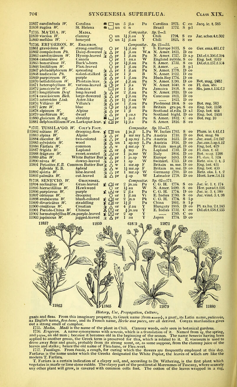 11857 carolinensls IV. 11858 rugosa W. tl735. MA'DIA. IV. 11859 viscosa W. 11860 mellosa W. . tl736. ERI'GERON. W. 11861 graveolens W. 11862 compositum Ph. 11863 carolinianum W. 11864 canadense W. 11865 bonariense IV. 11866 linifolium IV. 11867 philadelphicum W. 11868 nudicaule Ph. 11869 purpi'ireum IV. 11870 bellidiiolium IV. 11871 heterophyllum IV. 11872 jamaieen'se IV. 1187.3 longifolium .Des/ 11874 caucasicum Bieb. 11875 asteroides 11876 Villarsii fV. 11877 acre W. 11878 alpinum W. 11879 uniflorum W. 11880 glaucum B. reg. 11881 delphinifoliumfKen. *1737. TUSSILA'GO. W. Colt's Foot. §11882 nutans W. drooping-flow. )f 11883 alpina W. Alpine ^ 11884 discolor W. two-colored ^ 11885 sylvestris IV. wood ^ 11886 Farfara W. common ^ 11887 frigida W. Lapland ^ 11888 fragrans IV. sweet-scented ^ 11889 alba IV. White Butter Bur Jfc 11890 nivea W. downy-leaved ^ 11891 VeUsitesE.B. Common Butter Bur^t hybrida E. B. hybrid 11892 spuria IV. lobe-leaved ^ 11893 palinata W. cut-leaved & tl7S8. SENE'CIO. IV. Groundsel. 11894 reclinatus IV. Grass-leaved ]£ 11895 hieracifolius W. Hawkweed 11896 purp6reus W. purple 11897 cernuus W. drooping 11898 erubescens IV. blush-colored £ 11899 divaricatus W. straddling )£ 11900 croaticus IV. Croatian ^ 11901 Pseudo-China W. Chinese A 11902 haematophJllusfKen.purple-leaved £ 11903 japonicus W. jagged-leaved ^ 11857 ml m H859 Carolina as □ un 5 jl.o Pu St. Helena m un 6 n rlamm^' Composite. ? r\ li jl.au Y noneyeci jl.au Y Erigeron. Composite. strong-smelling Daisy-flowered o P' 11 X ? jl.au Y k A l>r jl.au W. Hyssop-leaved k A l>r 1 jl.au Pu Canada O pr 1 au.s \V Buck's-horn O pr H jl.au Pu Flax-leaved o pr 1 jl. au Pu spreading k A pr 1 jl.au Pu naked-stalked k A pr 1 jl B purple k A pr 1 Pu Plantain-leav. k A pr j s jl.au Pu various-leaved k (D pr 1 jl.s VV Jamaica [13 pr 1 jl.s Pu long-leaved k A pr 2 jl.au Pu large-flowered k A pr 1 jl.au Pu Aster-like k A pr 11 jl.au W A £3 Pr jl.au Pu blue Q) l>r H jl.au B Alpine A I'r l jl Pu dwarf k A l'r i au.s Pu shrubby L_l Pr l ja.d Pu . Larkspur-lcav. lQ2J l>r U jl.s Pu 1821. 1772. 1794. 1825. EH un A l>r A I'r A un A w A or _£J or A pr A pr A w A w A pr A pr Q] or 0 or 1 Al or O or if!)l or ifDI or A or (23 or GS or A pr Composite. ijn.jl L.Pu I mr my L.Pu | ap.my L. Pu 1 ap.my L. Pu | mr.ap Y i my 1 ja.mr 1 ja.ap 1 ap 1 mr.ap F 1| mr.ap F 1 mr.ap W lap W Composite. 2 jn.au Pu U au Pa W w w 2 jl.s 1 jl.au 2 jn.o 1* jl 4 jl.au J jn.au 2 ap 1 au 61872 W Pu Vi Pk Pu Y Y Y Y Carolina Brazil Sp. 2—3. Chili Chili Sp. 21—53. S. Europe 1633. i N. Amer. 1811. N. Amer. 1727. England rubble. S. Amer. 1732. S. Amer. N. Amer. 1778. N. Amer. 1812. Huds. Bay 1776. N. Amer. 1790. N. Amer. 1640. Jamaica 1818. N. Amer. 1820. Caucasus 1821. 1823. Piedmont 1804. Britain gra.pa. Scotland al.rills. Scotland highl. S. Amer. 1812. S. Amer. 1816. Sp. 12—17. W. Indies 1793. Austria 1710. A ustria 1633. Austria 1816. Britain moi.pl. Lapland 1710. Italy 1806. Europe 1683. Switzerl. 1713. Britain m. me. Britain m. mc. Germany 1790. Labrador 1778. Sp. 62—171. C. G. H. 1774. N. Amer. 1699. C. G. H. 1774. E. Indies 1780. C. G. H. 1774. China 1801. Hungary 1S05. E. Indies 1732. 1789. Japan 1774. 11871 C co S p.l S co S co S co D co D s.p S co S co S p.l D co D co D co D co S co S co D co D co D co S co S co D s.l D co C co S co S co D co D co D co D co D co D to D co D co D co D co D co D co S co S co D co S co S l.p S lp D co C co C co D co Jacq. ic. t. 585 Jac. schce.4.t.302 Ger. ema.481.f.2 Dil.el.t.306.f.394 Eng. bot. 2019 Dil.el.t.257.f.3J4 Bot. mag. 2402 FI. dan. 486 Slo. jam.t.l52.£3 Bot. reg. 583 Eng. bot. 1158 Eng. bot. 464 Eng. bot. 2416 Bot. reg. 10 Plum. ic.t.41.f.l Bot. mag. 84 Jac. aust. 31.247 Jac.aus.5.ap.t.l2 Eng. bot. 429 FI. dan. t. 61 Bot. mag. 1388 FI. dan. t. 524 Ketz. obs. 2. t. 3 Eng. bot. 431 Eng. bot. 430 Retz. obs. 1. t. 2 Hort. kew.at.ll Jac. ic. 1. t. 174 Her. parad.t.226 Jac. ic. 3. t. 580 Jac. vind. 3. t. 98 PI. ra.hu. 2.U43 Dil.el.t.258.f.335 History, l/sc, Propagation, Culture, gnats and fleas. From this imaginary property, its Greek name (from a gnat), its Latin name,pulicaria, its English name, flea-bane, and its French name, Herbe aux puces, are all derived. Conyza marilandica gives out a strong smell of camphor. 1735. Madia. Madi is the name of the plant in Chili. Clammy weeds, only seen in botanical gardens. 1736. Engeron, A name synonymous with senecio, which is a translation of it. Named from ijg, the spring, and yiem, an old man ; because it becomes old in the beginning of the season. The name Senecio having been applied to another genus, the Greek term is preserved for this, which is related to it. E. viscosum is used to drive away fleas and gnats, probably from its strong scent, or, as some suppose, from the clammy juice of the leaves and stalks; hence the old name of Flea-bane, or Flea-wort. 1737. Tussilago. From tussis, a cough, for curing which the flowers are frequently employed at this day. Farfarus is the name under which the Greeks designated the White Poplar, the leaves of which are like the modern T. Farfara. T. Farfara is a certain indication of a clayey soil, and, according to Dr. Withering, is the first plant which vegetates in marie or lime stone rubble. The clayey part of the pestilential Maremmes of Tuscany, where scarcely any other plant will grow, is covered with common colts foot. The cotton of the leaves wrapped in a rag,