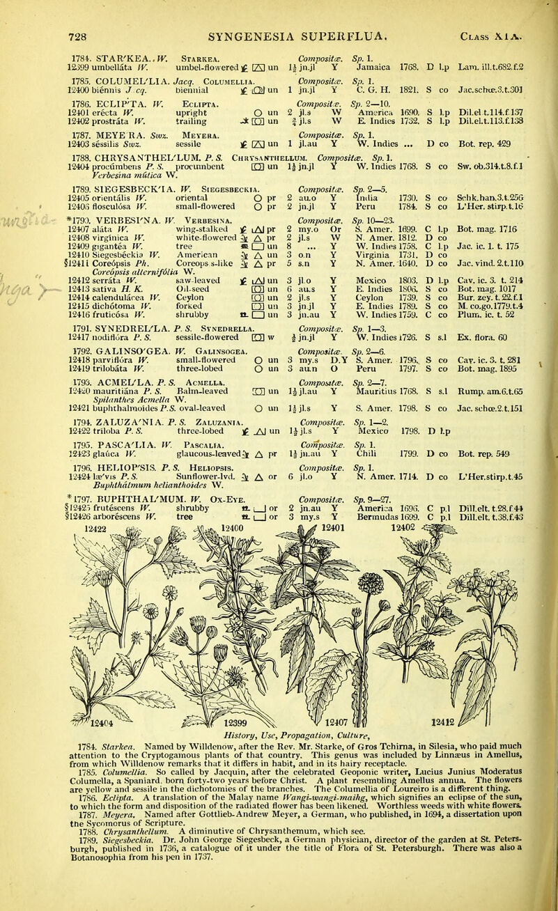 1784 12J99 1785. 12400 1786. 12401 12402 1787. 12403 1788. 12404 STAR'KEA.. W. Starkea. umbellata IV. umbel-flowered £ El un COLUMEL'LIA. Jacq. Columellia. biennis J. cq. biennial )£ QJ un EcLIPTA. upright trailing W. ECLIP'TA. erecta W. prostrata fV. MEYE RA. Sua. sessilis Stvz. O un rm un Meyera. sessile fAI un Composite, li jn.jl Y Composites. 1 jajl Y Composite. 2 jl.s W fjl.s W Co?npositee. 1 jl.au Y Sp. 1. Jamaica Sp. 1. C. G. H. 1768. 1821. Sp. 2—10. America ia<X>. E. Indies 1732. Sp. 1. W. Indies ... CHRYSANTHEL'LUM. P. S. procumbens P. S. procumbent Verbesina m&tica W. Chrysanthellum. Composites. Sp. 1. Oun 1| jn.jl Y W. Indies 1768. 1789. SIEGESBECK'I A. W. Siegesbeckia. 12405 orientalis IV. oriental O pr 12405 flosculcjsa IV. small-flowered O pr *179:l. VERBESI'NA. W. Vebbesina. wing-stalked white-flowered tree American Coreops s-Iike 12407 alata W. 12408 virglnica IV. 12409 gigantea W. 12410 Siegesbeckia W. §1241 i Core6psis Ph. Coreopsis eilternifdlia W. 12412 serrata IV. saw-leaved 12413 sativa H. K. 12414 calendularea IV. 12415 dichotoma IV. 12416 fruticosa W. £ lAlpr k A pr « □ un 5j A un i Apr ]£ lAI un rm un rm un 0 un a. □ un 1791. SYNEDREL'LA. P. S. Syneorella. 12417 nodiflura P. S. sessile-flowered ED w 1792. GALINSO'GEA. W. Galinsogea. Composites. 2 au.o Y 2 jn.jl Y Composites. 2 my.o Or 1730. 1784. Oil-seed Ceylon forked shrubby on s.n jlo au.s jl.s jn.jl jn.au W Y Y Y Y Y Y Y Y Sp. 2—; India Peru Sp. 10—23. S. Amer. 1699. N. Amer. 1812. W. Indies 1758. Virginia 1731. N. Amer. 1640. Mexico 1803. E. Indies 1806. Ceylon 1739. E. Indies 1789. W. Indies 1759. 12418 parviflura W. 12419 trilobata W. small-flowered three-lobed O un O un Composites. Sp. 1—3. i jn.jl Y \V. Indies i726. Composites. Sp. 2—6. 3 my.s D.Y S. Amer. 1796. 3 au.n O Peru 1797. 1793. ACMEL'LA. P. S. Acmella. 12420 mauritiana P. S. Balm-leaved 23 un Spilantlies Acmella W. 12421 buphthalmoides P S. oval-leaved O un 1794. ZALUZA'NI A. P. S. Zaluzania. 12422 triloba P. S. three-lobed f Al un 1795. PASCA'LIA. 12423 glauca IV. W. PascalIa. laucous-leaved^t A pr 1796. HEI.IOP'SIS. P.S. Heliopsis. 12424 te'vis P. S. Sunflower-lvd. ^ A or Buphthalmum helianthoides W. * 1797. BUPHTHAL'MUM. W. Ox-Eye. §1242> frutescens W. shrubby n. \ | or §12426 arborescens W. tree ' tt-1 I or Composites. lijl.au Y JJjl.s Y Composites. li jl.s Y Composites. li jn.au Y Composites. 6 jl.o Y Sp. 2—7. Mauritius 176a Sp. 1—2. Mexico Sp. 1. Chili 1798. 1798. 1799. Sp. 1. N. Amer. 1714. D Up Lam. ill.t.682.f.2 S co Jac.schu?.3.t.301 S l.p Dil.elt.114.fl37 S l.p Dil.el.t.ll3.f.l38 D co Bot. rep. 429 S co Sw. ob.314.t.8.f.l S co Schk.han.3.t.25G S co L'Her. stirp.t.16 C l.p Bot. mag. 1716 D co C l.p Jac. ic. 1. t. 175 D co D co Jac. vind.2.t.ll0 D l.p Cav. ic. 3. t. 214 S co Bot. mag. 1017 S co Bur. zey.t.22.f.l S co M. co.go.l779.t.4 C co Plum. ic. t. 52 S s.l Ex. flora. 60 S co Cav. ic. 3. t. 281 S co Bot. mag. 1895 S s.l Rump. am.6.t.65 S co Jac. schoe.2.t.I51 D I.p D co Bot. rep. 549 D co L'Her.stirp.t,45 Composites. Sp. 9—27. 2 jn.au Y America 1696. 3 my.s Y Bermudas 1699. 12401 12402 C p.l Dill.elt.t.28.f44 C p.l Dillelt. t.38.f.43 12399 History, Use, Propagation, Culture, 1784. Starkea. Named by Willdenow, after the Rev. Mr. Starke, of Gros Tchima, in Silesia, who paid much attention to the Cryptogamous plants of that country. This genus was included by Linnaeus in Amellus, from which Willdenow remarks that it differs in habit, and in its hairy receptacle. 1785. Columellia. So called by Jacquin, after the celebrated Geoponic writer, Lucius Junius Moderatus Columella, a Spaniard, born forty-two years before Christ. A plant resembling Amellus annua. The flowers are yellow and sessile in the dichotomies of the branches. The Columellia of Loureiro is a different thing. 1786. Eclipta. A translation of the Malay name IVangi-wangi-maihg, which signifies an eclipse of the sun, to which the form and disposition of the radiated flower has been likened. Worthless weeds with white flowers. 1787. Meyera. Named after Gottlieb-Andrew Meyer, a German, who published, in 1694, a dissertation upon tne Sycomorus of Scripture. 1788. Chrysantliellum. A diminutive of Chrysanthemum, which see. 1789. Siegesbeckia. Dr. John George Siegesbeck, a German physician, director of the garden at St. Peters- burgh, published in 1736, a catalogue of it under the title of Flora of St. Petersburgh. There was also a Botanosophia from his ]>en in 1737.