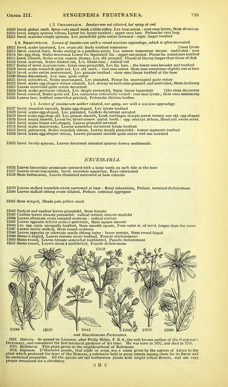 f) 3. Crocodylium. Involucrum not ciliated, but spiny at end. 12609 Invol. globul. smth. Spine very small weak a little reflex. Lvs. lanc.serrat.: root ones lyrate, Stem divaricat. 12610 Invol. simply spinous villous, Lower lvs. lyrate toothed: upper ones lane. Peduncles very long 12611 Invol. scarious simply spinous, Lvs. pinnatifid quite entire terminal: segm. larger toothed \ 4. Rh&pooticum. Leaves of involucrum with a round scarious appendage, which is often lacerated. 12612 Invol. scales lacerated, Lvs. ovate-obl. finely toothed tomentose [ones lyrate 12613 Invol. conical hard, Scales ending in a patulous point, Lvs. somew. tomentose decurr. undivided : root 12614 Inv. egg-shap. Scales mucronat. Lower lvs. bipinnatif. lin.: upper one pinnat. Pinnae lin. sometimes toothed 12615 Invol. ciliated, Scales acum. somew. thorny, Lvs. obi. pinnatif. Florets of the ray longer than those of disk 12616 Invol. scarious, Scales dilated cut, Lvs. linear-lanc.: radical cut 12617 Scales of invol. scarious torn: lower ones pinnatifid, Lvs. lin. lane. : the lower ones broader and toothed 12618 Invol. scales roundish quite ent. Lvs. obi. smth. : root ones serrat. Stem ones sometimes slightly cut at base 12619 Invol. scales entire mucronatcd, Lvs. pinnate toothed : stem ones linear toothed at the base 12620 Stems decumbent, Lvs. lane, quite entire 12621 Invol. cylindrical, Scales mucronated, Lvs. pinnated, Pinna; lin. mucronated quite entire 12622 Invol. scales egg-shaped obtuse ciliated, Lvs. downy on both sides pinnatif. and undivided, Stem declining 12623 Leaves undivided quite entire decurrent 12624 Invol. scales pectinate ciliated, Lvs. deeply pinnatifid, Segm. linear lanceolate [the stem decurrent 12625 Invol. conical, Scales quite ent. Lvs. coriaceous reticularly veined : root ones lyrate ; stem ones embracing 12626 Leaves lane, toothed somewhat petioled, Peduncles filiform leafless \ 5. Leaves of involucrum neither ciliated, nor spiny, nor with a scarious appendage. 12627 Invol. roundish smooth, Scales egg-shaped, Lvs. lyrate toothed 12628 Invol. scales egg-shaped, Lvs. pinnated, Leaflets decurrent serrated 12629 Invol scales egg-shap. obt. Lvs. pinnat. smooth, Leafl. cartilagin. sharply serrat. termin. one obi. egg-shaped 12630 Invol. round, smooth, Lower lvs. broad somew. spatul. tooth.: upp. ones lyr. at base, Head yell, sweet-scent. 12631 Invol. scales linear awl-shaped, Leaves pinnated serrated 12632 Invol. scales mucronate, Leaves somewhat decurrent lyrate toothed 12633 Invol. pubescent, Scales roundish obtuse, Leaves deeply pinnatifid : lowest segments toothed 12634 Invol. scales egg-shaped obtuse, Leaves pinnated smooth quite entire odd one serrated 12635 Invol. bristly spinous. Leaves decurrent sinuated spinous downy underneath. NECESSARIA. 12636 Leaves lanceolate acuminate serrated with a large tooth on each side at the base 12637 Leaves ovate-lanceolate, Invol. urceolate squarrose, Rays imbricated 12638 Stem herbacaous, Leaves rhomboid narrowed at base connate 12639 Leaves stalked roundish-ovate narrowed at base : floral subcordate, Pedunc. terminal dichotomous 12640 Leaves stalked oblong ovate ciliated, Pedunc. terminal aggregate 12641 Stem winged, Heads pale-yellow small 12642 Radical and cauline leaves pinnatifid, Stem hirsute 12643 Cauline leaves sinuate pinnatifid: radical ternate sinuate multifid 12644 Leaves alternate ovate serrated scabrous : radical cordate 12645 Leaves opposite deltoid stalked perfoliate, Stem square smooth 12646 Lvs. opp. conn, unequally toothed, Stem smooth square, Four outer sc. of invol. longer than the inner 12647 Leaves sessile stalked, Stem round scabrous 12648 Leaves opposite or alternate sessile oblong hairy : lower serrate, Stem round hispid 12649 Stems 6-angled, Leaves ternate ovate toothed, Panicle trichotomous 12650 Stems round, Leaves ternate somewhat toothletted, Panicle dichotomous 12651 Stems round, Leaves about 4 toothletted, Panicle dichotomous and Miscellaneous Particulars. 1822. Milleria. So named by Linna;us, after Philip Miller, F. R. S., the well known author of the Gardener's Dictionary, and considered the first botanical gardener of his time. He was born in 1692, and died in 1769. 1823. Balthnora. This plant grows in the neighbourhood of Baltimore. 1824. Silphium. D'Herbelot asserts, that silphi or serpi, was a name given by the natives of Africa to the plant w-hich produced the laser of the Romans a substance held in great esteem among them for its flavoi and its medicinal properties. All the species are tall herbaceous plants with bright vellow flowers, and are very proper ornaments for a shrubberv.