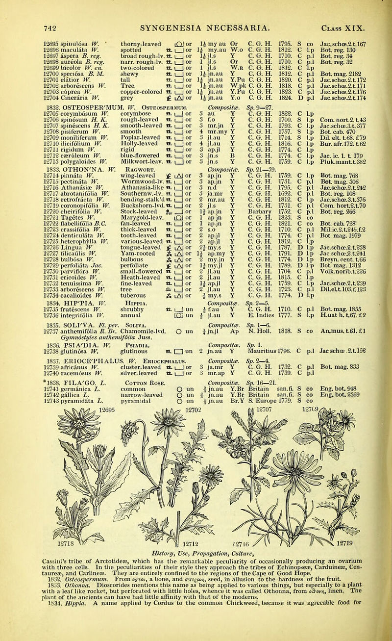 thorny-leaved tQJ or spotted tt.1 | or broad rough-lv. tt. i | or narr. rough-lv. tt. | | or two-colored a. \ | or shewy tt i | or tall tt. i | or Tree. tt. \ | or copper-colored tt. i | or grey £ iAl or OSTEOSPER'MUM. IV. Osteospermum. 13695 spinulosa IV. ' 12696 maculata W. 12697 aspera B. reg. 12698 aureola B. reg. 12699 blcolor W. en. 12700 speciosa B. M. 12701 elatior W. 12702 arborescens IV. 12703 cuprea IV. 12704 Cineraria W. 1832. 12705 12706 12707 12708 12709 12710 12711 12712 12713 1833, 12714 12715 12716 12717 12718 12719 12720 12721 12722 12723 12724 12725 12726 12727 12728 12729 12730 12731 12732 12733 12734 1834. 12735 12736 1835. SOLI'VA. Ft. per. Soliva. 12737 anthemifolia R. Br. Chamomile-lvd. O un Gymnostyles anthemifdlia Juss. 1836. PSIA'DIA. W. Psiadia. 12738 glutinosa W. glutinous tt. □ un 1837. ERIOCE'PHALUS. IV. Eriocephalus. corymbosum IV. spinosum H. K. spinescens H. K. pisiferum IV. moniliferum W. ilicifolium IV. rigidum IV. caeruleum IV. polygaloSdes IV. OTHON'NA. W. pinnata W. pectinata W. Athanasiae W. abrotanifolia IV. retrofracta IV. coronopifolia W. cheirifolia W. Tagetes IV. flabellifolia^.C. crassifolia W. denticulata W. heterophylla IV. Lingua W filicaulis TV. bulb6sa W. perfoliata Jac. parvifl6ra W. ericoldes IV. tenulssima W. arborescens IV. cacalioldes IV. HIP'PIA. W. frutescens W. integrifolia IV. corymbose H_ | j or rough-leaved tt. i | or smooth-leaved tt. i | or smooth tt. i | or Poplar-leaved tt. | | or Holly-leaved tt | | or rigid tt | | or blue-flowered tt. i | or Milkwort-leav. tt | | or Ragwort. wing-leaved £ Wormwood-lv. tt Athanasia-like ti. Southernw.-lv. tt. bending-stalk'd «- Buckshorn-lvd.tt. Stock-leaved J^. Marygold-leav. fan-leaved tt. thick-leaved tt, tooth-leaved tt. various-leaved tt tongue-leaved £ Yam-rooted A bulbous A perfoliate £ small-flowered tt Heath-leaved tt. fine-leaved tt. tree tuberous Hippia. shrubby annual i Al or I 1 or l I or l I or l I or I | or _Jor lQJ or I 1 or I I or i Al or i Al or i Al or i Ai or I I or my au Or my.au W.o jl.s jls jl.s jn.au jn.au jn.au jn.au jn.au C. G. H. C. G. H. C. G. H. C. G. H. C. G. H. C. G. H. C. G. H. W.pk C. G. H. Y.Pu C. G. H. Y.o C. G. H. Y Or W.R Y Y.Pu Composites. Y f.o Y mr.jn Y mr.mv Y jl.au Y jl.au ap.jl jn.s jn.s Compositte. ap.jn Y ap.jn Y n.d Y ja.mr Y mr.au Y A lAJ or i_J un rOi un 12739 africanus W. 12740 racem6sus W. *1838. FILA'GO. i. 12741 germanica L. 12742 gallica L. 12743 pyramidata L. cluster-leaved tt. i | or 3 silver-leaved tt. | | or 3 Cotton Rose. common O un narrow-leaved O un i pyramidal O un jl* ap.jn apjn ap.jn s.o ap.jl ap.jl \ my.s ap.my Y my.jn Y \ my.jl Y jl.au Y jl.au Y \ ap-jl Y jl.au Y \ my.s Y Compositte. i f.au Y jl.au Y Compositte. i jn.jl Ap Composite. jn.au Y Compositte. ja.mr Y mr.ap Y Sp. 9—27. C. G. H. C. G. H. C. G. H. C. G. H. C. G. H. C. G. H. C. G. H. C. G. H. C. G. H. Sp. 21—39. C. G. H. C. G. H. C. G. H. C. G. H. C. G. H. C. G. H. Barbary C. G. H. C. G. H. C. G. H. C. G. H. C. G. H. C. G. H. C. G. H. C. G. H. C. G. H. C. G. H. C. G. H. C. G. H. C. G. H. C. G. H. Sp. 2—5. C. G. H. E. Indies 1795. 1812. 1710. 1710. 1812. 1812. 1820. 1818. 1823. 1824. 1822. 1700. 1793. 1757. 1714. 1816. 1774. 1774. 1759. 1759. 1731. 1795. 1692. 1812. 1731. 1752. 1823. 1821. 1710. 1774. 1812. 1787. 1791. 1774. 1789. 1704. 1815. 1759. 1723. 1774. 1710. 1777. S C lp C c c C c c c p. I p.l lp p.l p.] p.l p.l D p.l p.l p.l 1-P D l.p D lp D l.p D Lp C p.l C l.p C lp C p.l D l.p C p.l S l.p Jac.schoe.2.t.l67 Bot. reg. 130 Bot. reg. 34 Bot. reg. 32 Bot. mag. 2182 Jac.schoe.2.t.l72 Jac.schoe.2.t.l71 Jac.schce.2.t.l76 Jac.schce.2.t.l74 Com. nort.2. t.43 Jac.schce.3.t.377 Bot. cab. 470 DiLelt. t.68. f.79 Bur.afr.l72.t.62 Jac. ic. 1. 1.179 Pluk.mant.t.382 Bot. mag. 768 Bot. mag. 306 Jac.schoe.2.t.242 Bot. reg. 108 Jac.schce.3.t.376 Com. hort.2.t.70 Bot. reg. 266 Bot. cab. 728' Mil.ic.2.t.245.f.2 Bot. mag. 1979 Jac.schoe.2.t.238 Jacschoe,2.t.241 Breyn. cent, t.66 Bot. mag. 1312 Volk.norib.t.226 Jac.schce.2.t.239 DiLeLt.l03.f.l23 Bot. mag. 1855 H.uat h. t67. f.2 Sp. 1—6. N. Holl. 1818. Sp. 1. Mauritius 1796. Sn.2—4. C. G. H. 1732. C. G. H. 1739. Compositte. Sp. 16—21. jn.au Y.Br Britain san.fi. jn.au Y.Br Britain san.fi. jn.au Br.Y S. Europe 1779. 12707 S co An.mus.t.Sl.f.l C p.l Jacsch05 2.U52 C p.l Bot mag. 833 C p.l S co Eng. bot. 948 S co Eng. bot. 2369 S co 12709/ 12719 History, Use, Propagation, Culture, Cassini's tribe of Arctotidese, which has the remarkable peculiarity of occasionally producing an ovarium with three cells. In the peculiarities of their style they approach the tribes of Echinopsese, Carduinea;, Cen- taurea?, and Carlinea;. They are entirely confined to the regions of the Cape of Good Hope. 1832. Osteospermum. From os-tov, a bone, and trs&eftwt, seed, in allusion to the hardness of the fruit 1833. Othonna. Dioscorides mentions this name as being applied to various things, but especially to a plant with a leaf like rocket, but perforated with little holes, whence it was called Othonna, from oS-my, linen. The plant of the ancients can have had little affinity with that of the moderns. W34. Hippia. A name applied by Cordus to the common Chickweed, because it was agreeable food for