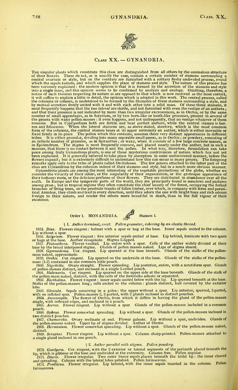 Class XX. — GYNANDRIA. The singular plants which constitute this class are distinguished from all others by the anomalous structure of their (lowers. These do not, as is usually the case, contain a certain number of stamens surrounding a central ovarium or style, but on the contrary are furnished with a solitary fleshy undivided process, round which the sepals radiate, and which supplies the place of stamens and style. The nature of this process has been variously explained : the modern opinion is that it is formed by the accretion of the stamens and style into a single mass, and this opinion seems to be confirmed by analysis and analogy. Omitting, therefore, a notice of such theories respecting its nature as are opposed to that which is now received as the most correct, it will suffice to explain a little in detail, the opinion which is adopted in this work. The central process, called the columna or column, is understood to be formed by the filaments of three stamens surrounding a style, and by mutual accretion firmly united with it and with each other into a solid mass. Of these three stamens, it mo3t frequently happens that the two lateral are sterile, and not furnished with even the vestige of an anthera; and that their presence is not indicated by more than two irregular excrescences, as in Orchis, or by the same number of small appendages, as in Satyrium, or by two horn-like or tooth-like processes, present in several of the genera with waxy pollen-masses : it even happens, and not unfrequently, that no vestige whatever of them remains. But in Cypripedium both are fertile and bear perfect anthers, while the central stamen is bar- ren and foliaceous. When the lateral stamens are, as above stated, abortive, which is the most common form of the columna, the central stamen bears at its upper extremity an anther, which is either moveable or fixed firmly in its place. The pollen which this contains, assumes three very distinct appearances in different tribes. It is either granular, dividing into many separable small pieces, as in Orchis ; or powdery, consisting of an infinite number of granules, as in Spiranthes ; or waxy, when it consists of a few large concrete masses, as in Epidendrum. The stigma is most frequently concave, and placed nearly under the anther, but in such a manner, that there is no contact between it and the pollen. In what way, therefore, fecundation can take piace among truly Gynandrous plants, is one of those mysterious contrivances of nature which has not yet been explained. It is generally believed to take place by absorption in some undiscovered manner, before the flowers expand; but it is extremely difficult to understand how this can occur in many genera. The foregoing remarks apply only to the tribe of plants called Orchideous. The few genera attached to the latter part of the class are Gynandrous by the cohesion indeed of their stamens and style, but in a much more obvious manner. Gynandrous plants are among the most interesting of the vegetable productions of the globe, whether we consider the vivacity of their colors, or the singularity of their organization, or the grotesque appearance of their tortuous roots, or the delicious perfume of their flowers. They are distributed in abundance over all the earth. In Europe and the temperate parts of the world, they are principally found in meadows and pastures among grass ; but in tropical regions tney often constitute the chief beauty of the forest, occupying the forked branches of living trees, or the prostrate trunks of fallen timber, over which, in company with ferns and parasi- tical Aroideas, they climb and trail in every direction, until they adorn the one with bright hues and rich odours foreign to their nature, and render the others more beautiful in death, than in the full vigour of their existence. Order 1. MONANDRIA. Stamen 1. ^ 1. Anther terminal, erect. Pollen granular, cohering by an elastic thread. 1855. Disa. Flowers ringent: helmet with a spur or bag at the base. Inner sepals united to the column. Lip without a spur. 185G. Satyrium. Flower ringent: five anterior sepals united at base. Lip behind, fornicate with two spurs or bags at the base. Anther resupinate. Stigma 2-lipped. 1857. Platanthera. Flower vaulted. Lip entire with a spur. Cells of the anther widely divided at their base by the broad interposed stigma. Glands of pollen masses naked. Lips of stigma absent. 1858. Gymnadenia. Cor. ringent. Lip spurred at the base beneath. Glands of the stalks of the pollen- mass naked, approximate. 1859. Orchis. Cor. ringent. Lip spurred on the underside at the base. Glands of the stalks of the pollen- mass (1-2) contained in one common little pouch. 1860. Nigritella. Ovary straight. Flower spreading. Lip posterior, entire, with a scrotiform spur. Glands of pollen-masses distinct, and enclosed in a single 2-celled pouch. 1861. Habenaria. Cor. ringent. Lip spurred on the upper side at the base beneath. Glands of the stalk of the pollen-mass naked, distinct, with the cells of the footstalks adnate or separated. 1862. Bartholina. Flower ringent: inner sepals united below with the lip. Lip spurred beneath at the base. Stalks of the pollen-masses long; cells united to the column : glands distinct, half covered by the exterior lobe. 1863. Glossula. Sepals conniving in a galea: the upper without a spur. Lip anterior, spurred, 3-parted, with an inflated spur. Pollen-masses 2, 2-parted, with 2 glands inclosed in distinct pouches. 1861. Anacamptis. The flower of Orchis, from which it differs in having the gland of the pollen-masses single, with indexed edges, and enclosed in a pouch. 1865. Aceras. Flower ringent. Lip without a spur. Glands of the pollen-masses included in a common pouch. 1866. Ophrys. Flower somewhat spreading. Lip without a spur. Glands of the pollen-masses inclosed in two distinct pouches. 1867. Chamorchis. Ovary reclinate at end. Flower galeate. Lip without a spur, undividea. Glands of the pollen-masses naked. Upper lip of stigma divided. Anther of Orchis. 1868. Herminium. Flower somewhat spreading. Lip without a spur. Glands of the pollen-masses naked, distinct. 1869. Serapias. Flower ringent. Lip without a spur. Column sharp-pointed. Pollen-masses attached to a single gland inclosed in one pouch. \ 2. Anther parallel with stigma. Pollen powdery. 1870. Goodyera. Cor. ringent, with the 2 exterior or lateral segments of the perianth placed beneath the lip, which is gibbous at the base and undivided at the extremity. Column free. Pollen angular. 1871. Diuris. Flower irregular. Two outer linear sepals placed beneath the trifid lip : the inner clawed and spreading. Column with the lateral lobes petaloid. Pollen farinaceous. 1872. Ponthieva. Flower irregular. Lip behind, with the inner sepals inserted in the column. Pollen farinaceous.