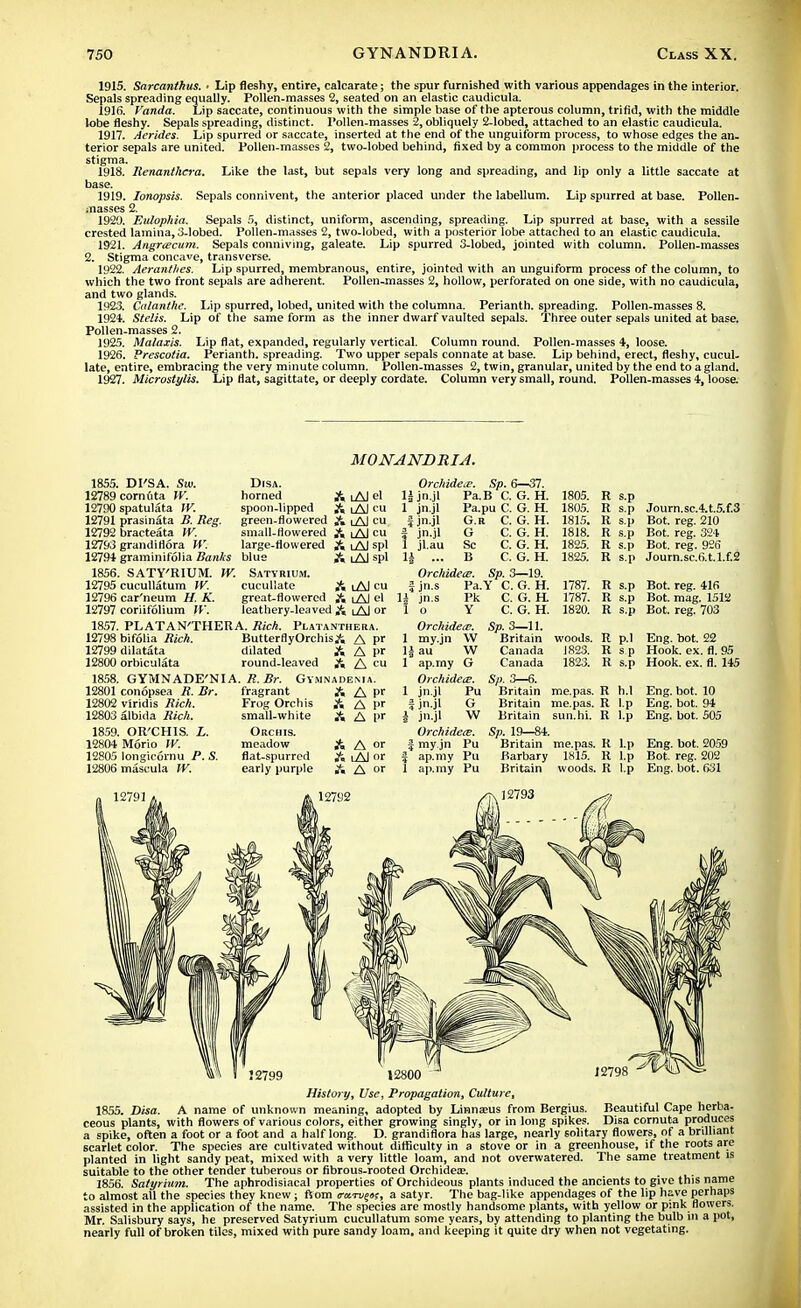 1915. Sarcanthus. • Lip fleshy, entire, calcarate; the spur furnished with various appendages in the interior. Sepals spreading equally. Pollen-masses 2, seated on an elastic caudicula. 1916. Vanda. Lip saccate, continuous with the simple base of the apterous column, trifid, with the middle lobe fleshy. Sepals spreading, distinct. Pollen-masses 2, obliquely 2-lobed, attached to an elastic caudicula. 1917. Aerides. Lip spurred or saccate, inserted at the end of the unguiform process, to whose edges the an- terior sepals are united. Pollen-masses 2, two-lobed behind, fixed by a common process to the middle of the stigma. 1918. Renanthcra. Like the last, but sepals very long and spreading, and lip only a little saccate at base. 1919. Ionopsis. Sepals connivent, the anterior placed under the labellum. Lip spurred at base. Pollen. masses 2. 1920. Bulopkia. Sepals 5, distinct, uniform, ascending, spreading. Lip spurred at base, with a sessile crested lamina, 3-lobed. Pollen-masses 2, two-lobed, with a posterior lobe attached to an elastic caudicula. 1921. Angrcecum. Sepals conniving, galeate. Lip spurred 3-lobed, jointed with column. Pollen-masses 2. Stigma concave, transverse. 1922. Aeranthes. Lip spurred, membranous, entire, jointed with an unguiform process of the column, to which the two front sepals are adherent. Pollen-masses 2, hollow, perforated on one side, with no caudicula, and two glands. 1923. Calanthe. Lip spurred, lobed, united with the columna. Perianth, spreading. Pollen-masses 8. 1921. Stelis. Lip of the same form as the inner dwarf vaulted sepals. Three outer sepals united at base. Pollen-masses 2. 1925. Malaxis. Lip flat, expanded, regularly vertical. Column round. Pollen-masses 4, loose. 1926. Prescotia. Perianth, spreading. Two upper sepals connate at base. Lip behind, erect, fleshy, cucul- late, entire, embracing the very minute column. Pollen-masses 2, twin, granular, united by the end to a gland. 1927. Microstylis. Lip flat, sagittate, or deeply cordate. Column very small, round. Pollen-masses 4, loose. MONANDRIA. 1855. 12789 12790 12791 12792 12793 12791 1856. 12795 12796 12797 1857. 12798 12799 12800 1858. 12801 12802 12803 1859. 12S04 12805 12806 DlSA. horned A iAJ el spoon-lipped A iAJ cu green-flowered A iAl cu small-Howered & lAl cu large-flowered A iAJ spl A lAJspl DI'SA. Sw. cornuta W. spatulata W. prasinata B. Reg. bracteata W. grandiflora W: graminifolia Banks blu SATY'RIUM. W. Satyrium. cucullatum IV. cucullate A lAJ cu car'neum H. K. great-flowered A iAJ el coriifolium IV. leathery-leaved A iAl or PLATAN'THERA. Rich. Platanthera. bifolia Rich. ButterflyOrchisA A pr dilatata dilated A A pr orbiculata round-leaved A A cu GYMNADE'NIA. R. Br. Gymnadema. Orchidece. Sp. 6—37. jn.jl Pa.B C. G. H. Pa.pu C. G. H. G.R C. G. H G jn.jl jn.jl jn.jl jl.au Sc B Orchidece. \ jn.; jn. C. G. H. C. G. H. C. G. H. Sp. 3—19. Pa.Y C. G. H. Pk C. G. H. conopsea R. Br. viridis Rich. albida Rich. OR'CHIS. L. Morio W. ionglc6mu P. S. mascula W. fragrant Frog Orchis small-white Orchis. meadow flat-spurred early purple A pr A l>r A pr A or i Al or A or Orchideie. my.jn W • au W ap.rny G Orchidece. jn.jl Pu ^ jn.jl G jn.jl W Orchidece. ■ my.jn Pu ap.my Pu ap.my Pu 12791 C. G. H. Sp. 3—11. Britain Canada Canada S/i. 3—6. Britain Britain Britain Sp. 19—84. Britain Barbary Britain 12793 1805. 1805. 1815. 1818. 1825. 1825. 1787. 1787. 1820. woods. 1823. 1823. me.pas. me. pas. sun.hi. me.pas. 1815. woods. R s.p R s.p R s.p R s.p R s.p R s.p R s.p R s.p R s.p R p.l R sp R s.p R h.l R l.p R l.p R I.p R l.p R l.p Journ.sc.4.t.5.f.3 Bot. reg. 210 Bot. reg. 324 Bot. reg. 926 Journ.sc. 6. t.l.£2 Bot. reg. 416 Bot. mag. 1512 Bot. reg. 703 Eng. bot. 22 Hook. ex. fl. 95 Hook. ex. fl. 145 Eng. bot. 10 Eng. bot. 94 Eng. bot. 505 Eng. bot. 2059 Bot. reg. 202 Eng. bot. 631 J 2799 12800 History, Use, Propagation, Culture, 1855. Disa. A name of unknown meaning, adopted by Linna?us from Bergius. Beautiful Cape herba- ceous plants, with flowers of various colors, either growing singly, or in long spikes. Disa cornuta produces a spike, often a foot or a foot and a half long. D. grandiflora has large, nearly solitary flowers, of a brilliant scarlet color. The species are cultivated without difficulty in a 6tove or in a greenhouse, if the roots are planted in light sandy peat, mixed with a very little loam, and not overwatered. The same treatment is suitable to the other tender tuberous or fibrous-rooted Orchidea?. 1856. Satyrium. The aphrodisiacal properties of Orchideous plants induced the ancients to give this name to almost all the species they knew; ftom ran^a?, a satyr. The bag-like appendages of the lip have perhaps assisted in the application of the name. The species are mostly handsome plants, with yellow or pink flowers. Mr. Salisbury says, he preserved Satyrium cucullatum some years, by attending to planting the bulb in a pot, nearly full of broken tiles, mixed with pure sandy loam, and keeping it quite dry when not vegetating.