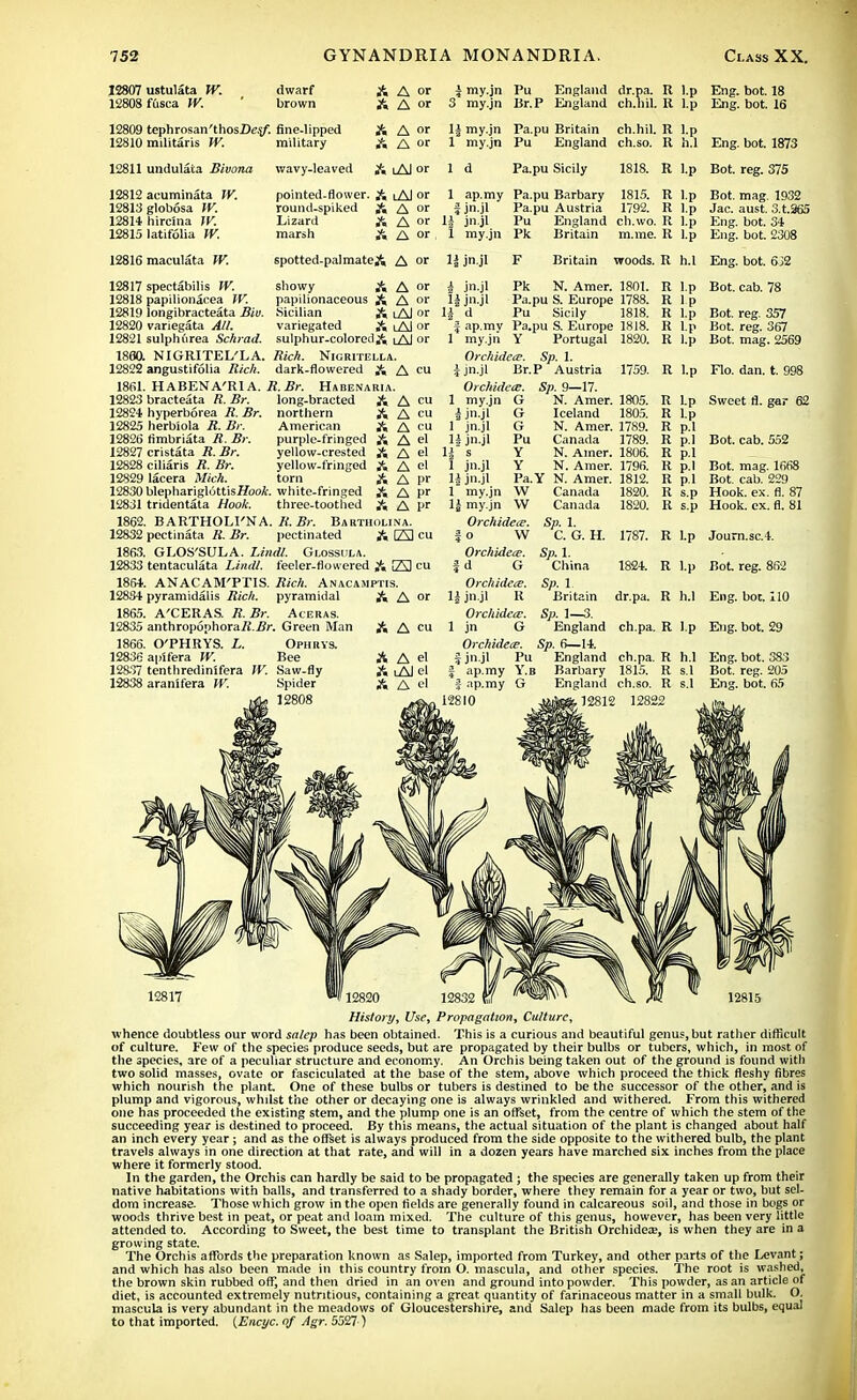 12807 ustulata W. 12808 fusca W. dwarf brown 12809 tephrosan'thosDe.j/'. fine-lipped 12810 mditaris W. 12811 undulata Bivona 12812 acuminata W. 12813 globosa W. 12814 hircina W. 12815 latifolia W. 12816 raaculata W, military wavy-leaved A A or i my.jn Pu England dr.pa. R l.p Eng. bot. 18 & A or 3 my.jn Br.P England ch.hil. R l.p Eng. bot. 16 A A or 1± my.jn Pa.pu Britain ch.hil. R l.p A A or 1 my.jn Pu England ch.so. R h.l Eng. bot. 1873 A lAl or Id Pa.pu Sicily 1818. R l.p Bot. reg. 375 pointed-flower. A lAJ or round-spiked A A or Lizard A A or marsh A A or 1 ap.my Pa.pu Barbary 1815. R l.p Bot. mag. 1932 | jn.jl Pa.pu Austria 1792. R l.p Jac. aust. 3.t.365 1± jn.jl Pu England ch.wo. R l.p Eng. bot. 34 I my.jn Pk Britain m.me. R l.p Eng. bot. 2308 spotted-palmateA A or 1| jn.jl Britain woods. R h.l Eng. bot. 632 12817 12818 12819 12820 12821 1860. 12822 1861. 12823 12824 12825 12826 12827 12828 12829 12830 12831 1862. 12832 1863. 12833 1864. 12834 1865. 12835 1866. 12836 12837 12838 spectabilis W. showy A A or papilionacea W. papilionaceous A A or longibracteata Bin. Sicilian A lAJ or variegata All. variegated A lAl or sulphurea Schrad. sulphur-coloredA lAJ or NIGRITEL'LA. Rich. Nigritella. angustifolia Rich, dark-flowered A A eu HABENA'RIA. R.Br. Habenaria. bracteata R. Br. long-bracted A A cu hyperborea R. Br. northern A A cu herbiola R. Br. American A A cu fimbriata R. Br. purple-fringed A A el cristata R. Br. yellow-crested A A el ciliaris R. Br. yellow-fringed A A el lacera Mich. torn A A I'r blephariglottisffooA. white-fringed A A pr tridentata Hook. three-toothed A A pr BARTHOLI'NA. R. Br. Bartholina. pectinata R. Br. pectinated A E3 cu GLOS'SULA. Lindl. Glossula. tentaculata Lindl. feeler-flowered A E] eu ANACAM'PTIS. Rich. Anacamptis. jn.jl Pk N. Amer. 1801. 1 jn.jl Pa.pu S. Europe 1788. d Pu Sicily 1818. I ap.mv Pa.pu S. Europe 1818. my.jn Y Portugal 1820. Orchidece. Sp. 1. f jn.jl Br.P Austria 1759. Orchidece. Sp. 9—17. Bot. cab. 78 R l.p my.jn jn.jl jn.jl jn.jl G G G Pu Y Y N. Amer. 1805. Iceland 1805. N. Amer. 1789. Canada 1789. N. Amer. 1806. N. Amer. 1796. 1824. pyramidalis Rich, pyramidal A'CERAS. R.Br. Aceras. anthropophora/2..Sr. Green Man O'PHRYS. L. Ophrys. apifera W. Bee tenthredinifera W. Saw-fly aranifera W. Spider 12808 A or A A A cu A A el A tAJel A A el jn.jl jn.jl Pa.Y N. Amer. 1812. my.jn W Canada 1820. my.jn W Canada 1820. Orchidece. o W C. G. H. 1787. R Orchidece. d G Orchidece. jn.jl R Britain dr.pa. R Orchidece. Sp. 1—3. jn G England ch.pa. R Orchidece. Sp. 6—14. jn.jl Pu England ch.pa. R ap.my Y.b Barbary 1815. R ap.my G England ch.so. R '0 Jtiitefc 12812 12822 Bot. cab. 552 Bot. mag. 1668 Bot. cab. 229 Hook. ex. fl. 87 Hook. ex. fl. 81 Sp. 1. C. G. H. Sp. 1. China Sp. 1. Britain IP 12815 History, Use, Propagation, Culture, whence doubtless our word salep has been obtained. This is a curious and beautiful genus, but rather difficult of culture. Few of the species produce seeds, but are propagated by their bulbs or tubers, which, in most of the species, are of a peculiar structure and economy. An Orchis being taken out of the ground is found with two solid masses, ovate or fasciculated at the base of the stem, above which proceed the thick fleshy fibres which nourish the plant. One of these bulbs or tubers is destined to be the successor of the other, and is plump and vigorous, whdst the other or decaying one is always wrinkled and withered. From this withered one has proceeded the existing stem, and the plump one is an offset, from the centre of which the stem of the succeeding year is destined to proceed. By this means, the actual situation of the plant is changed about half an inch every year; and as the offset is always produced from the side opposite to the withered bulb, the plant travels always in one direction at that rate, and will in a dozen years have marched six inches from the place where it formerly stood. In the garden, the Orchis can hardly be said to be propagated ; the species are generally taken up from their native habitations with balls, and transferred to a shady border, where they remain for a year or two, but sel- dom increase. Those which grow in the open fields are generally found in calcareous soil, and those in bogs or woods thrive best in peat, or peat and loam mixed. The culture of this genus, however, has been very little attended to. According to Sweet, the best time to transplant the British Orchidea;, is when they are in a growing state. The Orchis affords the preparation known as Salep, imported from Turkey, and other parts of the Levant; and which has also been made in this country from O. mascula, and other species. The root is washed, the brown skin rubbed off, and then dried in an oven and ground into powder. This powder, as an article of diet, is accounted extremely nutritious, containing a great quantity of farinaceous matter in a small bulk. O. mascula is very abundant in the meadows of Gloucestershire, and Salep has been made from its bulbs, equal to that imported. {Encyc. of Agr. 5527 )