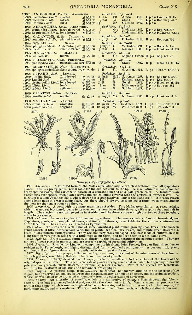 t*1921. ANGR^'CUM. Pet. Th. Angr^cum 12973 maculatum Lindl. spotted £ 23 pr 12979 falcatum Lindl, falcate £ 23 pr 12980 Kiridum Lindl. lurid £ 23 pr 1922. AERAN'THES. Lindl. Aeranthes. 12981 grandiflora Lindl. large-flowered £ 23 or 12982 sesquipedalis Lindl. long-homed £ 23 spl 1923. CALAN'THE R.Br. Calanthe. 12983 veratrifolia R. Br. plaited-leaved £ 23 or 1924. STE'LIS. Sui. Stelis. 12984 ophioglossoidesW. Adder's-tong -lv. £ 23 cu 12985 micrantha W. small-flowered £ 23 cu 1925. MALAX'IS. L. Malaxis. 12986 paludosa W. marsh ^ A do 1926. PRESCO'TIA. Lindl. Prescotia. 12987 plantaginea LirJI. plantain-leaved £ (23 cu 1927. MICRO'STYLIS. Nutt. MlCROSTYlls. 12988 ophioglossoidesWSnake's-tongue-lv.^; A de 1928. LIPARIS. Rich. Liparis. 12989 litiifolia Rich. Lily-leaved ^ A pr 12990 Loeselii Rich. Loesel's ^ A cu 12991 bituberculataLmrf/. long-leaved £ 23 cu 12992 foliosa Lindl. leafy £ 23 cu 12993 reSexa Lindl. reflexed £ 23 cu OrchidetS. o.n Pk Sn.d W Br Orchidece. \ G.y Sp. 3—41. Africa China S. Leone Sp. 2—3. Madagasc 1823. 1819. 1815. 1822. W Madagasc. 1823. Orchidece. jn.jl W Orchidece. my.jn G n.d G Orchidece. jl Y.G Orchidece. G Sp. 1—7. E. Indies 1819. 5/). 2—10. W. Indies 1791 Jamaica 1805. Sp. 1—3. England tur.bo. Sp. 1—2. Brazil 1822. Orchidece. Sp. 1—2. jl Y.o N. Amer. 1824. Orchidece. Sp. 5—9. jn.jl G.Pu N. Amer. 1758. £jl Y England sa.ma. jl G Nepal 1822. | au G Isl. France 1823. au G N. Holl 1824. 1929. CALYP'SO. Salisb. Calypso. 12994 borealis Salisb. northern 1930. VANIL'LA Sw. Vanilla. 12995 aromatica H. K. aromatic 12996 planifolia H. K. fragrant i297y Orchidece. Sp. 1—2. ik A pr i my.jn Y.R N. Amer. 1805. Orchidece. Sp. 2—3. jn.au W S. Amer. 1739. ap.jn W W. Indies 1800. 12983 D p.r.w Lindl. coll. 15 D p.rwBot. mag. 207 D p.r.w D p.r.w Bot. reg. 817 D p.r.w P.Th.or.afr.t.66 R p.l Bot. reg. 720 D p.r.w Bot. cab. 442 D p.r.w Hook. ex. fl. 158 R p.s Eng. bot. 72 R p.l Hook. ex. fl. 115 R p.s Plu.am. t.434.f.4 R p.s Bot. mag. 2004 R p.s Eng. bot. 47 Dpr.wHook. ex. fl. 116 D p.r.w Bot. reg. 882 D p.r.w R s.p Hook. ex. fl. 12 C p.l Plu. ic.183.1.188 C p.l Bot. cab. 733 12984. 12986 History, Use, Propagation, Culture, 1921. AngrcBcum. A latinized form of the Malay appellation angrec, which is bestowed upon all epiphytous plants. This is a pretty genus, remarkable for the distinct spur to the lip. A. maculatum has handsome flat fleshy spotted leaves, and varies with flowers of a delicate pink and of a pale green color. A luridum is an exceedingly rare species, with plaited leaves and conical bulbs covered with the vestiges of former leaves. A. falcatum is a little Japanese plant, whose flower has a spur nearly as long as the plant itself. It is easily grown among loose moss in a warm damp place, but there should always be some bits of rotten wood mixed among the moss for the tender roots to adhere to. 1922. Aeranthes. A word with the same meaning as Aerides. Fine Madagascar plants. A. sesquipedalis, which has not yet bio' somed, bears in its own country very large white flowers, with a spur a foot and half in length. The species r.re not caulescent as in Aerides, and the flowers appear singly, or two or three together, not in long racemes. 1923. Calanthe. Fr im xxXos, beautiful, and avSo;, a flower. The genus consists of robust terrestrial, not epiphytous, plants, wi h long plaited leaves, and fine white flowers, remarkable for the curious conformation of the labellum. The/ are easily cultivated as Cymbidium. 1924. Stelis. This was the Greek name of some parasitical plant found growing upon trees. The modern genus consists of little inconspicuous West Indian plants, with solitary leaves, and minute green flowers dis- posed in long filiform axillary spikes. They are not very easily managed ; the best mode of cultivation is to plant them in very rotten wood with a little moss about them, and to keep them in a hot damp stove. 1925. Malaxis. From ^icsX«|<?, softness, in allusion to the delicate texture of the genuine species. They are natives of moist places in marshes, and are scarcely capable of successful cultivation. 1926. Prescotia. So called by Lindley in compliment to his friend John Prescot, Esq., an English gentleman resident at St. Petersburgh, and highly distinguished for his botanical acquirements. A curious little plant, with long spikes of green flowers. It is easily cultivated in peat and sand. 1927. Microstylis. From fjuxtm, little, and irrvXo;, a column, on account of the minuteness of the columna. Little bog plants, resembling Malaxis in habit and manner of growth. 1928. Liparis Probably derived from Xixcteos, unctuous, in allusion to the surface of the leaves of the original species, L. Loeselii. This genus consists of plants varying somewhat in habit, but agreeing in having pale green or greenish purple flowers, in terminal spikes or racemes. Part of the species are terrestrial, requiring the treatment of Malaxis ; the remainder are epiphytes. 1929. Calypso. A poetical name, from xaXvrrai, to conceal; not merely alluding to the covering of the stigma, but preserving an analogy between this botanical beauty, so difficult of access, and the secluded goddess, whose isle was fabled to be protected miraculously from the observation of navigators. 1930. Vanilla. An alteration of vaynilla, which is a diminutive of vaina, a Spanish word, signifying a sheath. The fruit is a long cylindrical pod, very like the sheath of a knife. Vanilla aromatica produces the fruit of that name, which is used in England to flavor chocolate, and in Spanish America for that purpose, for perfuming snuff's, and as a medicine. The Spaniards have three different sorts, which they distinguish in coin-