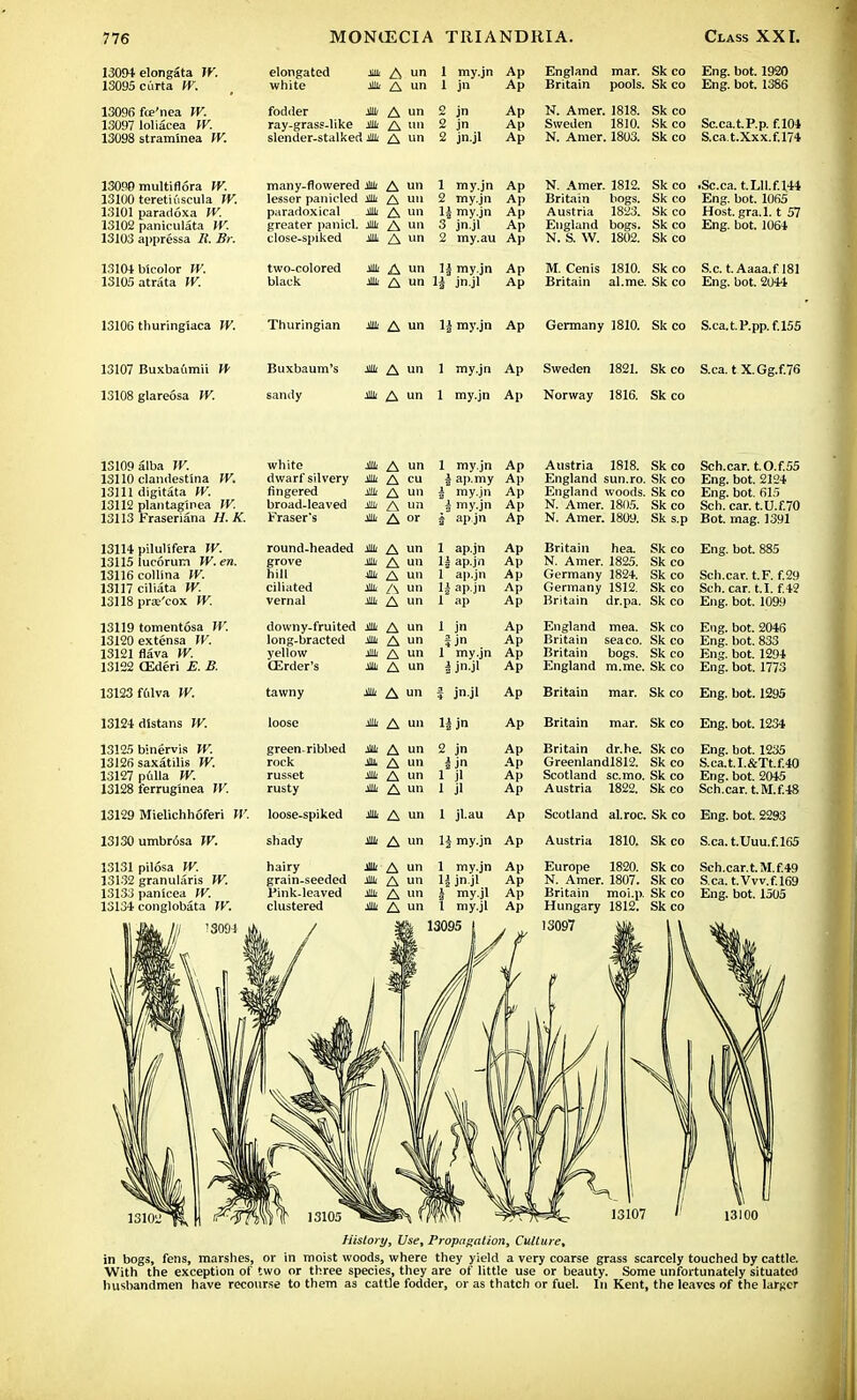 13094- elongata IV, elongated m A un 1 my.jn Ap England mar. Sk co louyo curtd. w. white ibiii i jn An sip Britain pools. Sk co 13096 fce'nea W. fodder Mi A un a jn Ap N. Amer. 1818. Sk co 13097 loliacea W. ray-grass-like Mi A un 2 jn Ap Sweden 1810. Sk co 13098 stram'mea W. slender-stalked * A un 2 jn.jl Ap N. Amer. 1803. Sk co S.ca.t.Xxx.f.174 13090 multiflora W. 13100 teretiuscula W. 13101 paradoxa W. 13102 paniculata W. 13103 appressa li. Br. 13104 btcolor W. 13105 atrata IV. 13106 thuringiaca W. many-flowered * A un 1 my.jn Ap lesser panicled * A uu 2 my.jn Ap paradoxical Mi A un 1| my.jn Ap greater panicl. Mi A un 3 jn.jl Ap close-spiked ptti auuAiLtii Jim /\ greater panicl. Mi A 1111 ° J-Jl AP ^\nca cuiL-oH illt A un 2 my.au Ap two-colored Mi A un 1| my.jn Ap black * A un 1| jn.jl Ap Thuringian * A un 1| my.jn Ap N. Amer. 1812. Sk co Britain bogs. Sk co Austria 1823. Sk co England bogs. Sk co N. S. W. 1802. Sk co .Sc.ca. t.Lll.f.144 Eng. bot. 1065 Host.gra.l. t 57 Eng. bot. 1064 M. Cenis 1810. Sk co S.c. t. Aaaa.f 181 Britain al.me. Sk co Eng. bot. 2041 Germany 1810. Sk co S.ca.t.P.pp.f.155 13107 Buxbaumii W 13108 glareosa W. Buxbaum's * A un 1 my.jn Ap sandy Mi A un 1 my.jn Ap Sweden 1821. Sk co S.ca. t X. Gg.f.~6 Norway 1816. Sk co 13109 alba JV. white A un 1 my.jn Ap Austria 1818. Sk co Sch.car. t.O.f.55 13110 clandest'ma IV. dwarf silvery A cu j ap.my Ap England sun.ro. Sk co Eng. bot. 2124 13111 digitata W. fingered Ml A un x my.jn Ap England woods. Sk co Eng. bot. 615 13112 plantaginea IV. broad-leaved Mi A un my.jn Ap N. Amer. 1805. Sk co Sch.car.t.U.f.70 13113 Fraseriana H. K. Eraser's Mi A or apjn Ap N. Amer. 1809. Sk s.p Bot. mag. 1391 13114 pilulifera IV. round-headed M A un 1 ap.jn Ap Britain hea. Sk co Eng. bot. 885 13115 lucorum W. en. grove Mt A un 1| ap.jn Ap N. Amer. 1825. Sk co 13116 collina W. hill Mi A un 1 ap.jn Ap Germany 1824. Sk co Sch.car. t.F. f.29 13117 ciliata W. ciliated J!lL A un U ap.jn Ap Germany 1S12. Sk co Sch. car. t.I. f.42 13118 pra;'cox W. vernal Ml A un 1 ap Ap Britain dr.pa. Sk co Eng. bot. 1099 13119 tomentosa W. downy-fruited Mi A un 1 jn Ap England mea. Sk co Eng. bot. 2046 13120 extensa IV. long-bracted Mi A un jn Ap Britain seaco. Sk co Eng. bot. 833 13121 flava W. yellow Mi A un 1* my.jn Ap Britain bogs. Sk co Eng. bot. 1294 13122 CEderi E. B. CErder's in A un J jn.jl Ap England m.me. Sk co Eng. bot. 1773 13123 fCilva W. tawny Mi A un jn.jl Ap Britain mar. Sk co Eng. bot. 1295 13124 dlstans W. loose Mi A un jn Ap Britain mar. Sk co Eng. bot. 1234 13125 binervis W. green-ribbed Mi A un 2 jn Ap Britain dr.he. Sk co Eng. bot. 1235 13126 saxatilis W. rock M, A un i jn Ap Greenlandl812. Sk co S.ca.t.I.&Tt.f.40 13127 pulla W. russet Mi A un 1* jl Ap Scotland sc.mo. Sk co Eng. bot. 2045 13128 ferruginea TV. rusty Mi A un 1 jl Ap Austria 1822. Sk co Sch.car. tM.fi 48 13129 Mielichhoferi W. loose-spiked Mi A un 1 jl.au Ap Scotland al.roc. Sk co Eng. bot. 2293 13130 umbrisa IV. shady Mi A un 11 my.jn Ap Austria 1810. Sk co S.ca.t.Uuu.f.165 13131 pilosa IV. hairy Mi A un 1 my.jn Ap Europe 1820. Sk co Sch.car.t.M.f.49 13132 granulans W. grain-seeded Mi A un H jn.jl Ap N. Amer. 1807. Sk co S.ca. t.Vvv.f.169 13133 panicea W. Pink-leaved Ml A un i my.jl Ap Britain moi.p. Sk co Eng. bot. 1505 13134 conglobata W. clustered Mi A un l my.jl Ap Hungary 1812. Sk co History, Use, Propagation, Culture, in bogs, fens, marshes, or in moist woods, where they yield a very coarse grass scarcely touched by cattle. With the exception of two or three species, they are of little use or beauty. Some unfortunately situated husbandmen have recourse to them as cattle fodder, or as thatch or fuel. In Kent, the leaves of the larger