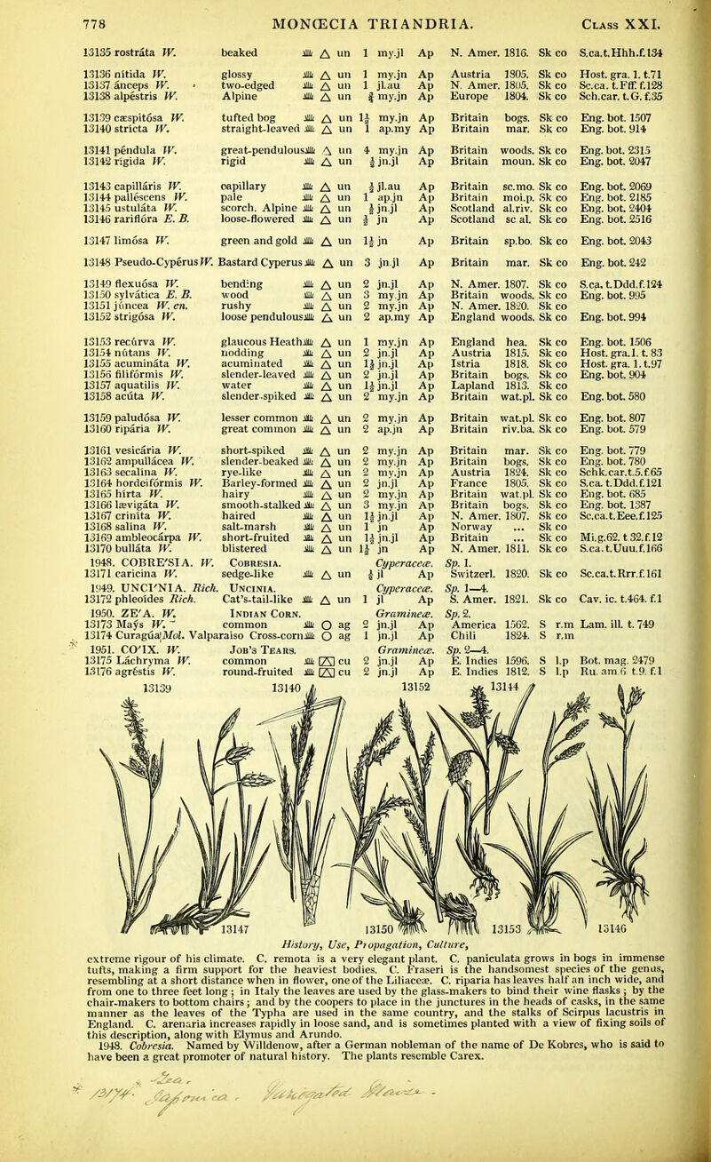 13135 rostrata W. beaked * A un 1 my.jl Ap N. Amer. 1816. Sk co S.ca.t.Hhh.f.134 13136 nitida W. 13137 anceps W. 13138 alpestris W. glossy * A two-edged * A Alpine * A un un un 1 my.jn 1 jl.au | my.jn Ap Ap Ap Austria 1805. N. Amer. 1805. Europe 1804. Sk co Skco Sk co Host. gra. 1.1.71 Sc.ca. t.Fff:f.l28 ocn.car. t.(j. t.oo 13139 caEspitosa W. tufted bog * A St I 3.S J-S! 11- 1 Ci t VC( i JkUlf ^\ un H 1 my.jn ap.my Ap An Britain Britain bogs, mar. Sk co Eng. bot. 1507 Hillg. IMH. .'Jt 13141 pendula fK. 13142 rigida W. great-pendulous* <^ rigid * A un un 4 1 i my.jn jn.jl Ap Ap Britain Britain woods, moun. Sk co Sk co Eng. bot. 2315 Eng. bot. 2047 13143 capillans IV. 13144 pallescens W. 13145 ustulata IV. 13146 rariflora E. B. capillary * A pale * A scorch. Alpine * A loose-flowered Mi A un un un un |jl.au 1 ap.jn 1 jn.jl i jn Ap Ap Ap Ap Britain Britain Scotland Scotland sc.mo. moi.p. al.riv. seal. Sk co Sk co Sk co Sk co Eng. bot. 2069 Eng. bot. 2185 Eng. bot. 2404 Eng. bot. 2516 13147 limosa W. green and gold * A un li jn Ap Britain sp.bo. Sk co Eng. bot. 2043 13148 Pseudo-CyperusW. Bastard Cyperus Mi A un 3 jn.jl Ap Britain mar. Sk co Eng. bot. 242 13149 flexuosa W. 13150 sylvatica .E. B. 13151juncea W.en. 13152 strigosa W. bending * A wood * A rushy Mt A loose pendulous* A u n un un un 2 3 2 2 jn.jl my.jn my.jn ap.my Ap Ap Ap Ap N. Amer. 1807. Britain woods. N. Amer. 18-20. England woods. Sk co Sk co Sk co Sk co S.ca. t.Ddd.f.124 Eng. bot. 995 Eng. bot. 994 13153 recirva W. 13154 nutans W. 13155 acuminata W. 13156 filiformis W. 13157 aquatilis IV. 13158 acuta W. 13159 paludosa W. 13160 riparia W. glaucous Heath* A un nodding * A un acuminated * A un slender-leaved * A un water Mi A un slender-spiked * A un lesser common * A un great common * A un 13161 13162 13163 13164 13165 13166 13167 13168 13169 13170 1948, 13171 1949. 13172 1950. 13173 13174 1951, 13175 13176 vesicaria W. ampullacea W, secalina W. hordeiformis W. hlrta W. laevigata W. crinita W. salina W. ambleocarpa W. bullata W. COBRE'SIA. W. raricina W. UNCI'NIA. Rich. short-spiked * slender-beaked * rye-like * Barley-formed * hairy * smooth-stalked Mi haired * salt-marsh * short-fruited * blistered * COBRESIA. sedge-like Uncinia * phleoldes Rich. Cat's-tail-like * ZE'A. W. Indian Corn. Mays W. common * CuraguaiAZbl. Valparaiso Cross-corn* CO'lX. W. Job's Tears. Lachryma W. common * agrestis W. round-fruited * 13139 13140 A un A un A un A un A un A un A un A un A un A un A un A un O ag O ag 123 eu 1A1 cu 1 my.jn Ap England hea. Sk co 2 jn.jl Ap Austria 1815. Sk co lj jn.jl Ap Istria 1818. Sk co 2 jn.jl Ap Britain bogs. Sk co 1) jn.jl Ap Lapland 1813. Sk co 2 my.jn Ap Britain wat.pl. Sk co 2 my.jn Ap Britain wat.pl. Sk co 2 ap.jn Ap Britain riv.ba. Sk co 2 my.jn Ap Britain mar. Sk co 2 my.jn Ap Britain bogs. Sk co 2 my.jn Ap Austria 1824. Sk co 2 jn.jl Ap France 1805. Sk co 2 my.jn Ap Britain wat.pl. Sk co 3 my.jn Ap Britain bogs. Sk co 11 jnjl Ap N. Amer. 1807. Sk co 1 jn Ap Norway Sk co 11 jn.jl Ap Britain Sk co 1| jn Ap N. Amer. 1811. Sk co CyperacecE, Sp. 1. j jl Ap Switzerl. 1820. Sk co CvperaceiB. Sp. 1—4. 1 jl Ap S. Amer. 1821. Sk co Graminece. Sp.2. o jn.jl Ap America 1562. S r.m 1 jn.jl Ap Chili 1824. S r.m GraminecE. Sp.'2~A. 2 jn.jl Ap E. Indies 1596. S l.p 2 jn.jl Ap E. Indies 1812. S l.p 13152 jj, 13144 a Eng. bot. 1506 Host. gra. 1.1. 83 Host. gra. l.t.97 Eng. bot. 904 Eng. bot. 580 Eng. bot. 779 Eng. bot. 780 Schk.car.t.5.f.65 S.ca. t.Ddd.f.121 Eng. bot. 685 Eng. bot. 1387 Sc.ca. t.Eee.f.125 Mi.g.62. t32.f.l2 S.ca.t.Uuu.f.166 Sc.ca. t.Rrr.f.161 13147 — 13150 HW. H1W 13153 ^feS^ ' 13146 History, Use, Propagation, Culture, extreme rigour of his climate. C. remota is a very elegant plant. C. paniculata grows in bogs in immense tufts, making a firm support for the heaviest bodies. C. Fraseri is the handsomest species of the genus, resembling at a short distance when in flower, one of the Liliacea?. C. riparia has leaves half an inch wide, and from one to three feet long; in Italy the leaves are used by the glass-makers to bind their wine flasks ; by the chair-makers to bottom chairs; and by the coopers to place in the junctures in the heads of casks, in the same manner as the leaves of the Typha are used in the same country, and the stalks of Scirpus lacustris in England. C. arenaria increases rapidly in loose sand, and is sometimes planted with a view of fixing soils of this description, along with Elymus and Arundo. 1948. Cobresia. Named by Willdenow, after a German nobleman of the name of De Kobrcs, who is said to have been a great promoter of natural history. The plants resemble Carex.