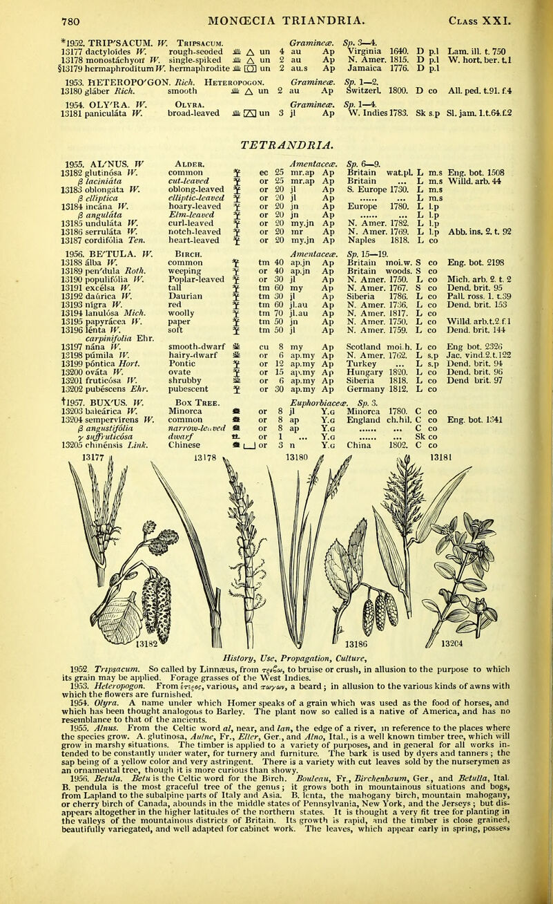 *1952. TRIP'SACUM. W. Tripsacum. Graminece. Sp. 3—4. 13177 dactyloides IV. rough-seoded M A un 4 au Ap Virginia 1640. D p.l Lam. ill. t. 750 13178 monostachyoir W. single-spiked * A un 2 au Ap N. Amer. 1815. D p.l W. hort. ber. t.1 §13179 hermaphroditum IV. hermaphrodite * O un 2 au.s Ap Jamaica 1776. D p.l 1953. HETEROPO'GON. Rich. Heteropogon. Graminece. Sp. 1—2. 13180 glaber Rich. smooth * A un 2 au Ap Switzerl 1800. D co All. ped. tSL f.4 1954. OLY'RA. W. Olyra. Graminece. Sp. 1—4. 13181 paniculata IV. broad-leaved Jli 23 un 3 jl Ap W. Indies 1783. Sk s p SI. jam. l.t.64.f.2 1955. AL'NUS. IV 13182 glutinosa W. lacinidta 13183 oblongata W. fB clliptica 13184 incana W. 0 anguldta 13185 undulata W. 13186 serrulata W. 13187 cordifolia Ten. 1956. BE'TULA. W. 13188 alba W. 13189 pen'dula Roth. 13190 populifulia W. 13191 excelsa W. 13192 daurica W. 13193 nigra W. 13194 lanulusa Mich. 13195 papvracea W. 13196 lenfa W. carpinifulia Ehr. 13197 nana W. 13198 pumila TV. 13199 pontica Hort. 13200 ovata TV. 13201 fruticosa W. 13202 pubescens Ehr. tl957. BUX'US. W. 13203 balearica TV. 13204 sempervirens TV. (3 angustifolia y sttffruticosa 13205 chincnsis Link. TE TR ANURIA. Alder. Amentacete. Sp. 6—9. common i ec 25 mr.ap Ap Britain wat.pL L m.s Eng. bot. 1508 cut-leaved or 25 mr.ap Ap Britain L m.s Willd. arb. 44 oblong-leaved J or 20 jl Ap S. Europe 1730. L m.s elliptic-lea ved or 20 jl Ap L m.s hoary-leaved r or 20 jn Ap Europe 1780. L l.p Elm-leaved X or 20 jn Ap L l.p curl-leaved T or 20 my.jn Ap N. Amer. 1782. L l.p notch-leaved or 20 mr Ap N. Amer. 1769. L l.p Abb. ins. 2. t. 92 heart-leaved L 20 my.jn Ap Naples 1818. L co Birch. Amentacete. Sp. 15—19. common tm 40 ap.jn Ap Britain moi.w. S co Eng. bot. 2198 weeping or 40 ap.jn Ap Britain woods. S co Poplar-leaved or 30 jl Ap N. Amer. 1750. L co Mich. arb. 2. t. 2 tall tm 60 my Ap N. Amer. 1767. S co Dend. brit. 95 Daurian tm 30 jl Ap Siberia 1786. L co Pall. ross. 1.1.39 red tin 60 jl.au Ap N. Amer. 1736. L co Dend. brit. 153 woolly tm 70 jl.au Ap N. Amer. 1817. L co paper tm 50 jn Ap N. Amer. 1750. L co Willd. arb.t.2.f.l soft tm 50 jl Ap N. Amer. 1759. L co Dend. brit. 144 smooth-dwarf at eu 8 my Ap Scotland moi.h. L co Eng bot. 2326 hairy-dwarf m or 6 ap.my Ap N. Amer. 1762. L s.p Jac. vind.2.t.!22 Pontic or 12 ap.my Ap Turkey L s.p Dend. brit. 94 ovate or 15 ap.my Ap Hungary 1820. L co Dend. brit. 96 shrubby or 6 ap.my Ap Siberia 1818. L CO Dend brit. 97 pubescent 1 or 30 ap.my Ap Germany 1812. L co Box Tree. Minorca common nai'row-lcaved dwarf Chinese *t or 8 jl * or 8 ap * or 8 ap tt- or * 1 | or 3 n ' 13180 Euphorhiacece. Sp. 3. Y.G Y.G Y.G Y.G Y.G Minorca 1780. C co England ch.hil. C co C co Sk co China 1802. C co Eng. bot. 1341 13181 History, Use, Propagation, Culture, 1952 Tripsacum. So called by Linnasus, from t^iZu, to bruise or crush, in allusion to the purpose to which its grain may be applied. Forage grasses of the West Indies. 1953. Heteropogon. From et-^oj, various, and rruym, a beard ; in allusion to the various kinds of awns with which the flowers are furnished. 1954. Olyra. A name under which Homer speaks of a grain which was used as the food of horses, and which has been thought analogous to Barley. The plant now so called is a native of America, and has no resemblance to that of the ancients. 1955. Alnus. From the Celtic word al, near, and lan, the edge of a river, in reference to the places where the species grow. A. glutinosa, Aulne, Fr., Eller, Ger., and Alno, Ital., is a well known timber tree, which will grow in marshy situations. The timber is applied to a variety of purposes, and in general for all works in- tended to be constantly under water, for turnery and furniture. The bark is used by dyers and tanners ; the sap being of a yellow color and very astringent. There is a variety with cut leaves sold by the nurserymen as an ornamental tree, though it is more curious than showy. 1956. Betula. Betu is the Celtic word for the Birch. Bouleau, Fr., Birchenhaum, Ger, and Betulla, Ital. B. pendula is the most graceful tree of the genus; it grows both in mountainous situations and bogs, from Lapland to the subalpine parts of Italy and Asia. B. lenta, the mahogany birch, mountain mahogany, or cherry birch of Canada, abounds in the middle states of Pennsylvania, New York, and the Jerseys ; but dis- appears altogether in the higher latitudes of the northern states. It is thought a very fit tree for planting in the valleys of the mountainous districts of Britain. Its growth is rapid, and the timber is close grained, beautifully variegated, and well adapted for cabinet work. The leaves, which appear early in spring, possess