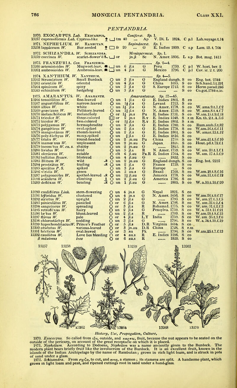 PENTANDRIA. 1970. EXOCAR'PUS. Lab. Exocarpus. Coniferce. Sp. 1. 13257 cupressiformis Lab. Cypress-like Ji ] tm 40 ... Ap V. Di. L 1824. C p.l Lab.voyage.t.14 1971. NEPHE'LIUM. IV. Rambutan. 13258 lappaceum W. Bur-seeded f □ fr 1972. SCHIZAN'DRA. W. Schizandra. 13259 cocclnea W. scarlet-flower'd !U i | or St Sapindacece. ... G Sp. 1. E. Indies 1809. 1973. FRANZE'RIA. 13260 artemisioides IV. 13261 ambrosioides W. Cav. Franzeria. Mugwort-leav. « i | un Ambrosia-leav. * |__) un 1974. XAN'THIUM. W. Xanthium. 13262 Strumarium IV. Small Burdock 13263 orientale IV. oriental 13264 spinosum IV. spiny 13265 echinatum W. hedgehog 1975. AMARAN'TUS. 13266 tenuitolius W. 13267 angustifolius W. 13268 albus IV. 13269 gra:cizans IV. 13270 melancholicus W. 13271 tricolor W. 13272 bicolor W. 13273 polygamus IV. 13274 gangeticus IV. 13275 mangostanus IV. 13276 poly^tachyus W. 13277 tristis W. 13278 inamoe nus IV. 13279 incom'tus IV. en. s. 13280 lividus W. 13281 oleraceus IV. 13282 bullatus Besser. 13283 BHtum W. 13284 prostratus W. 13285 spicatus P. S. 13286 viridis W. 13287 polygonoides W. 13288 scandens IV. 13289 deflexus IV. IV. Amaranth. fine-leaved narrow-leaved white Pellitory-leaved melancholy three-coiored two-colored hermaphrodite oval-spiked rhomb-leaved manyrspiked round-headed unpleasant shabby livid eatable blistered wild -* trailing spiked green 6potted-leaved -4 climbing t bending -* O un O un O un O un O un O un O un O un O or ID] or O or O un O un O un O un O un O un O un O un O clt O un O un O un O un O un O un O un O un Menispermece. Sp. 1. jn.jl Sc N. Amer. 1806. Sp. 2—4. 6 jl.s G Peru 1759. 4 jl.s G Mexico 1796. ..... Sp. 4—5. England dungh. China 1685. S. Europe 1713. 3 jl.s 4 jl.s 3 jl.s 3 jl.s Amarantacea. Sp. 37—45. jl-s jls jl.s jn.s jn.s jl-s jl.s jl.s jl.s jl-s jn.au jn.au jn.au jls jl.au jl.au jn.au jl.s jl-s au.s jl.au jl.au jl.au G G G G Pu R.v R.Y G G G G Pu G G R E. Indies 1801. Levant 1723. N. Amer. 1778. N. Amer. 1759. E. Indies 1731. E. Indies 1548. E. Indies 1802. E. Indies 1780. E. Indies 1778. E. Indies 1801. E. Indies 1816. China 1759. Japan 1820. ...... 1823. N. Amer. 1759. Pa.R E Indies 1764. 1822. England dungh. France 1739. Europe Brazil 1768. Jamaica 1778. America 1796. 1805. c s.p Lam. ill. t. 764 L s.p Bot mag. 1413 C p.l W. hort. ber. 2 c p.l Cav. ic. 2. t. 200 s CO Eng. bot. 2544 s CO Sch.hand.3.t.291 s CO Herm parad.246 s CO Co.got.1784c.ic. s CO s CO s CO w. ama.y.t.i.i.x s CO w. ama.o.t.4.i.7 s CO W. am. 15. t. 9. f. 18 s r.m Kn. th.2.t.A.3.6 s r.m s CO Rum. amb. 5. t. 82 s CO W.am.l6.t.6.f.ll s CO W. amar.!3.t.l2 s CO W am -51 *■ 5 f 10 ' * .dlll.i 1. 1. ' 1 . i\J s CO Hout.pfl.t.72.f.l s CO s CO W. am.20.t.l.f.l s CO W. am. 17.t.5.f.9 s CO s CO Eng. bot. 2212 s CO s CO s CO W.am.l8.t.8.f.I6 s CO W.am.ll.t.6.f.l2 s CO s CO W. a.l0.t.l0.f.20 13290 caulifl6rus Link. stem-flowering O un 13291 h^bridus IV. clustered O un 13292 strictus IV. upright O un 13293 paniculatus IV. panicled O or 13294 sanguineus IV. spreading O or 13295 retroflexus IV. hairy O un 13296 te'tus IV. blunt-leaved O un 13297 flavus W. pale O or 13298 chlorostachys W. nodding O un 13299 hypochondriacus W. Prince's Feather O or 13300 cruentus IV. various-leaved O or 13301 hecticus W. oval-leaved O or 13302 cauditus IV. Love lies bleeding O or /3 maximus tree O or 4 jn.s G Nepal 1821. S co 4 jn.s G N. Amer. 1656. S co W.am.26.t.9.f.l7 2 jl.s G 1793. S co W. am.27.t.3.f.5 6 jl.s G N. Amer. 1798. S co VV. am.32.t.2.f.4 3 jl.s R Bahamal. 1775. S co W. am.31.t.2.f.3 2 jl.s G Pensylva. 1759. S co W. a. 33.tllf.21 2 jl.s R 1799. S co W.am.28.t.8.f.l5 4 jl.s L.Y India 1759. S CO W. am. 35.t3.E6 3 jl.s G 1796. S co W.a.34.t.l0.f.l9 5 jl.s D.R Virginia 1684. S co . 3 jn.au D.R China 1728. S r.m 3 au Pk 1796. S co W.am.25.t.7.f 13 4 au.s R E. Indies 1596. S co 6 au.s R 1820. S co History, Use, Propagation, Culture, 1970. Exocarpus. So called from ifa, outside, and xa$*oi, fruit, because the nut appears to be seated on the outside of the pericarp, on account of the great receptacle on which it is placed. 1971. Nephelium. According to Dodoens, Nephelion was a name anciently given to the Burdock. The modern plant bears bristly fruit like the involucrum of the Burdock. It is an excellent fruit, known in the islands of the Indian Archipelago by the name of Rambutan ; grows in rich light loam, and is struck in pots of sand under a glass. 1972. Schixandra. From <r£i?«, to cut, and uvnt, a stamen ; its stamens are split. A handsome plant, which grows in light loam and peat, and ripened cuttings root in sand under a hand-glass.