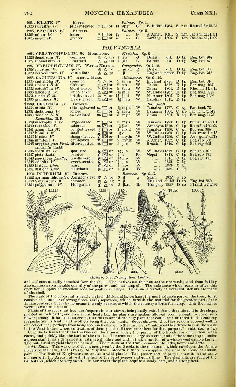 1984. E'LATE. W. Elate. Palmce. Sp. 1. 13323 sylvestris IV. prickly-leaved f l~lor 14 ap.jn G E. Indies 17C3. S r.m Rh.mal.3.t.22.25 1985. BAC'TRIS. W. Bactris. Palmce. Sp. 2. 13324 minor IV. ' lesser £ O or 12 ... G S. Amer. 1691. S r.m Jac.am. t.171. f.l 13325 major IV. greater ± CJ or 25 ... G Carthag. 1800. S r.m Jac.am. t.171. £2 1986. 13326 13327 1987. 13328 13329 1988. 13330 13331 13332 13333 13.334 13335 t!9S9 13336 13337 13338 13339 13340 13341 13342 133-43 13344 13345 13346 13347 13348 13349 13350 13351 1990. 13352 13353 13354 POL YANDRI A CERATOPHYL'LUM. IV. Hornwort. Fluviales. demersum IV. common * A »» submersum W. unarmed =fc A un MYRIOPH YL'LUM. W. Water Milfoil. spicatum IV. spiked =fe A V1 verticillatum IV. verticillate =fe A pr SAGITTA'RI A. IV. Arrow-Head. sagittifulia IV. sinensis B M. obtusifolia IV. lancifolia W. rigida B. M. graminea IV. . BEGO'NI A. IV. nitida W. dichotoma IV. discolor H. K. Evansidna B. R. macrophylla W. tuberosa W. acuminata IV. humilis W. hirsftta W. ulmifolia W — A or 11 jn.jl * iAJ or li jl.au common =fe A or Chinese =fc iAJ or blunt-leaved i (23 °r lance-leaved =fc lAJ or brittle-leaven Grass-leaved Begonia. shining-leaved tt- □ or forked a. I I or two-colored tt- □ or large-leaved tt. CD or tuberous tt. (23 or pointed-leaved «- □ or small £ O] or shaggy-leaved ]£ O] or 1 jl.s 1 jl.s Onagrarics. 1 jn.au R 1 jl G Alismacete 2 jn.au W 2 s.n W 2 jl.au W lj jn.jl 1| my.d 2 jl.au 3 my.s 3 my.s J jl.s 1 my.d f ° 1 my.jn 2 my.jn 3 jl.o c!m-leaved tt. □ or argyrostigma Fisch. silver-spotted tt. □ or maculata liaddi spatulata IV. spatulate £ [23 or lJjLo picta Lodd. painted ]£ (23 or | s pauciflora Lindley few-flowered [23 or l^ jl.o odorata W. sweet-scented H (23 or \\ jl.o hirtella Link. hairy jg (23 or 1 jl.o disticha Link. distichous £ (23 or POTE'RIUM. IV. Burnet. agrimonifoliumCflf. Agrimony-lvd. ]£ A pr Sanguisorba IV. common jf A ag polygamum IV. Hungarian A or 13324 W w w w w \v vv w w w w Pk VV \v w 1 jl.o W Rosacea. 3 jl G 2 jl G 3 jl.au Br Sp. 2— Britain dit D Britain dit. D , Sp 2—5. Britain dit. D England ponds. D Sp. 6—16. England rivers. D China 1812. D China 1804. D W. Indies 1787. D N. Amer. 1806. D Carolina 1812. D .. Sp. 16—38. Jamaica 1777. C Caraccas 1800. C China 1804. R Jamaica 1793. C Amboyna 1810. C Jamaica 1790. C W. Indies 1788. C W. Indies 1789. C S. Amer. 1822. C Brazils 1819. C W. Indies 1819. C Nepal 1818. C 1816. C 1824. C 1824. C 1824. C Sp. 6—7. Spain 1822. S England ch.hil. D Hungary 1803. D 13326 Eng. bot. 947 Eng. bot. 679 Eng. bot. 83 Eng. bot. 218 Eng. bot. 84 Bot. mag. 1631 Rhe.mal.ll. Lis Bot. mag. 1792 Bot. mag. 1632 Par. lond. 72 Jac. ic. 3. t. 619 Bot. mag. 1473 Plu.ic.34.t45. f.l R.am.5. t.169. f.2 Bot. reg. 364 Lin. trans.1.1.15 Aub. gui.2. t.348 Bot. cab. 638 Bot. reg. 666 Bot. cab. 107 Bot. cab. 571 Bot. reg. 471 Eng. bot. 860 Pl.rar.hu 2.U98 133285 History, Use, Propagation, Culture, and is almost as easily detached from the shell. The natives use this nut as their victuals; and from it they also express a considerable quantity of the purest and best lamp oil. The substance which remains after this operation, supplies an excellent food for poultry and hogs. Cups and a variety of excellent utensils are made of the shell. The husk of the cocoa nut is nearly an inch thick, and is, perhaps, the most valuable part of the tree; for it consists of a number of strong fibres, easily separable, which furnish the material for the greatest part of the Indian cordage ; but is by no means the only substitute which the country affords for hemp. This the natives work up with much skill. Plants of the cocoa nut tree are frequent in our stoves, being easily raised from the nuts sold in the shops, planted in rich earth, and on a moist heat; but the plants are seldom allowed room enough to come into flower; though it has been observed, that this is almost the only palm that could be cultivated in this country for perfecting its fruit; all the others being dioecious plants. Sweet observes, that they seldom succeed well in our collections ; perhaps from being too much exposed to the sun : he is  informed they thrive best in the shade in the West Indies, where cultivators of them plant tall trees near them for that purpose. (Bot. Cull. p. 42.) C. aculeata has a trunk the thickness of the human body ; the pinna; of the fronds are longer than in the cocoa, and prickly like the bark of the trunk. The fruit is as large as a crab, and of the same shape ; under a green skin it has a thin sweetish astringent pulp; and within that, a nut full of a white sweet eatable kernel. The nut is said to yield the true palm oil. The outside of the trunk is made into laths, bows, and darts. 1984. Elate. This was one of the names given by the Greeks to the membrane which envelopes the female flowers of the date ; that is to say, to its spatha. Modern authors have applied the word to a kind of Indian palm. The fruit of E. sylvestris resembles a wild plumb. The poorer sort of people chew it in the same manner with the Areca nut, with the leaf of the betel pepper and quick-lime. The elephants are fond of the fruit-stalks, which are very sweet. In our stoves the plants require a sandy loam, and a strong heat.