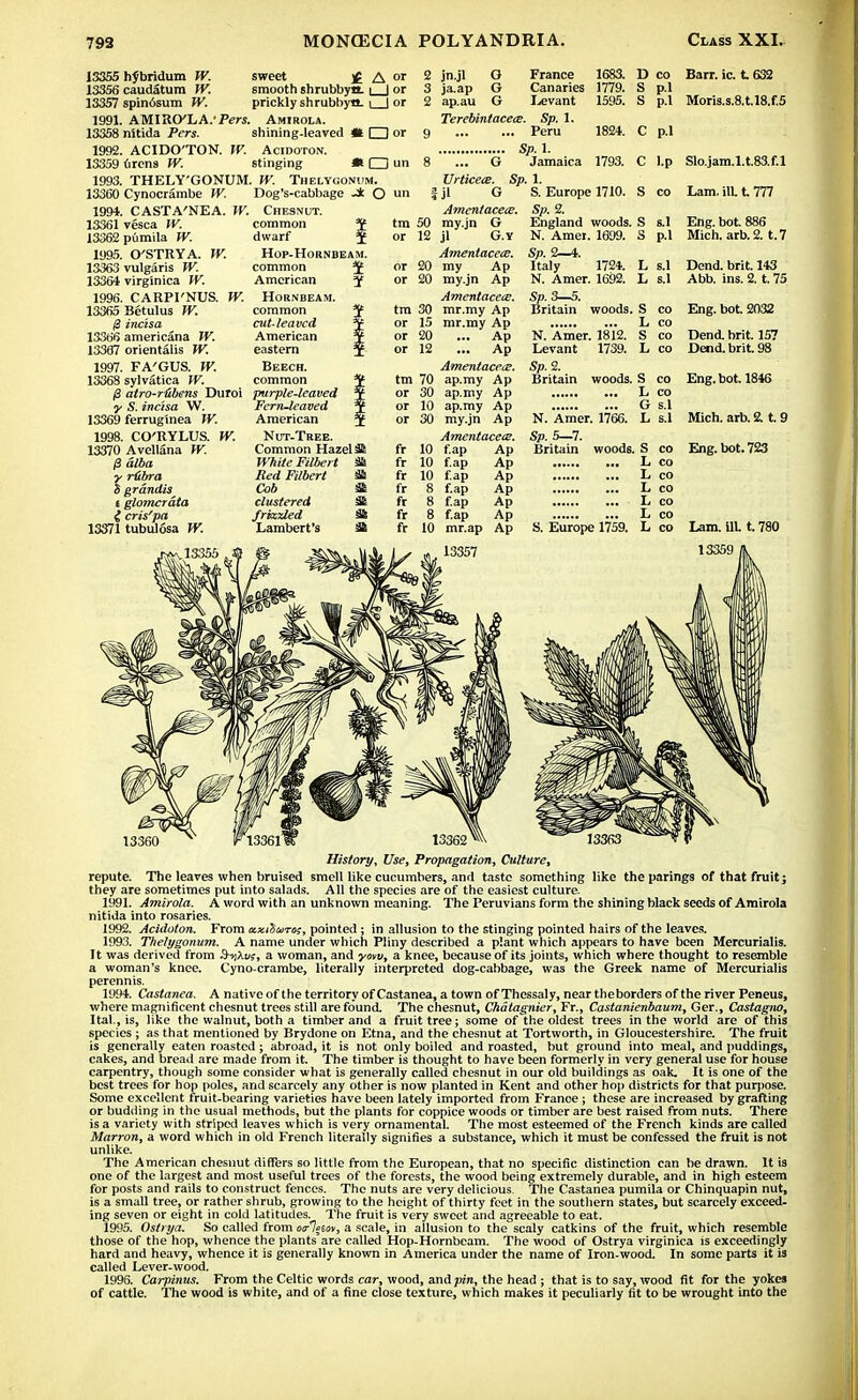 13355 hfbridum TV. 13356 caudatum TV. 13357 spin6sum TV. 1991. AMIRO'LA.' Pers. 13358 nKida Pers. 1992. ACIDO'TON. IV. 13359 urena TV. 1993. THELY'GONUM. 13360 Cynocrambe IV. 1991. CASTA'NEA. W. 13361 vesca TV. 13362 pumila TV. 1995. O'STRYA. TV. 13363 vulgaris TV. 13364 virginica TV. 1996. CARPI'NUS. TV. 13365 Bctulus W. (3 incisa 13366 americana TV. 13367 orientalis TV. 1997. FA'GUS. TV. 13368 sylvatica W. i3 atro-rtibens Duroi •y S. incisa W. 13369 ferrug'mea TV. 1998. CO'RYLUS. TV. 13370 Avellana W. P alba y rUbra S grdndis t glomcrdta i cris'pa 13371 tubulosa TV. sweet ]£ A or smooth shrubbyn. | | or prickly shrubbytl. i | or Amirola. shining-leaved Ht □ or Acidoton. stinging * □ uti TV. Thelygonum. Dog's-cabbage J: O un Chesnut. common dwarf Hop-Hornbeam. common $ American 3f Hornbeam. common Y cut-leaved J American ? eastern x Beech. common purple-leaved *t Fern-leaved t American 5 Nut-Tree. Common Hazels White Filbert 3& Red Filbert St Cob 3fc clustered & frizzled St Lambert's & 2 jn.jl O France 1683. 3 ja.ap G Canaries 1779. 2 ap.au G Levant 1595. Terebintacece. Sp. 1. 9 Peru 1824. Sp. 1. 8 ... G Jamaica 1793. Urticece. Sp. 1. un | jl G S. Europe 1710. Amentacece. Sp. 2. tm 50 my.jn G England woods, or 12 jl G.Y N. Amei. 1699. Amentacece. Sp. 2—4. or 20 my Ap Italy 1724. or 20 my.jn Ap N. Amer. 1692. Amentacece. Sp. 3—5. tm 30 mr.my Ap Britain woods. or 15 mr.my Ap or 20 ... Ap N. Amer. 1812. or 12 ... Ap Levant 1739. Amentacece. Sp. 2. tm 70 ap.my Ap Britain woods. or 30 ap.my Ap or 10 ap.my Ap or 30 my.jn Ap N. Amer. 1766. Amentacece. Sp. 5—7. fr 10 f.ap Ap Britain woods. fr 10 f.ap Ap fr 10 f.ap Ap fr 8 f.ap Ap fr 8 f.ap Ap fr 8 f.ap Ap fr 10 mr.ap Ap S. Europe 1759. 13357 D co S p.l S p.l C p.l C l.p S co S s.l S p.l L s.l L s.l Barr. ic. 1632 Moris.s.8.t.l8.f.5 Slo.jam.l.t.83.f.l Lam. ilL t 777 Eng. bot. 886 Mich, arb.2. t.7 Dend. brit. 143 Abb. ins. 2. t. 75 co Eng. bot. 2032 co co Dend. brit. 157 co Dend. brit. 98 co Eng. bot. 1846 Mich. arb. 2. t. 9 Eng. bot. 723 Lam. ill. t. 780 13360 History, Use, Propagation, Culture, repute. The leaves when bruised smell like cucumbers, and taste something like the parings of that fruit; they are sometimes put into salads. All the species are of the easiest culture. 1991. Amirola. A word with an unknown meaning. The Peruvians form the shining black seeds of Amirola nitida into rosaries. 1992. Acidoton. From axihwro;, pointed ; in allusion to the stinging pointed hairs of the leaves. 1993. Thelygonum. A name under which Pliny described a plant which appears to have been Mercurialis. It was derived from 3-y\vt, a woman, and ytnv, a knee, because of its joints, which where thought to resemble a woman's knee. Cyno crambe, literally interpreted dog-cabbage, was the Greek name of Mercurialis perennis. 1994. Castanea. A native of the territory of Castanea, a town of Thessaly, near theborders of the river Peneus, where magnificent chesnut trees still are found. The chesnut, Chatagnier, Fr., Castanienbaum, Ger., Castagno, Ital., is, like the walnut, both a timber and a fruit tree; some of the oldest trees in the world are of this species ; as that mentioned by Brydone on Etna, and the chesnut at Tortworth, in Gloucestershire. The fruit is generally eaten roasted; abroad, it is not only boiled and roasted, but ground into meal, and puddings, cakes, and bread are made from it. The timber is thought to have been formerly in very general use for house carpentry, though some consider what is generally called chesnut in our old buildings as oak. It is one of the best trees for hop poles, and scarcely any other is now planted in Kent and other hop districts for that purpose. Some excellent fruit-bearing varieties have been lately imported from France ; these are increased by grafting or budding in the usual methods, but the plants for coppice woods or timber are best raised from nuts. There is a variety with striped leaves which is very ornamental. The most esteemed of the French kinds are called Marron, a word which in old French literally signifies a substance, which it must be confessed the fruit is not unlike. The American chesnut differs so little from the European, that no specific distinction can be drawn. It is one of the largest and most useful trees of the forests, the wood being extremely durable, and in high esteem for posts and rails to construct fences. The nuts are very delicious. The Castanea pumila or Chinquapin nut, is a small tree, or rather shrub, growing to the height of thirty feet in the southern states, but scarcely exceed- ing seven or eight in cold latitudes. The fruit is very sweet and agreeable to eat. 1995. Ostrya. So called from eirletov, a scale, in allusion to the scaly catkins of the fruit, which resemble those of the hop, whence the plants are called Hop-Hornbeam. The wood of Ostrya virginica is exceedingly hard and heavy, whence it is generally known in America under the name of Iron-wood. In some parts it is called Lever-wood. 1996. Carpinus. From the Celtic words car, wood, and pin, the head ; that is to say, wood fit for the yokes of cattle. The wood is white, and of a fine close texture, which makes it peculiarly fit to be wrought into the