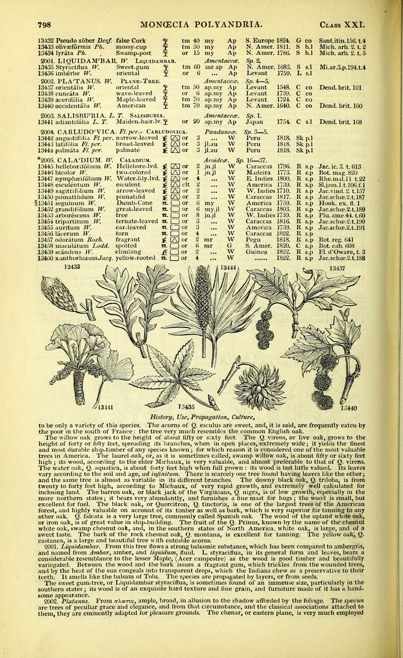 13432 Pseudo sGber Desf. false Cork % 13433 olivasformis Ph. mossy-cup J 13434 lyrata Ph. , Swamp-post ± 2001. LIQUIDAM'BAR. W. Liquidambar. 13435 Styraciflua W. 13436 imberbe W. 2002. PLA'TANUS. W. 13437 orientalis W. 13438 cuneata W. 13439 acerifolia IV. 13440 occidentals W. Sweet-gum oriental Plane-Tree. oriental wave-leaved Maple-leaved American tm 40 my Ap tm 50 my Ap or 15 my Ap Amentace<e. tm 60 inr ap Ap or 6 ... Ap Amentacete. tm 50 ap.my Ap or 6 ap.my Ap tm 70 ap.my Ap tm 70 ap.my Ap S. Europe 1824. N. Amer. 1811. N. Amer. 1786. Sp.2. N. Amer Levant Sp. 4—5. Levant Levant Levant G CO Sant.itin.156. t.4 S h.l Mich. arb. 2. t 2 S h.l Mich. arb. 2. t. 5 1683. 1759. S s.l Mi.ar.ap.l94.t.4 L s.1 1548. 1739. 1724. C co Dend. brit 101 C co C co N. Amer. 1640. C co Dend. brit. 100 2003. SALISBU'RIA. L. T. Salisburia. 13441 adiantiiolia L. T. Maiden-hair-lv.^ Amentace<e. Sp. 1. or 20 ap.my Ap Japan 1754. C s.l Dend. brit. 168 13442 13443 13441 *2005. 13445 13446 13447 1344S 13449 13450 §13451 13452 13453 13454 13455 13456 13457 13458 13459 1341 >0 CARLUDO'VICA. Fl.per.. Carludovica. angustifolia Fl.per. narrow-leaved )£ (23 or latifolia Fl.per. broad-leaved iC CM or palmata Fl. per. palmate £ 123 or Pandaneie. Sp. 3—5. 3 ... W Peru 1818. 3 jl.au W Peru 1818. 3 jLau W Peru 1818. CALA'DIUM. W. helleborifolium W. bicolor W. nympha?ifolium W. esculentum IV. sagittifolium W. pinnatllidum IV. seguinum W. grundifolium W. arborescens W. tripartitum W. auritum W. lacerum W. odoratum Roxb. maculatum hodd. scandens W. xanthorhizumjacg. 12433 Caladium. Helleboce-lvd. two-colored Water-hly-Ivd. esculent arrow-leaved pinnatifid Dumb-Cane great-leaved tree ternate-Ieaved ear-leaved torn fragrant spotted climbing yellow-rooted £ E3or H [23 or £ 123 or H 123 clt H 123 or £ 123 or n-1 i or g. □ or a- □ or n. I I or a. CD or a-1 I or £ 123 or M. O or a-1 I or Aroidete. jn.jl W 2 1 jn.jl 4 2 2 2 6 my 6 my.jl 8 jn.jl 3 3 4 mr mr Sp. 16—37. Caraccas 1796. Madeira 1773. E. Indies 1800. America 1739. W. Indies 1710. Caraccas 1817. America 1759. Caraccas 1803. W. Indies 1759. Caraccas 1816. America 1739. Caraccas 1822. Pegu S. Amer. Guinea 1818. 1820. 1822. 1822. Sk p.l Skp.I Skp.l R s.p R s.p R s.p R s.p R s.p R s.p R s.p R s.p R s.p R s.p R s.p R s.p R s.p C s.p R s.p R s.p Jac. ic 3. t. 613 Bot. mag. 820 Rhe.mal.ll t.22 Sl.jam.l.t.l06.f.l Jac.vind.2. t.157 Jac.scho3.2.t.l87 Hook. ex. (1.1 Jac.schce.2.t.l89 Plu. ame.44. t.60 Jac.schoe.2.t.iyO Jac.schce.2.t.l91 Bot. reg. 641 Bot. cab. 608 PI. d'Oware, t 3 Jac.schce.2.tl88 13440 History, Use, Propagation, Culture, to be only a variety of this species. The acorns of Q. esculus are sweet, and, it is said, are frequently eaten by the poor in the south of France: the tree very mucri resembles the common English oak. The willow oak grows to the height of about fifty or sixty feet. The Q. virens, or live oak, grows to the height of forty or fifty feet, spreading its branches, when in open places, extremely wide; it yields the finest and most durable ship-timber of any species known ; for which reason it is considered one of the most valuable trees in America. The laurel oak, or, as it is sometimes called, swamp willow oak, is about fifty or sixty feet high ; its wood, according to the elder Michaux, is very valuable, and almost preferable to that of Q. virens. The water oak, Q. aquatica, is about forty feet high when full grown : its wood is but little valued. Its leaves vary according to the soil and age, ad infinitum. There is scarcely one tree found having leaves like the other; and the same tree is almost as variable in its different branches. The downy black oak, Q. triloba, is from twenty to forty feet high, according to Michaux, of very rapid growth, and extremely well calculated for inclosing land. The barren oak, or black jack of the Virginians, Q. nigra, is of low growth, especially in the more northern states; it bears very abundantly, and furnishes a fine mast for hogs; the wood is small, but excellent for fuel. The black oak, or Quercitron, Q. tinctoria, is one of the largest trees of the American forest, and highly valuable on account of its timber as well as bark, which is very superior for tanning to any other oak. Q. falcata is a very large tree, commonly called Spanish oak. The wood of the upland white oak, or iron oak, is of great value in ship-building. The fruit of the Q. Prinus, known by the name of the chesriut white oak, swamp chesnut oak, and, in the southern states of North America, white oak, is large, and of a sweet taste. The bark of the rock chesnut oak, Q. montana, is excellent for tanning. The yellow oak, Q. castanea, is a large and beautiful tree with eateable acorns. 2001. Liquidambar. From this tree Hows a strong balsamic substance, which has been compared to ambergris, and named from Ambar, amber, and liquidum, fluid. L. styraciflua, in its general form and leaves, bears a considerable resemblance to the lesser Maple, (Acer campestre) as the wood is good timber and beautifully variegated. Between the wood and the bark issues a fragrant gum, which trickles from the wounded trees, and by the heat of the sun congeals into transparent drops, which the Indians chew as a preservative to their teeth. It smells like the balsam of Tolu. The species are propagated by layers, or from seeds. The sweet gum-tree, or Liquidambar styraciflua, is sometimes found of an immense size, particularly in the southern states ; its wood is of an exquisite hard texture and fine grain, and furniture made of it has a hand- some appearance. 2002. Platanus. From trAaTW, ample, broad, in allusion to the shadow afforded by the foliage. The species are trees of peculiar grace and elegance, and from that circumstance, and the classical associations attached to them, they are eminently adapted for pleasure grounds. The chenar, or eastern plane, is very much employed