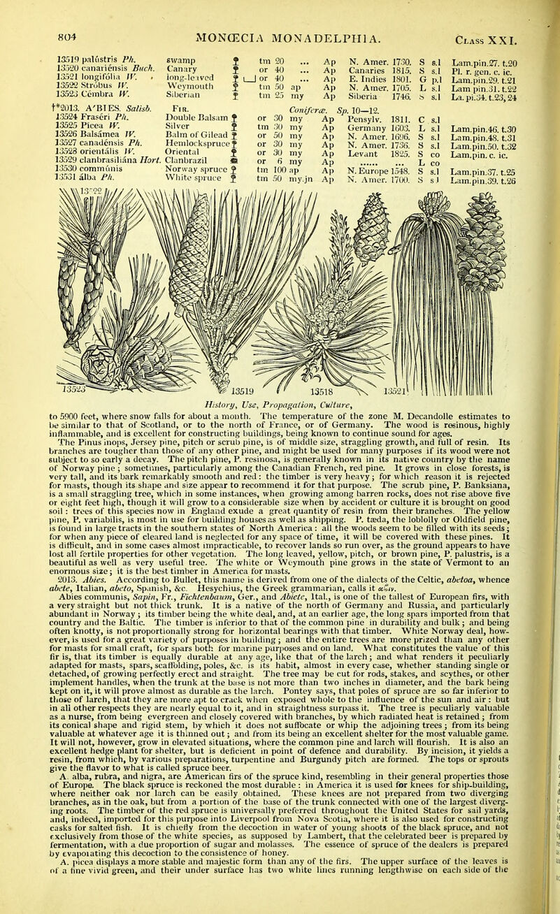 13519 palustris Ph. 13520 canadensis Buck. 13521 longifolia W. . 13522 Strobus IV. iar>2J Cembra W. t*»)13. A'BIES. Salisb. 13524 Fraseri Ph. 13525 Picea W. 13526 Balsamea W. 1.5527 canadensis P/i. 13528 orientalis IV. 13529 clanbrasiliana Hart. 13530 communis 13531 alba Ph. swamp Canary iong-leived Weymouth Siberian Fir. Double Balsam I Silver J Balm of Gilead J Hemlorksprucef Oriental ± Clanbrazil it Norway spruce 5 White spruce 2 tm 20 or 40 J or 40 tin 50 tm 25 or 30 tm 30 or 50 or 30 or 30 or 6 tm 100 tm 50 Ap N. Amer. 1730. S S.1 Ap Canaries 1815. 8 S.1 Ap E. Indies 1801. G p.l ap Ap N. Amer. 1705. L s.1 my Ap Siberia 1746. t> s.1 Coniferce. m 22 my Ap 1 eilsyiv. ioil. C s.1 my Ap Germany 1603. L s.1 my Ap N. Amer. 16U6. S s.1 my Ap N. Amer. 1736. s s.1 my Ap Levant 1825. s CO my Ap L CO ap Ap N. Europe 1548. s s.1 my.jn Ap N. Amer. 1700. s sJ -L,am.pin.^/. t.2(j PI. r. gen. c. ic. T i.i.-i Oil *■ Ol Lam.pin.46. t.30 Lam.pin.48. t.31 Lam.pin.50. t.32 History, Use, Propagation, Culture, to 5900 feet, where snow falls for about a month. The temperature of the zone M. Decandolle estimates to be similar to that of Scotland, or to the north of France, or of Germany. The wood is resinous, highly inflammable, and is excellent for constructing buildings, being known to continue sound for ages. The Pinus mops, Jersey pine, pitch or scrub pine, is of middle size, straggling growth, and full of resin. Its branches are tougher than those of any other pine, and might be used for many purposes if its wood were not subject to so early a decay. The pitch pine, P. resinosa, is generally known in its native country by the name of Norway pine ; sometimes, particularly among the Canadian French, red pine. It grows in close forests, is very tall, and its bark remarkably smooth and red: the timber is very heavy; for which reason it is rejected for masts, though its shape and size appear to recommend it for that purpose. The scrub pine, P. Banksiana, is a small straggling tree, which in some instances, when growing among barren rocks, does not rise above five or eight feet high, though it will grow to a considerable size when by accident or culture it is brought on good soil: trees of this species now in England exude a great quantity of resin from their branches. The yellow pine, P. variabilis, is most in use for building houses as well as shipping. P. teeda, the loblolly or Oldfield pine, is found in large tracts in the southern states of North America : all the woods seem to be filled with its seeds; for when any piece of cleared land is neglected for any space of time, it will be covered with these pines. It is difficult, and in some cases almost impracticable, to recover lands so run over, as the ground appears to have lost all fertile properties for other vegetation. The long leaved, yellow, pitch, or brown pine, P. palustris, is a beautiful as well as very useful tree. The white or Weymouth pine grows in the state of Vermont to an enormous size; it is the best timber in America for masts. 2013. Abies. According to Bullet, this name is derived from one of the dialects of the Celtic, abetoa, whence abete, Italian, abeto, Spanish, &c. Hesychius, the Greek grammarian, calls it a.£tv. Abies communis, Sapin, Fr., Fichtenbaum, Ger., and Abiete, Ltal., is one of the tallest of European firs, with a very straight but not thick trunk. It is a native of the north of Germany and Russia, and particularly abundant in Norway ; its timber being the white deal, and, at an earlier age, the long spars imported from that country and the Baltic. The timber is inferior to that of the common pine in durability and bulk; and being often knotty, is not proportionally strong for horizontal bearings with that timber. White Norway deal, how- ever, is used for a great variety of purposes in building; and the entire trees are more prized than any other for masts for small craft, for spars both for marine purposes and on land. What constitutes the value of this fir is, that its timber is equally durable at any age, like that of the larch; and what renders it peculiarly adapted for masts, spars, scaffolding, poles, &c. is its habit, almost in every case, whether standing single or detached, of growing perfectly erect and straight. The tree may be cut for rods, stakes, and scythes, or other implement handles, when the trunk at the base is not more than two inches in diameter, and the bark being kept on it, it will prove almost as durable as the larch. Pontey says, that poles of spruce are so far inferior to those of larch, that they are more apt to crack when exposed whole to the influence of the sun and air : but in all other respects they are nearly equal to it, and in straightness surpass it. The tree is peculiarly valuable as a nurse, from being evergreen and closely covered with branches, by which radiated heat is retained; from its conical shape and rigid stem, by which it does not suffocate or whip the adjoining trees; from its being valuable at whatever age it is thinned out; and from its being an excellent shelter for the most valuable game. It will not, however, grow in elevated situations, where the common pine and larch will flourish. It is also an excellent hedge plant for shelter, but is deficient in point of defence and durability. By incision, it yields a resin, from which, by various preparations, turpentine and Burgundy pitch are formed. The tops or sprouts give the flavor to what is called spruce beer. A. alba, rubra, and nigra, are American firs of the spruce kind, resembling in their general properties those of Europe. The black spruce is reckoned the most durable : in America it is used for knees for ship-building, where neither oak nor larch can be easily obtained. These knees are not prepared from two diverging branches, as in the oak, but from a portion of the base of the trunk connected with one of the largest diverg- ing roots. The timber of the red spruce is universally preferred throughout the United States for sail yards, and, indeed, imported for this purpose into Liverpool from Nova Scotia, where it is also used for constructing casks for salted fish. It is chiefly from the decoction in water of young shoots of the black spruce, and not exclusively from those of the white species, as supposed by Lambert, that the celebrated beer is prepared by fermentation, with a due proportion of sugar and molasses. The essence of spruce of the dealers is prepared by evapoiating this decoction to the consistence of honey. A. picea displays a more stable and majestic form than any of the firs. The upper surface of the leaves is nl a fine vivid green, and their under surface has two white Hues running lengthwise on each side of the