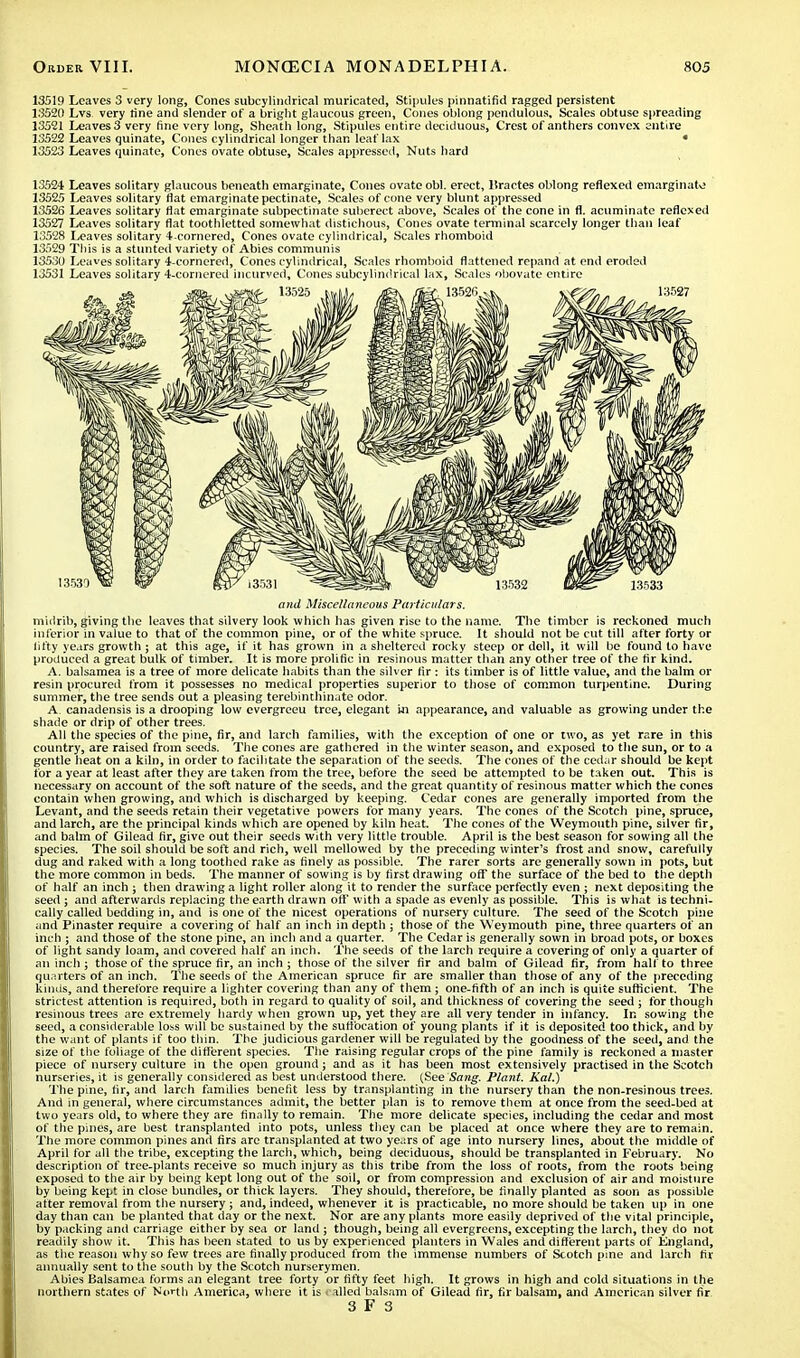 13519 Leaves 3 very long, Cones subcylindrical muricated, Stipules pinnatifid ragged persistent 13520 Lvs very fine and slender of a bright glaucous green, Cones oblong pendulous. Scales obtuse spreading 13521 Leaves 3 very fine very long, Sheath long, Stipules entire deciduous, Crest of anthers convex entire 13522 Leaves quinate, Cones cylindrical longer than leaf lax • 13523 Leaves quinate, Cones ovate obtuse, Scales appressed, Nuts hard 13524 Leaves solitary glaucous beneath emarginate, Cones ovate obi. erect, llractes oblong reflexed emarginate 13525 Leaves solitary flat emarginate pectinate, Scales of cone very blunt appressed 13526 Leaves solitary flat emarginate subpectinate suberect above, Scales of the cone in fl. acuminate reflexed 13527 Leaves solitary flat toothletted somewhat distichous, Cones ovate terminal scarcely longer than leaf 13528 Leaves solitary 4-cornered, Cones ovate cylindrical, Scales rhomboid 13529 This is a stunted variety of Abies communis 13530 Leaves solitary 4-cornered, Cones cylindrical, Scales rhomboid flattened repand at end eroded 13531 Leaves solitary 4-cornered incurved, Cones subcylindrical lax, Scales obovate entire and Miscellaneous Particulars. midrib, giving the leaves that silvery look which has given rise to the name. The timber is reckoned much inferior in value to that of the common pine, or of the white spruce. It should not be cut till after forty or lifty years growth; at this age, if it has grown in a sheltered rocky steep or doll, it will be found to have produced a great bulk of timber. It is more prolific in resinous matter than any other tree of the fir kind. A. balsamea is a tree of more delicate habits than the silver fir : its timber is of little value, and the balm or resin procured from it possesses no medical properties superior to those of common turpentine. During summer, the tree sends out a pleasing terebinthinate odor. A. canadensis is a drooping low evergreeu tree, elegant in appearance, and valuable as growing under the shade or drip of other trees. All the species of the pine, fir, and larch families, with the exception of one or two, as yet rare in this country, are raised from seeds. The cones are gathered in the winter season, and exposed to the sun, or to a gentle heat on a kiln, in order to facilitate the separation of the seeds. The cones of the cedar should be kept for a year at least after they are taken from the tree, before the seed be attempted to be taken out. This is necessary on account of the soft nature of the seeds, and the great quantity of resinous matter which the cones contain when growing, and which is discharged by keeping. Cedar cones are generally imported from the Levant, and the seeds retain their vegetative powers for many years. The cones of the Scotch pine, spruce, and larch, are the principal kinds which are opened by kiln heat. The cones of the Weymouth pine, silver fir, and balm of Gilead fir, give out their seeds with very little trouble. April is the best season for sowing all the species. The soil should be soft and rich, well mellowed by the preceding winter's frost and snow, carefully dug and raked with a long toothed rake as finely as possible. The rarer sorts are generally sown in pots, but the more common in beds. The manner of sowing is by first drawing on the surface of the bed to the depth of half an inch ; then drawing a light roller along it to render the surface perfectly even ; next depositing the seed j and afterwards replacing the earth drawn off with a spade as evenly as possible. This is what is techni- cally called bedding in, and is one of the nicest operations of nursery culture. The seed of the Scotch pine and Pinaster require a covering of half an inch in depth ; those of the Weymouth pine, three quarters of an inch ; and those of the stone pine, an inch and a quarter. The Cedar is generally sown in broad pots, or boxes of light sandy loam, and covered half an inch. The seeds of the larch require a covering of only a quarter of an inch ; those of the spruce fir, an inch ; those of the silver fir and balm of Gilead fir, from half to three quarters of an inch. The seeds of the American spruce fir are smaller than those of any of the preceding kinds, and therefore require a lighter covering than any of them ; one-fifth of an inch is quite sufficient. The strictest attention is required, both in regard to quality of soil, and thickness of covering the seed ; for though resinous trees are extremely hardy when grown up, yet they are all very tender in infancy. In sowing the seed, a considerable loss will be sustained by the suffocation of young plants if it is deposited too thick, and by the want of plants if too thin. The judicious gardener will be regulated by the goodness of the seed, and the size of the foliage of the different species. The raising regular crops of the pine family is reckoned a master piece of nursery culture in the open ground j and as it has been most extensively practised in the Scotch nurseries, it is generally considered as best understood there. (See Sang. Plant. Kal.) The pine, fir, and larch families benefit less by transplanting in the nursery than the non-resinous trees. And in general, where circumstances admit, the better plan is to remove them at once from the seed-bed at two years old, to where they are finally to remain. The more delicate species, including the cedar and most of the pines, are best transplanted into pots, unless they can be placed at once where they are to remain. The more common pines and firs are transplanted at two ye.irs of age into nursery lines, about the middle of April for all the tribe, excepting the larch, which, being deciduous, should be transplanted in February. No description of tree-plants receive so much injury as this tribe from the loss of roots, from the roots being exposed to the air by being kept long out of the soil, or from compression and exclusion of air and moisture by being kept in close bundles, or thick layers. They should, therefore, be finally planted as soon as possible after removal from the nursery ; and, indeed, whenever it is practicable, no more should be taken up in one day than can be planted that day or the next. Nor are any plants more easily deprived of the vital principle, by packing and carriage either by sea or land ; though, being all evergreens, excepting the larch, they do not readily show it. This has been stated to us by experienced planters in Wales and different parts of England, as the reason why so few trees are finally produced from the immense numbers of Scotch pine and larch fir annually sent to the south by the Scotch nurserymen. Abies Balsamea forms an elegant tree forty or fifty feet high. It grows in high and cold situations in the northern states of North America, where it is i ailed balsam of Gilead fir, fir balsam, and American silver fir 3 F 3