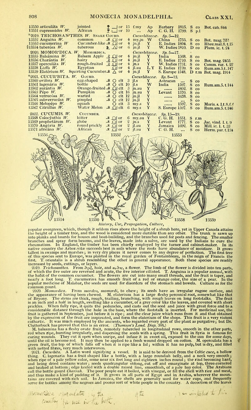 13550 13551 *2019. 13552 13553 §13554 2020. 13555 13556 13557 ia<558 13559 *2021. 13560 13561 13562 13563 13564 13565 13566 13567 2022. CU'CUMIS. W. 13568 Colocynthis W. 13569 prophetarum W. 13570 Angi'iria W. 13571 africana IV 1355C articulata W. jointed J | or cupressoldes W. African J i [ or TRICHOSAN'THES. W. Snake Gourd. Anguina W. common Ji. _QJ or cucumerina W Cucumber-like -* .QJ or tuberosa W. tuberous %_ _AJ or MOMOR'DICA. W. Momobdica. Balsamina IV. Balsam Apple _J £H or Charantia W. hairy J; Ol or operculata W. rough-fruited _J .QJ or L6ffa W. Egyptian .QJ or Elaterium W. Squirting Cucumber-A A or CUCUR'BITA. W. Gourd. egg-shaped -* O clt bottle -* O clt Orange-fruited _QJ clt f.my Ap Ap Cucurbitacece 4 my.jn W 4 jn.jl Y 6 jn.jl Y CucurbitacecE, 4 jn.jl Y jn.jl jn.s jl.au Y Y L.Y Y ovifera W. lagenaria W. aurantia IV. Pepo IV. verrucosa W. subverrucosa W. Melopepo W. Citrullus W. Cucurbitacete. Pumpkin warted pimpled squash Water Melon Barbary 1815. C. G. H. 1799. . Sp. 3—12. China 1755. E. Indies 1804. W. Indies 1810. Sp. 5—17. India 1568. E. Indies 1710. W. Indies 1731. E. Indies 1739. S. Europe 1548. Sp. 8—13. Astracan India 1597. 1802. Levant 1570. 1658. 1597. S. Europe 1597. Sp. 13—19. C. G. H. 1551. Levant 1777. Jamaica 1692. C. G. H. 13553 S co Bot. cab. 844 S p.l S co Bot. mag. 72? S co Rhee.mal.8. t.15 D co Plum. ic. t. 24 S co S co Bot. mag. 2455 S co Comm. rar. t. 22 S co Rum.am.5.t.l47 D r.m Bot. mag. 1914 Rum.am.5.1144 Moris, s. Lt.&f.4 Rum.am.5.1.146 S r.m S co Jac. vind. 1.1. 9 S co Mill. ic. 1. t. 33 S co Herm. par. t.134 history, Use, Propagation, Culture, 13559 popular evergreen, which, though it seldom rises above the height of a shrub here, yet in Upper Canada attains tlie height of a timber tree, and the wood is considered more durable than any other. The trunk is sawn up into planks and boards for houses and boat-building, and the branches used for posts and fencing. The smaller branches and spray form besoms, and the leaves, made into a salve, are used by the Indians to cure the rheumatism. In England, the timber has been chiefly employed by the turner and cabinet-maker. In its native country che Arbor-vita? succeeds best in soils where the roots have abundance of moisture. It grows tallest in swamps and marshes ; in very dry places it never comes to any degree of perfection. The first tree of this species sent to Europe, was planted in the royal garden of Fontainbleau, in the reign of Francis the first. T. orientalis is a shrub resembling the other in general appearance. Both these species are readily increased by seeds, cuttings, or layers. 2019. Trichosanthes. From hair, and cttS-os, a flower. The limb of the flower is divided into ten parts, of which the five outer are reversed and acute, the five interior ciliated. T. Anguina is a popular annual, with the habit of the common cucumber. The flowers are cut into many small threads, and the fruit is taper, and nearly a foot long. T. cucumerina has smooth fruit of a red or orange color, the size of a pear. In the popular medicine of Malabar, the seeds are used for disorders of the stomach and bowels. Culture as for the common gourd. 2020. Momordica. From mordeo, momordi, to chew; its seeds have an irregular rugose surface, and the appearance of having been chewed. M. elaterium has a large fleshy perennial root, somewhat like that of Bryony. The stems are thick, rough, trailing, branching, witli rough leaves on long footstalks. The fruit is an inch and a half in length, swelling like a cucumber, of a grey color like the leaves, and covered with short prickles. When fully ripe, it quits the peduncles, and casts out the seed and juice with great force and to a considerable distance through the hole in the base, where the footstalk is inserted. For medicinal use, the fruit is gathered in September, just before it is ripe; and the clear juice which runs from it and that obtained by the expression of the fruit are inspissated, and form the elaterium of the shops. This fruit is a very violent cathartic. It was much employed by the ancients, who regarded every part of the plant as purgative; but Dr. Clutterbuck has proved that this is an error. (Thomson's Lond, Disp. 388.) M. balsamina has a fleshy ovate fruit, remotely tubercled in longitudinal rows, smooth in the other parts, red when ripe, bursting irregularly, and dispersing the seeds with a spring. This fruit in Syria is famous for curing wounds. They cut it open when unripe, and infuse it in sweet oil, exposed to the sun for some days, until the oil is become red. It may then be applied to a fresh wound dropped on cotton. M. operculata has a green fruit, the top of which falls off when it is ripe like a lid; within it has no pulp, but is dry, and filled with netted fibres, very much interwoven. 2021. Cucurbita. A Latin word signifying a vessel. It is said to be derived from the Celtic cuce, a hollow thing. C. lagenaria has a fruit shaped like a bottle, with a large roundish belly, and a neck very smooth ; when ripe of a pale yellow color, some near six feet long and eighteen inches round ; the rind becoming hard, and being dried contains water ; seeds quadrangular oblong, cut off and emarginate at top, three-cornered and beaked at bottom ; edge keeled with a double raised line, smoothish, of a pale bay color. The Arabians call the bottle gourd Charrah. The poor people eat it boiled, with vinegar, or fill the shell with rice and meat, and thus make a kind of pudding of it. It grows in all parts of Egypt anil in Arabia, wherever the moun- tains are covered with rich soil. In Jamaica, the shells are generally used for water cups, and frequently serve for bottles among the negroes and poorer sort of white people in the country. A decoction of the leaves vtr-libit d ~L /•