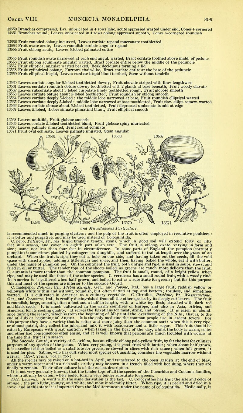 13550 Branches compressed, Lvs. imbricated in 4 rows lane, acute appressed warted under end. Cones 4-cornered 13551 Branches round, Leaves imbricated in 4 rows oblong appressed smooth, Cones 4-cornered roundish 13552 Fruit rounded oblong incurved, Leaves cordate repand mucronate toothletted 13553 Fruit ovate acute, Leaves roundish cordate angular repand 13554 Fruit oblong acute, Leaves 5-lobed palmated entire 13555 Fruit roundish ovate narrowed at each end angul. warted, Bract cordate toothed above midd. of pedunc. 13556 Fruit oblong acuminate angular warted, Bract cordate entire below the middle of the peduncle 13557 Fruit elliptical angular warted beaked, Beak deciduous forming a lid 13558 Fruit cylindrical oblong. Furrows chain-like, Bract cordate entire at the base of the peduncle 13559 Fruit elliptical hispid, Leaves cordate hispid blunt toothed, Stem without tendrils 13560 Leaves cordate angular 5-lobed toothletted downy, Fruit obovate striped with lines lengthwise 13561 Leaves cordate roundish obtuse downy toothletted with 2 glands at base beneath, Fruit woody clavate 13562 Leaves subcordate about 3-lobed cuspidate finely toothletted rough, Fruit globose smooth 13563 Leaves cordate obtuse about 5-lobed toothletted, Fruit roundish or oblong smooth 13564 Leaves cordate deeply 5-lobed: the middle lobe narrowed at base, Fruit roundish elliptical warted 13565 Leaves cordate deeply 5-lobed: middle lobe narrowed at base toothletted, Fruit clav. ellipt. somew. warted 13566 Leaves cordate obtuse about 5-lobed toothletted, Fruit depressed umbonate tumid at edge 13567 Leaves 5-lobed, Lobes sinuate pinnatifid blunt, Fruit elliptical smooth 13568 Leaves multifid, Fruit globose smooth 13569 Leaves cordate 5-lobed toothletted blunt, Fruit globose spiny muricaled 13570 Leaves palmate sinuated, Fruit round echinate 13571 Fruit oval echinate, Leaves palmate sinuated, Stem angular and Miscellaneous Particulars. is recommended much in purging clysters; and the pulp of the fruit is often employed in resolutive poultices : it is bitter and purgative, and may be used instead of Coloquintida. C. pepo, Patisson, Fr., has hispid branchy tendril stems, which in good soil will extend forty or fifty feet in a season, and cover an eighth part of an acre. The fruit is oblong, ovate, varying in form and size; some not less than four feet in circumference. In some parts of England the pompion (corruptly pumpkin) is sometimes planted by cottagers on dunghills, and suffered to trail at length over the grass of an orchard. When the fruit is ripe, they cut a hole on one side, and having taken out the seeds, fill the void space with sliced apples, adding a little sugar and spice, and then, having baked the whole, eat it with butter, under the name of pumpkin pie. On the continent the fruit, both unripe and ripe, is used in soups, stews, and fried in oil or butter. The tender tops of the shoots boiled as greens are much more delicate than the fruit. C. aurantia is more tender than the common pompion. The fruit is small, round, of a bright yellow when ripe, and may be used like those of the other species. C. verrucosa has a small round fruit, with a woody rind. In America it is gathered when half grown, and boiled to eat as a substitute for greens; but for this purpose this and most of the species are inferior to the succade Gourd. C. melopepo, Potiron, Fr., Pfebin KUrbiss, Ger., and Popone, Ital., has a large fruit, reddish yellow or yellowish-white within and without, roundish, but often flatted at top and bottom; torulose, and sometimes warted. It is cultivated in America as a culinary vegetable. C. Citrullus, Pastique, Fr., Wassermelone, Ger., and Cocomero, Ital., is readily distinguished from all the other species by its deeply cut leaves. The fruit is roundish, large, smooth, often a foot and a half in length, with a white icy flesh, streaked with dark red and black seeds. It is much cultivated in the warm countries of Europe, and also in Asia, Africa, and America, for its cooling quality. It serves the Egyptians for meat, drink, and physic. It is eaten in abund- ance during the season, which is from the beginning of May until the overflowing of the Nile; that is, to the end of July or beginning of August. It is the only medicine the common people use in ardent fevers. For this purpose they have a variety that is softer and more juicy than the common sort: when this is very ripe, or almost putrid, they collect the juice, and mix it with rose-water and a little sugar. This fruit should be eaten by Europeans with great caution; when taken in the heat of the day, whilst the body is warm, colics and other bad consequences often ensue, and it is well known that persons are much troubled with worms at the time this fruit is in season. The Succade Gourd, a variety of C. ovifera, has an elliptic oblong pale-yellow fruit, by far the best for culinary purposes of any species of the genus. When very young, it is good fried with butter; when about half grown, it is excellent either boiled as a substitute for greens, or stewed in slices with rich sauce; when full grown, it is used for pies. Sabine, who has cultivated most species of Cucurbita, considers the vegetable marrow without a rival. {Hort. Trans, vol. ii. 255.) All the species may be raised on a hot-bed in April, and transferred to the open garden at the end of May, under a warm aspect and in a rich soil; or they may be sown in a trench filled wifefi hot dung, where they are finally to remain. Their after culture is of the easiest description. It is not very generally known, that the tender tops of all the species of the Cucurbita and Cucumis families, whose fruit may be eaten, when boiled form a very tender substitute for greens. 2022. Cucumis. A word with the same derivation as the last. C. Colocynthis has fruit the size and color of orange ; the pulp light, spungy, and white, and most intolerably bitter. When ripe, it is peeled and dried in a .^tovc, and in this state it is imported from the Mediterranean under the name of coloquintida. Medicinally, it