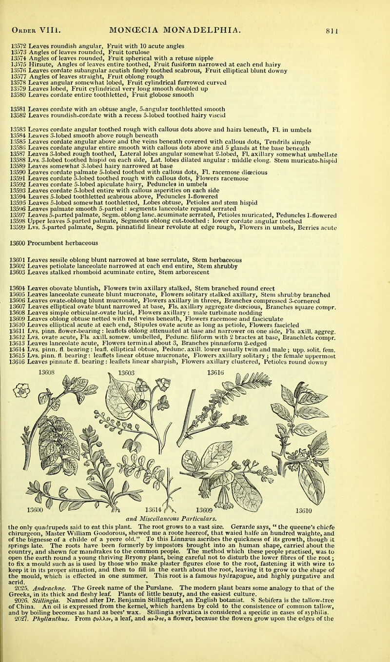 13572 Leaves roundish angular, Fruit with 10 acute angles 13573 Angles of leaves rounded, Fruit torulose 13574 Angles of leaves rounded, Fruit spherical with a retuse nipple 13575 Hirsute, Angles of leaves entire toothed, Fruit fusiform narrowed at each end hairy 13576 Leaves cordate subangular acutish finely toothed scabrous, Fruit elliptical blunt downy 13577 Angles of leaves straight, Fruit oblong rough 13578 Leaves angular somewhat lobed, Fruit cylindrical furrowed curved 13579 Leaves lobed, Fruit cylindrical very long smooth doubled up 13580 Leaves cordate entire toothletted, Fruit globose smooth 13581 Leaves cordate with an obtuse angle, 5-angular toothletted smooth 13582 Leaves roundish-cordate with a recess 5-lobed toothed hairy viscid 13583 Leaves cordate angular toothed rough with callous dots above and hairs beneath, Fl. in umbels 13584 Leaves 3-lobed smooth above rough beneath 13585 Leaves cordate angular above and the veins beneath covered with callous dots, Tendrils simple 13586 Leaves cordate angular entire smooth with callous dots above and 5 glands at the base beneath 13587 Leaves 3-lobed rough toothed, Lateral lobes angular somewhat 2-lobed, Fl. axillary somewhat umbellate 13588 Lvs. 3-lobed toothed hispid on each side, Lat. lobes dilated angular : middle elong. Stem muricato-hispid 13589 Leaves somewhat 3-lobed hairy narrowed at base 13590 Leaves cordate palmate 5-lobed toothed with callous dots, Fl. racemose dioecious 13591 Leaves cordate 5-lobed toothed rough with callous dots, Flowers racemose 13592 Leaves cordate 5-lobed apiculate hairy, Peduncles in umbels 13593 Leaves cordate 5-lobed entire with callous asperities on each side 13594 Leaves 5-lobed toothletted scabrous above, Peduncles 1-flowered 13595 Leaves 5-lobed somewhat toothletted, Lobes obtuse, Petioles and stem hispid 135y6 Leaves palmate smooth 5-parted : segments lanceolate repand serrated 13597 Leaves 5-parted palmate, Segm. oblong lane, acuminate serrated, Petioles muricated, Peduncles 1-flowered 13598 Upper leaves 5.parted palmate, Segments oblong cut-toothed : lower cordate angular toothed 13599 Lvs. 5-parted palmate, Segm. pinnatifid linear revolute at edge rough, Flowers in umbels, Berries acute 13600 Procumbent herbaceous 13601 Leaves sessile oblong blunt narrowed at base serrulate, Stem herbaceous 13602 Leaves petiolate lanceolate narrowed at each end entire, Stem shrubby 13603 Leaves stalked rhomboid acuminate entire, Stem arborescent 13604 Leaves obovate bluntish, Flowers twin axillary stalked, Stem branched round erect 13605 Leaves lanceolate cuneate blunt mucronate, Flowers solitary stalked axillary, Stem shrubby branched 13606 Leayes ovate-oblong blunt mucronate, Flowers axillary in threes, Branches compressed 3-cornered 13607 Leaves elliptical ovate blunt narrowed at base, Fls. axillary aggregate dioecious, Branches square compr. 13608 Leaves simple orbicular-ovate lucid, Flowers axillary: male turbinate nodding 13609 Leaves oblong obtuse netted with red veins beneath, Flowers racemose and fasciculate 13610 Leaves elliptical acute at each end, Stipules ovate acute as long as petiole, Flowers fascicled 13611 Lvs. pinn. flower-bearing: leaflets oblong attenuated at base and narrower on one side, Fls. axill. aggreg. 13612 Lvs. ovate acute, Fls. axill. somew. umbelled, Pedunc. filiform with 2 bractes at base, Branchlets compr. 13613 Leaves lanceolate acute, Flowers terminal about 3, Branches pinnseform 2-edged 13614 Lvs. pinn. fl. bearing: leafl. elliptical obtuse, Pedunc. axill. lower usually twin and male; upp. solit. fern. 13615 Lvs. pinn. fl. bearing: leaflets linear obtuse mucronate, Flowers axillary solitary ; the female uppermost 13616 Leaves pinnate fl. bearing: leaflets linear sharpish, Flowers axillary clustered, Petioles round downy and Miscellaneous Particulars. the only quadrupeds said to eat this plant. The root grows to a vast size. Cerarde says,  the queene's chicfe chirurgeon, Master William Goodorous, shewed me a roote heereof, that waied halfe an hundred waighte, and of the bignesse of a childe of a yeere old. To this Linnaeus ascribes the quickness of its growth, though it springs late. The roots have been formerly by impostors brought into an human shape, carried about the country, and shewn for mandrakes to the common people. The method which these people practised, was to open the earth round a young thriving Bryony plant, being careful not to disturb the lower fibres of the root; to fix a mould such as is used by those who make plaster figures close to the root, fastening it with wire to keep it in its proper situation, and then to fill in the earth about the root, leaving it to grow to the 6hape of the mould, which is effected in one summer. This root is a famous hydragogue, and highly purgative and acrid. 2C25. Andrachne. The Greek name of the Purslane. The modern plant bears some analogy to that of the Greeks, in its thick and fleshy leaf. Plants of little beauty, and the easiest culture. 2026. Stillingia. Named after Dr. Benjamin Stillingfleet, an English botanist. S. Sebifera is the tallow-tree of China. An oil is expressed from the kernel, which hardens by cold to the consistence of common tallow, and by boiling becomes as hard as bees' wax. Stillingia sylvatica is considered a specific in cases of syphilis. 2027. Phyllanthus. From <fv\\t>v, a leaf, and av&os, a flower, because the flowers grow upon the edges of the