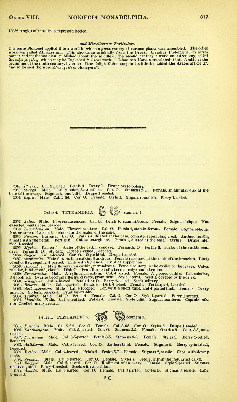 13G82 Angles of capsules compressed keeled and Miscellaneous Particulars. this sense Plukenet applied it to a work in which a great variety of curious plants was assembled. The other work was called Almagestum. This also came originally from the Greek. Claudius Ptolomseus, an astro- nomer and mathematician, published about the middle of the second century a work on astronomy, called Strait; fjnyicln, which may be Englished  Great work. Ishac ben Honain translated it into Arabic at the beginning of the ninth century, by order of the Caliph Mahmoun j to its title he added the Arabic article Al, and so formed the word Al-magesti or Almaghesli. 20+9. Phxnix. Cal. 3-parted. Petals 3. Ovary 1. Drupe ovate-oblong. 2050. Stilago. Male. Cal. tubular, 3-4-toothed. Cor. O. Stamens 2-3. Female, an annular disk at the base of the ovary. Stigmas 2, one bifid. Drupe 1-seeded. 2051. Osyris. Male. Cal. 3-fid. Cor. O. Female. Style 1. Stigma roundish. Berry 1-celled. Order!. TETRANDRIA. Stamens 4. 2052. Aulax. Male. Flowers racemose. CaL O. Petals 4, staminiferous. Female. Stigma oblique. Nut exserted, ventricose, bearded. 2053. Leucadendron. Male. Flowers capitate. Cal. O. Petals 4, staminiferous. Female. Stigma oblique. Nut or samara 1-seeded, included in the scales of the cone. 2054. Viscum. Barren fl. Cal. O. Petals 4, dilated at the base, connate, resembling a cal. Anthers sessile, adnate with the petals. Fertile fl. Cal. submarginate. Petals 4, dilated at the base. Style 1. Drupe infe- rior, 1-seeded. 2055. Myrica. Barren fl. Scales of the catkin concave. Perianth, O. Fertile fl. Scales of the catkin con- cave. Perianth. O. Styles 2. Drupe 1-celled, 1-seeded. 2056. Nageia. Cal. 4-leaved. Cor. O. Style bifid. Drupe 1-seeded. 2057. Shepherdia. Male flowers in a catkin, 8-androus. Female racemose at the ends of the branches. Limb of calyx flat, regular, 4-parted. Disk with 8 glands. Fruit of Hippophae. 2058. Hippophae. Male flowers in a catkin, tetrandrous. Female solitary in the axilla? of the leaves. Calyx tubular, bifid at end, closed. Disk O. Fruit formed of a berried calyx and akenium. 2059. Broussonetia. Male. A cylindrical catkin. Cal. 4-parted. Female. A globose catkin. Cal. tubular, 3-4-toothed. Ovaries becoming fleshy, clavate, prominent. Style lateral. Seed 1, covered by the calyx. 2060. Schcefferia. Cal. 4-leaved. Petals 4 or O. Berry 2-celled. Seeds solitary. 2061. Brucea. Male. Cal. 4-parted. Petals 4. Disk 4-lobed. Female. Pericarps 4,1-seeded. 2062. Anthospermum. Male. Cal. 4-toothed. Cor. with a short tube, and 4-parted limb. Female. Ovary inferior. Styles 2, reflexed. Fruit bipartible. 2063. Tropins. Male. Cal. O. Petals 4. Female. Cal. O. Cor. O. Style 2-parted. Berry 1 seeded. 2064. Montinia. Male. CaL 4-toothed. Petals 4. Female. Style bifid. Stigmas reniform. Capsule infe- rior, 2-celled, many-seeded. Order 5. PENTANDRI A. Stamens 5. 2065. Pistacia. Male. Cal. 5-fid. Cor. O. Female. Cal. 3-fid. Cor. O. Styles 5. Drupe 1-seeded. 2066. Xanthoxylum. Male. Cal. 5-parted. Cor. O. Stamens 3-5. Female. Ovaries 5. Caps. 3-5, one- seeded. 2067. Picramnia. Male. Cal. 3-5-parted. Petals 3-5. Stamens 3-5. Female. Styles 2. Berry 2-celled, 2-seeded. 2068. Antidesma. Male. Cal. 5-leaved. Cor. O. Anthers bifid. Female. Stigmas 5. Berry cylindrical, 1-seeded. 2069. Iresine. Male. Cal. 2-leaved. Petals 5. Scales 5-7. Female. Stigmas 2, sessile. Caps, with downy seeds. 2070. Spinacia. Male. Cal. 5-parted. Cor. O. Female. Styles 4. Seed 1, within the indurated calyx. 2071. Fluggea. Male. Cal. 5-leaved. Cor. O. Rudiment of an ovary. Female. Style 2-parted. Stigmas recurved, bifid. Berrv 4-seeded. Seeds with an arillus. 2072. Acnida. Male. Cal. 5-parted. Cor. O. Female. Cal. 3-parted. Styles O. Stigmas 3, sessile. Caps 1-seeded. 3 G