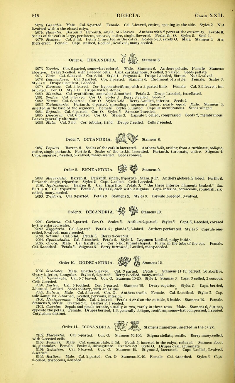 2074. Cannabis. Male. Cal. 5-parted. Female. Cal. 5-leaved, entire, opening at the side. Styles 2. Nut 2-valved within the closed calyx. 2074. Humulus. Barren fl. Perianth, single, of 5 leaves. Anthers with 2 pores at the extremity. Fertile fl. Scales of the catkin large, persistent, concave, entire, single-flowered. Perianth. O. Styles 2. Seed 1. 2075. Modecca. Cal. 5-fid. Petals 5, inserted in the calyx. Scales 5-10, rarely O. Male. Stamens 5. An- thers erect. Female. Caps, stalked, 1-cellcd, 3-valved, many-seeded. Order 6. HEX ANDRI A. Stamens 6. 2076. Xerotes. Cor. 6-parted, somewhat colored. Male. Stamens 6. Anthers peltate. Female. Stamens abortive. Ovary 3-celled, with 1-seeded cells. Caps, cartilaginous, 3-celled, 3-valved. Seeds peltate. 2077. FAais. Cal. 6-leaved. Cor. 6-lid Style 1. Stigmas 3. Drupe 1-seeded, fibrous. Nut 3-valved. 2078. Chamiedorea. Cal. 3-parted. Cor. 3-parted. Stamens 6. Rudiment of a style. Female. Scales 3. Styles 3. Drupe succulent, 1-seeded. 2-079. Borassus. Cal. 3-leaved. Cor hypocrateriform, with a 3-parted limb. Female. CaL 8-9-leaved, im- bricated. Cor. O. Style O. Drupe with 3 stones. 2080. Mauritia. Cal. cyathiform, somewhat 3-toothed. Petals 3. Drupe 1-seeded, tessellated. e081. Smilax. Cal. 5-leaved. Cor. O. Styles 3. Berry 3-celled. Seeds 2. 2082. Tamus. Cal. 6-parted. Cor. O. Styles 3-fid. Berry 3-celled, inferior. Seeds 2. 2083. Testudinaria. Perianth. 6-parted, spreading: segments linear, nearly equal. Male. Stamens 6, inserted in the base of the segments. Female. Styles 3, united. Capsule membranous. Seeds winged. 2084. Rajania. Cal. 6-parted. Cor. O. Styles 5. Samara? 1-seeded. 2085. Dioscorea. Cal. 6-parted. Cor. O. Styles 3. Capsule 3-celled, compressed. Seeds 2, membranous. Leaves generally alternate. 2086. Maba. Cal. 3-fid. Cor. tubular, tri fid. Drupe 2-celled. Cells 2-seeded. Order 7. OCTANDRIA. Stamens 8. 2087. Populus. Barren fl. Scales of the catkin lacerated. Anthers 8-30, arising from a turbinate, oblique, entire, single perianth. Fertile fl. Scales of the catkin lacerated. Perianth, turbinate, entire. Stigmas 4. Caps, superior, 2-celled, 2-valved, many-seeded. Seeds comose. Order 8. ENNEANDRIA. Stamens 9. 2088. Mercurialis. Barren fl. Perianth, single, tripartite. Stam. 9-12. Anthers globose, 2-lobed. Fertile fl. Perianth, single, tripartite. Styles 2. Caps. 2-celled. Cells 1-seeded. 2089. Hydrocharis. Barren fl. Cal. tripartite. Petals 3,  the three interior filaments beaked. Sm. Fertile fl. Cal. tripartite. Petals 3. Styles 6, each with 2 stigmas. Caps, inferior, coriaceous, roundish, six- celled, many-seeded. 2090. Triplaris. Cal. 3-parted. Petals 3. Stamens 9. Styles 3. Capsule 1-seeded, 3-valved. Order 9. DECANDRI A. Stamens 10. 2091. Coriaria. Cal. 5-parted. Cor. O. Scales 5. Anthers 2-parted. Styles 5. Caps. 5,1-seeded, covered by the enlarged scales. 2092. Kiggelaria. Cal. 5-parted. Petals 5 ; glands 5,3-lobed. Anthers perforated. Styles 5. Capsule one- celled, 5-valved, many-seeded. 2093. Schinus. Cal. 5-fid. Petals 5. Berry 3-coccous. 2094. Gymnocladus. Cal. 5-toothed. Petals 5. Style 1. I.egumen 1-celled, pulpy inside. 2095. Carica. Male. Cal. hardly any. Cor. 5-fid, funnel-shaped. Filam. in the tube of the cor. Female. CaL 5-toothed. Petals 5. Stigmas 5. Berry furrowed, 1-celled, many-seeded. Order 10. DODECANDRIA. Stamens 12. 2096. Stratiotes. Male. Spatha 2-leaved. Cal. 3-parted. Petals 3. Stamens 11-13, perfect, 20 abortive. Ovary inferior, 6-angular. Styles 6, 2-parted. Berry 6-celled, many-seeded. 2097. Hyicnanche. Cal. 5-7-leaved. Cor. O. Stamens 10-20. Style 1. Stigmas 3. Caps. 3-celled, 3-coccous. Cells 2-seeded. 2098. Euclea. Cal. 5-toothed. Cor. 5-parted. Stamens 15. Ovary superior. Styles 2. Caps, berried, 3-horned, 3-celled. Seeds solitary, with an arillus. * 2099. Datisca. Male. Cal. 5-leaved. -Cor. O. Anthers sessile. Female. Cal. 2-toothed. Styles 3. Cap- sule 3-angular, 3-horned, 1-celled, pervious, inferior. 2100. Menispermum. Male. Cal. 2-leaved. Petals 4 or 6 on the outside, 8 inside. Stamens 16. Female. Stamens 8, sterile. Ovaries 2-3. Berries 2, 1-seeded. 2101. Cocculus. Sepals and petals ternate, usually in two, rarely in three rows. Male. Stamens 6, distinct, opposite the petals. Female. Drupes berried, 1-6, generally oblique, reniform, somewhat compressed, 1-seeded. Cotyledons distinct. Order 11. ICOSANDRIA. Stamens numerous, inserted in the calyx. 2102. Flacourtia. Cal. 5-parted. Cor. O. Stamens 50-100. Stigma stellate, sessile. Berry many-celled, with 2-seeded cells. 2103. Peumus. Male. Cal. campanulate, 5-fid. Petals 5, inserted in the calyx, reflexed. Stamens about 46, glandular. Female. Scales 5, subsagittate. Ovaries 2-9. Style O. Drupes oval, acuminate. 2104. Gelonium. Cal. 5-leaved. Cor. O. Stamens 12. Stigmas 3, lacerated. Caps. 3-celled, 3-valved, 3-seeded. 2105. Rottlera. Male. Cal. 2-parted. Cor. O. Stamens 30-40. Female. Cal. 4-toothed. Styles 3. Caps. 3-celled, tricoccous, 3-seeded.