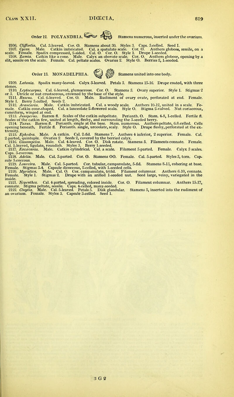 Order 12. FOLYANDRIA. Stamens numerous, inserted under the ovarium. 2106. Cliffortia. CaL 3-leaved. Cor. O. Stamens about 30. Styles 3. Caps. 3-celIed. Seed I. 2107. Cycas. Male. Catkin imbricated. Cal. a spatulate scale. Cor. O. Anthers globose, sessile, on a scale. Female. Spadix compressed, 2-sided. Cal. O. Cor. O. Style I, Drupe 1-seeded. 2108. Zamia. Catkin like a cone. Male. Calyx an obovate scale. Cor. O. Anthers globose, opening by a slit, sessile on the scale. Female. CaL peltate scales. Ovaries 2. Style O. Berries 2,1-seeded. 2109. Latania. Spadix many-leaved. Calyx 3-leaved. Petals 3. Stamens 15-16. Drupe coated, with three stones. 2110. Leplocarpus. Cal. 6-leaved, glumaceous. Cor. O. Stamens 3. Ovary superior. Style 1. Stigmas 2 or 3. Utricle or nut crustaceous, crowned by the base of the style. 2111. Ruscus. Cal. 6-leaved. Cor. O. Male. Rudiment of ovary ovate, perforated at end. Female. Style 1. Berry 3-celled. Seeds 2. 2112. Araucaria. Male. Catkin imbricated. Cal. a woody scale. Anthers 10-12, united in a scale. Fe- male. Catkin cone-shaped. Cal. a lanceolate 2-flowered scale. Style O. Stigma 2-valved. Nut coriaceous, cuneiform, winged at end. 2113. Juniperus. Barren fl. Scales of the catkin subpeltate. Perianth. O. Stam. 4-8,1-celled. Fertile fl. Scales of the catkin few, united at length, fleshy, and surrounding the 3-seeded berry. 2114. Taxus. Barren fl. Perianth, single at the base. Stam. numerous. Anthers peltate, 6-8-celled. Cells opening beneath. Fertile fl. Perianth, single, urceolate, scaly. Style O. Drupe fleshy, perforated at the ex- tremity. 2115. Ephedra. Male. A catkin. Cal. 2-fid. Stamens 7. Anthers 4 inferior, 2 superior. Female. Cal. 2-parted, quintuple. Ovaries 2. Seeds 2, covered by the berried calyx. 2116. Cissampelos. Male. Cal. 4-leaved. Cor. O. Disk rotate. Stamens 5. Filaments connate. Female. Cal. 1-leaved, ligulate, roundish. Styles 3. Berry 1-seeded. 2117. Exccecaria. Male. Catkin cylindrical. Cal. a scale. Filament 3-parted. Female. Calyx 3 scales. Caps. 3-coccous. 2118. Adelia. Male. CaL 3-parted. Cor. O. Stamens OO. Female. Cal. 5-parted. Styles 3, torn. Cap- sule 3-coccous. 2119. Loureira. Male. Cal. 5-parted. Cor. tubular, campanulate, 5-fid. Stamens 8-13, cohering at base. Female. Stigmas 3-4. Capsule dicoccous, 2-celled, with 1-seeded cells. 2120. Myristica. Male. Cal. O. Cor. campanulate, trifld. Filament columnar. Anthers 6-10, connate. Female. Style 1. Stigmas 2. Drupe with an arilled 1-seeded nut. Seed large, veiny, variegated in the inside. 2121. tfepenthes. Cal. 4-parted, spreading, colored inside. Cor. O. Filament columnar. Anthers 15-17, connate. Stigma peltate, sessile. Caps. 4-celled, many-seeded. 2122. Cluytia. Male. Cal. 5-leaved. Petals 5. Disk glandular. Stamens 5, inserted into the rudiment of an ovarium. Female. Styles 3. Capsule 3-celled. Seed 1. Stamens united into one body.