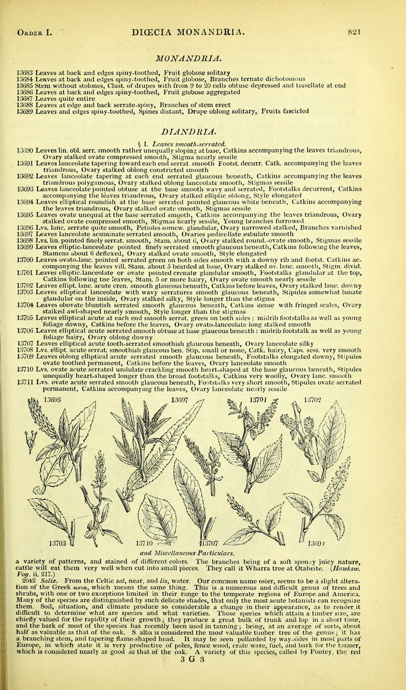 MONANDRIA. 13683 Leaves at back and edges spiny-toothed, Fruit globose solitary 1368* Leaves at back and edges spiny-toothed, Fruit globose, Branches ternatc dichotomous 13685 Stem without stolones, Clust. of drupes with from 9 to 20 cells obtuse depressed and tessellate at end 13686 Leaves at back and edges spiny-toothed, Fruit globose aggregated 13687 Leaves quite entire 13688 Leaves at edge and back serrate-spiny, Branches of stem erect 13689 Leaves and edges spiny-toothed, Spines distant, Drupe oblong solitary, Fruits fascicled DIANDUIA. tj 1. Leaves smooth-serrated. 13690 Leaves I'm. obi. serr. smooth rather unequally sloping at base, Catkins accompanying the leaves triandrous, Ovary stalked ovate compressed smooth, Stigma nearly sessile 13691 Leaves lanceolate tapering toward each end serrat. smooth Footst. decurr. Catk. accompanying the leaves triandrous, Ovary stalked oblong constricted smooth 13692 Leaves lanceolate tapering at each end serrated glaucous beneath, Catkins accompanying the leaves triandrous polygamous, Ovary stalked oblong lanceolate smooth, Stigmas sessile 13693 Leaves lanceolate pointed obtuse at the base smooth wavy and serrated, Footstalks decurrent, Catkins accompanying the leaves triandrous, Ovary stalked elliptic oblong, Style elongated 1369* Leaves elliptical roundish at the base serrated pointed glaucous white beneath, Catkins accompanying the leaves triandrous, Ovary stalked ovate smooth, Stigmas sessile 13695 Leaves ovate unequal at the base serrated smooth, Catkins accompanying the leaves triandrous, Ovary stalked ovate compressed smooth, Stigmas nearly sessile, Young branches furrowed 13696 Lvs. lane, serrate quite smooth, Petioles somew. glandular, Ovary narrowed stalked, Branches varnished 13*597 Leaves lanceolate acuminate serrated smooth, Ovaries pedicellate subulate smooth 13698 Lvs. lin. pointed finely serrat. smooth, Stam. about 6, Ovary stalked round.-ovate smooth, Stigmas sessile 13699 Leaves elliptic-lanceolate pointed finely serrated smooth glaucous beneath, Catkins following the leaves, Stamens about 6 deflexed, Ovary stalked ovate smooth, Style elongated 13700 Leaves ovato-lanc. pointed serrated green on both sides smooth with a downy rib and footst. Catkins ac- companying the leaves vill. Stam. about 5 bearded at base, Ovary stalked ov. lane, smooth, Stigm. divid. 13701 Leaves elliptic-lanceolate or ovate pointed crenate glandular smooth, Footstalks glandular at the top, Catkins following tne leaves, Stam. 5 or more hairy, Ovary ovate smooth nearly sessile 13702 Leaves ellipt. lane, acute cren. smooth glaucous beneath, Catkins before leaves, Ovary stalked lane, downy X3703 Leaves elliptical lanceolate with wavy serratures smooth glaucous beneath, Stipules somewhat lunate glandular on the inside, Ovary stalked silky, Style longer than the stigma 13701 Leaves obovate bluntish serrated smooth glaucous beneath, Catkins dense with fringed scales, Ovary stalked awl-shaped nearly smooth, Style longer than the stigmas 13705 Leaves elliptical acute at each end smooth serrat. green on both sides : midrib footstalks as well as young foliage downy, Catkins before the leaves, Ovary ovato-lanceolate long stalked smooth 13706 Leaves elliptical acute serrated smooth obtuse at base glaucous beneath : midrib footstalk as well as young foliage hairy, Ovary oblong downy 13707 Leaves elliptical acute tooth-serrated smoothish glaucous beneath, Ovary lanceolate silky 13708 Lvs. ellipt. acute serrat. smoothish glaucous ben. Stip. small or none, Catk. hairy, Caps. sess. very smooth 13709 Leaves oblong elliptical acute serrated smooth glaucous beneath, Footstalks elongated downy, Stipules ovate toothed permanent, Catkins before the leaves, Ovary lanceolate smooth 13710 Lvs. ovate acute serrated undulate crackling smooth heart-shaped at the base glaucous beneath, Stipules unequally heart-shaped longer than the broad footstalks, Catkins very woolly, Ovary lane, smooth 13711 Lvs. ovate acute serrated smooth glaucous beneath, Footstalks very short smooth, Stipules ovate serrated permanent, Catkins accompanying the leaves, Ovary lanceolate nearly sessile 13702 1369 I and Miscellaneous Particulars. a variety of patterns, and stained of different colors. The branches being of a soft spongy juicy nature, cattle will eat them very well when cut into small pieces. They call it Wharra tree at Otaheite. (Hawksw. Voy. ii. 217.) 20*2 Salix. From the Celtic sal, near, and lis, water. Our common name osier, seems to be a slight altera- tion of the Greek <mtik, which means the same thing. This is a numerous and difficult genus of trees and shrubs, with one or two exceptions limited in their range to the temperate regions of Europe and America. Many of the species are distinguished by such delicate shades, that only the most acute botanists can recognize them. Soil, situation, and climate produce so considerable a change in their appearance, as to render it difficult to determine what are species and what varieties. Those species which attain a timber size, are chiefly valued for the rapidity of their growth; they produce a great bulk of trunk and lop in a short time, and the bark of most of the species has recently been used in tanning; being, at an average of sorts, about half as valuable as that of the oak. S. alba is considered the most valuable timber tree of the genus.; it has a branching stem, and tapering flame-shaped head. It may be seen pollarded by way-sides in most parts of Europe, in which state it is very productive of poles, fence wood, crate ware, fuel, and bark for the tanner, which is considered nearly as good as that of the oak. A variety of this species, called by I'ontey, the red