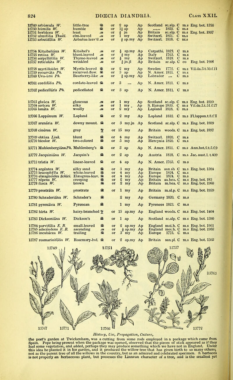 13749 arbuscula W. little-tree a or 2 ap Ap Scotland scalp. C m.s Eng. bot. 1336 13750 humilis W. humble at or ap Ap m.s 13751 herbacea W. , least or i in Ap Britain scalp. C m.s Eng. bot. 1907 \313i ulmif61ia Tkuill. elm-leaved -±* or 1 my Ap Switzerl 1821. C m.s 13753 arbutilolia W. Arbutus-leav'd -i* or i ap.my Ap Switzerl. 1818. C m.s l.'/JI' IV l lit I Ut il.U M H Kitaibel's jtk or l s ap my An Carpathi. 1823 C m s 13755 retfisa W. blunt-leaved ja or i my Ap Italy ' 1763.' C m.s 13756 serpylli folia W. Thyme-leaved -iJr or l my Ap Switzerl. 1818. C m.s 13757 reticulata W. wrinkled J* or jn.jl Ap Britain sc alp. C CO Eng. bot. 1908 13758 myrtilloides W. Myrtle-leaved or 3 my Ap Sweden 1772. C m.s Vil.da.3.t.50.f.ll 13759 recurvata Ph. recurved-flow. at or 3 ap Ap N. Amer. 1811. C m.s 13760 Uva-ursi Ph. Bearburry-like j* or i ap.my Ap Labrador ... C m.s 13761 cordifolia Ph. cordate-leaved or 3 Ap N. Amer. 1811. C m.s 13762 pedicellans Ph. pedicellated at O ap Ap XT Amac 1Q11 f in. Amer. ion. \~> m.s 13763 glafica W. glaucous j» or l my Ap Scotland scalp. C m.s Eng. bot. 1810 1376* sericea W. 6ilky or l my J Ap S. Europe 1820. C m.s Vil.de.3.t.51.f.27 13765 lanata W. woolly j* or 2 my Ap Lapland 1818. C m.s ±0/OQ -Lnt{>L>OIlU.lIl tr ■ Lapland at 2 my An LanlanH 1819 C m.s Fl.lappon.t.8.f.l 13767 arenaria W. downy mount. at or 3 my.jn Ap Scotland scalp. C m.s Eng. bot. 1809 13768 cinerea W. gray i or 15 my Ap Britain woods. C m.s Eng. bot 1897 13769 obtusa iini. blunt or 4 my Ap Switzerl. 1820. C m.s 13770 bicolor W. two-colored at or 5 my Ap Hercynia 1820. C m.s 13771 MuhlenbergianaPA. Muhlenberg's at or g ap An m.s Ann.bot2.t.5.f.9 13772 Jacquiniana W. Jacquin's at or 2 ap Ad Austria 1818. C m.s Jac.aust.l. t.409 13773 tristis W. linear-leaved at or 4 ap Ap N. Amer. 1765. C m s argentea W. silky sand at or 3 my Ap Britain san sh C m.s Eng. bot 1364 13775 leucophvlla W. white-leaved at or 4 my Ap Europe 1824. C m.s 13776 elaeagnoldes Schlei. Etaagnus-leav. at or 4 my Ap Europe 1824. C m.s 13777 repens W. creeping at or 2 my Ap Britain sa.hea. C m.s Eng. bot. 183 13778 fusca W. brown at or 2 my Ap Britain m.hea. C m.s Eng. bot. 1960 13779 prostrata IV. prostrate at or 1 my Ap Britain m.al.p. C m.s Eng. bot. 1959 13780 Schraderiana W. Schrader's at 2 my Ap Germany 1820. C m.s 13781 pyrenaica W. Pyrenean ^ 1 my An Pyrenees 1823. C m.s 13782 hirta W. hairy-branched 3f or 15 ap.my Ap England woods. C m.s Eng. bot. 1404 13783 Dicksoniana W. Dickson's or 1 ap Ap Scotland scalp. C m.s Eng. bot. 1390 13784 parvifolia E. B. small-leaved or 2 ap.my Ap England moi.h. C m.s Eng. bot. 1961 13785 adscendens £. B. ascending ** or j ap.my Ap England moi.h. C m.s Eng. bot. 1962 13786 incubacea W. trailing at or 3* my Ap Europe 1775. C m.s 13787 rosmarinifolia W. Rosemary-lvd. at or 2 ap.my Ap Britain san.pl. C m.s Eng. bot. 1365 History, Use, Propagation, Culture, the poet's garden at Twickenham, was a cutting from some rods employed in a package which came from Spain. Pope being present when the package was opened, observed that the pieces of stick appeared as if they had some vegetation, and added, perhaps they may produce something which we have not in England. Under this idea he planted it in Ins garden, and it produced the willow tree that has given birth to so many others; not as the parent tree of all the willows in the country, but as an admired and celebrated specimen. S. herbacea is not properly an herbaceous plant, but possesses the Linnean character of a tree, and is the smallest yet