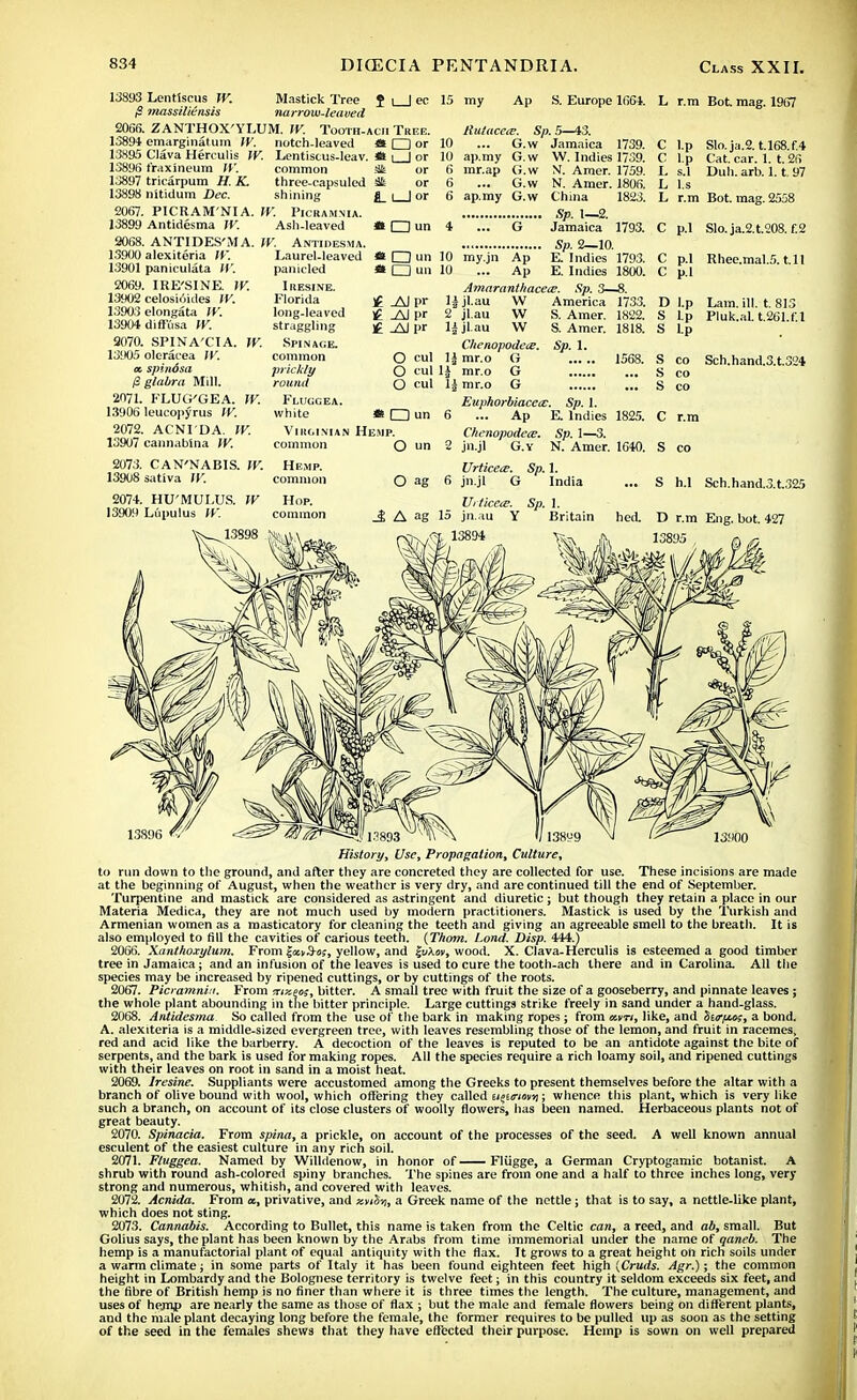 13893 Lentiscus W. Mastick Tree f \ | ec jS massiliensis narrow-leaved 2066. ZANTHOX'YLUM. W. Tooth-ach Tree. 13894 emarginatum IV. notch-leaved a I I or Lentiscus-leav. <* common 3fe or three-capsuled Sit or fl_ l_J or shining IV. PlCRAMNIA, Ash-leaved 13X95 Clava Herculis IV. 13896 fraxineum W. 13897 tricarpum H. K. 13898 nitidum Dec. 2067. PICRAM'NIA 13899 Antidesma IV. 2068. ANTIDES'MA. W. Antidesma. 13900 alexiteria IV. Laurel-leaved 13901 paniculata W. 2069. IRE'SINE. IV. 13902 celosioides IV. 13903 elongata IV. 13904 diftiisa W. 9070. SPINA'CTA. W. 13905 oleracea W. a. spindsa P glabra Mill. 2071. FLUG'GEA. IV. 13906 leucopyrus IV. 2072. ACNI'DA. IV. 13907 cannablna W. 2073. CAN'NABIS. IV. 13908 sativa IV. panicled Iresine. Florida long-leaved straggling SPINAGE. common priclcly round Flugcea. white « □ un « □ un * O un J? .AJpr H .AJ l>r £ .AJpr O cul O cul O cul * □ un Virginian Hesip. common O un 2074. HU'MULUS. 13909 Liipulus IV. 15 my Ap S. Europe 1664. Jtulaceie. Sp. 5—43. 10 ... G.w Jamaica 1739. 10 ap.my G.w W. Indies 1739. 6 mr.ap G.w N. Amer. 1759. 6 ... G.w N. Amer. 1806. 6 ap.my G.w China 1823. Sp. 1—2. 4 ... G Jamaica 1793. Sp. 2—10. 10 my.jn Ap E. Indies 1793. 10 ... Ap E. Indies 1800. Amaranthacece. Sp. 3—8. lijl.au W America 1733. 2 jl.au W S. Amer. 1822. lijl.au W S. Amer. 1818. Chenopodete. Sp. 1. 1| mr.o G 1568. H mr.o G 1J mr.o G Euphorbiaccx. Sp. 1. 6 ... Ap E. Indies 1825. Chenopodea?. Sp. 1—3. 2 jn.jl G.v N. Amer. 1640. Urticeis. Sp. 1. 6 jn.jl G India Urticece. Sp. 1. 15 jn.au Y Britain hed. 138M * l*\ M L r.m Bot. mag. 1967 C l.p Slo.ja.2. t.l68.f.4 C l.p Cat. car. 1. t. 26 £, S.1 Dull. arh. 1.1. 97 L l.s L r.m Bot. mag. 2558 c p.l Slo. ia.2.t.208. f.2 C p.l Rhee.mal.5. t.ll c p.l D I.p Lam. ill. t. 813 S Lp Pluk.al. t.261.f.l s Lp s CO Sch.hand.3.t.324 g s CO c r.m s CO s h.l Sch.hand.3.t.325 D r.m Eng. bot. 427 13895 , 13896 13900 History, Use, Propagation, Culture, to run down to the ground, and after they are concreted they are collected for use. These incisions are made at the beginning of August, when the weather is very dry, and are continued till the end of September. Turpentine and mastick are considered as astringent and diuretic; but though they retain a place in our Materia Medica, they are not much used by modern practitioners. Mastick is used by the Turkish and Armenian women as a masticatory for cleaning the teeth and giving an agreeable smell to the breath. It is also employed to fill the cavities of carious teeth. {Thorn. Lond. Disp. 444.) 2066. Xanthoxylum. From %<zv&o;, yellow, and £uAov, wood. X. Clava-Herculis is esteemed a good timber tree in Jamaica; and an infusion of the leaves is used to cure the tooth-ach there and in Carolina. All the species may be increased by ripened cuttings, or by cuttings of the roots. 2067. Pio amnin. From mxeo;, bitter. A small tree with fruit the size of a gooseberry, and pinnate leaves; the whole plant abounding in the bitter principle. Large cuttings strike freely in sand under a hand-glass. 2068. Antidesma So called from the use of the bark in making ropes ; from avrt, like, and %i<rfju>s, a bond. A. alexiteria is a middle-sized evergreen tree, with leaves resembling those of the lemon, and fruit in racemes, red and acid like the barberry. A decoction of the leaves is reputed to be an antidote against the bite of serpents, and the bark is used for making ropes. All the species require a rich loamy soil, and ripened cuttings with their leaves on root in sand in a moist heat. 2069. Iresine. Suppliants were accustomed among the Greeks to present themselves before the altar with a branch of olive bound with wool, which offering they called u^urim/ii; whence this plant, which is very like such a branch, on account of its close clusters of woolly flowers, has been named. Herbaceous plants not of great beauty. 2070. Spinacia. From spina, a prickle, on account of the processes of the seed. A well known annual esculent of the easiest culture in any rich soil. 2071. Fluggea. Named by Willdenow, in honor of Fliigge, a German Cryptogamic botanist. A shrub with round ash-colored spiny branches. The spines are from one and a half to three inches long, very strong and numerous, whitish, and covered with leaves. 2072. Acnida. From a, privative, and xniy;, a Greek name of the nettle; that is to say, a nettle-like plant, which does not sting. 2073. Cannabis. According to Bullet, this name is taken from the Celtic can, a reed, and ab, small. But Golius says, the plant has been known by the Arabs from time immemorial under the name of qaneb. The hemp is a manufactorial plant of equal antiquity with the flax. It grows to a great height on rich soils under a warm climate; in some parts of Italy it has been found eighteen feet high (Cruds. Agr.); the common height in Lombardy and the Bolognese territory is twelve feet; in this country it seldom exceeds six feet, and the fibre of British hemp is no finer than where it is three times the length. The culture, management, and uses of hemp are nearly the same as those of flax ; but the male and female flowers being on different plants, and the male plant decaying long before the female, the former requires to be pulled up as soon as the setting of the seed in the females shews that they have effected their purpose. Hemp is sown on well prepared