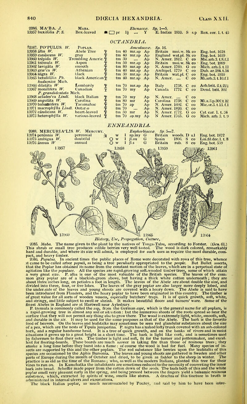 2086. MA'BA. J. 13957 buxifolia P. S. Mada. Box-leaved i □ pr Ebenacea?. H ... Y Sp. 1—5. E.Indies 1810. S s.p Rox. cor. 1.1. 45 OCT AND HI A. t2087. 13958 13959 13960 13961 13962 13963 13964 13965 13966 13967 13968 13969 13970 13971 13972 13973 POTULUS. alba IV. canescens W. trepida W. tremula IV. laevigata W. gra'ca W. nigra W. betulifolia Ph. hudsonica Mich dilatata W monillfera IV. IV. Poplar. Abele Tree * gray * Trembling Americ* Aspen * smooth ^ Athenian * black * black American* Lombardy * Canadian * P. grandidentata Mich, aclades'ca Lindl. black Italian angulata W. Carolina balsamifera W. Tacamahac macrophylla Lindl. Ontario candicans W. heart-leaved heterophylla W. various-leaved Amcntacea?. So. 16. tm 40 mr.ap Ap Britain moi.w. Sk co tin +0 mr.ap Ap England wat.pl. Sk co tin 30 Ap N. Amer. 1812. C CO tm 50 mr.ap Ap Britain moi.w. Sk co tin 80 mr.ap Ap N. Amer. 1769. G CO tin 40 mr.ap Ap Archipel. 1779 C CO tm 30 mr.ap Ap Britain wat.pl. C CO tin 40 mr.ap Ap N. Amer. ... C CO tm 70 mr.ap Ap Italy 1758. C CO tm 70 my Ap Canada 1772. C CO tm 70 my Ap N. Amer. ... C CO tm 80 mr Ap Carolina 1738. C CO tm 70 ap Ap N. Amer. 1692. C CO tin 70 Ap N. Amer. 1820. C CO tm 50 mr Ap N. Amer. 1772. G CO tm 70 ap.my Ap N Amer. 1765. G CO Eng. bot. 1618 Eng. bot. 1619 Micarb.3. t.8.f.l Eng. bot 1909 Mich, arb.3. t.11 Dull. ar.l84.t.54 Eng. bot 1910 Mi.arb.3.U0.f.l Arb.brit.2.t.221 Dend. brit. 102 Mi.a.3.p.302.t. 12 Mic.ar.3. t.13. f.l Cat. car. 1. t. 34 Mich. arb. 3. t. 9 ENNEA ND RI A. 2088. MERCUKIA'US. IV. Mercury. 13974 perennis W. perennial ^ w 13975 ambigua IV. doubtful Q w 13976 annua IV annual Euphorbiacea?. Sp. 5—7. ap.my G Britain woods. D s.I Spain Britain 1 1 jhau 1806. rub. S S co Eng. bot. 1872 Lin.fil.dec.l. t.: Eng. bot. 559 13961 13965 History, Use, Propagation, Culture, 2085. Maba. The name given to the plant by the natives of Tonga-Tabu, according to Forster. (Gen. 61.) This shrub or small tree produces edible berries very well tasted. The wood is dark colored, remarkably hard and durable, and where its size will admit, is employed for such uses as require the most durable, com- pact, and heavy timber. 2086. Populus. In ancient times the public places of Rome were decorated with rows of this tree, whence it came to be called arbor populi, as being a tree peculiarly appropriated to the people. But Bullet asserts, that the Poplar has obtained its name from the constant motion of the leaves, which are in a perpetual state of agitation like the populace. All the species are rapid-growing soft-wooded timber trees, some of which attain a very great size. P. alba is one of the most valuable of the British species. The leaves of the com- mon gray poplar are of a blackish-green above, but having a thick white cotton underneath ; they are about three inches long, on petioles a foot in length. The leaves of the Abele are about double the size, and divided into three, four, or five lobes. The leaves of the gray poplar are also larger more deeply lobed, and the under-side of the leaves and young shoots are covered with a hoary down. The Abele is said to have been introduced from Flanders, and the hoary poplar to have been originated in this country. The timber is of great value for all sorts of wooden vessels, especially butchers' trays. It is of quick growth, soft, white, and stringy, and little subject to swell or shrink. It makes beautiful floors and turners' ware. Some of the finest Abeles in England are at Hartwell near Aylesbury. P. tremula is commonly called the asp, from the German espe, which is the general name for all poplars, is a rapid-growing tree in almost any soil or situation : but the numerous shoots of the roots spread so near the surface that they will not permit any thing else to grow there. The wood is extremely light, white, smooth, soft, and durable in the air. It may be used for the same purposes as that of the Abele. The bark is the favorite food of beavers. On the leaves and leafstalks may sometimes be seen red glandular substances about the size of a pea, which are the nests of Tipula juniperina* P. nigra has a naked lofty trunk covered with an ash-colored bark, and a regular handsome head. It is a tree of quick growth, and on the banks of rivers and in moist situations it grows up to a great height in a short time. The bark is light like cork, and is sometimes used by fishermen to float their nets. The timber is light and soft, fit for the turner and pattenmaker, and excel- lent for flooring-boards. These boards are much slower in taking fire than those of resinous trees; they smoke a long time before they burst into a flame : of course the wood is bad for fuel. Many species of in- sects are supported by this and the other poplars. The red substance like berries upon the leafstalks of this species are occasioned by the Aphis Bursonia. The leaves and young shoots are gathered in Sweden and other parts of Europe during the month of October and dried, to be given as fodder to the sheep in winter. The practice is as old as the time of the Romans; who, as well as the modern Italians, planted this tree for their vines to run on. In Kamchatka the inhabitants are sometimes reduced to the necessity of converting the inner bark into bread. Scheffer made paper from the cotton down of the seeds. The buds both of this and the white poplar smell very pleasant early in the spring, and being pressed between the fingers yield a balsamic resinous substance, which, extracted by spirits of wine, smells like storax. A drachm of this tincture in broth is administered in internal ulcers and excoriations. The black Italian poplar, so much recommended by Foistey, nnd said by him to have been intro-