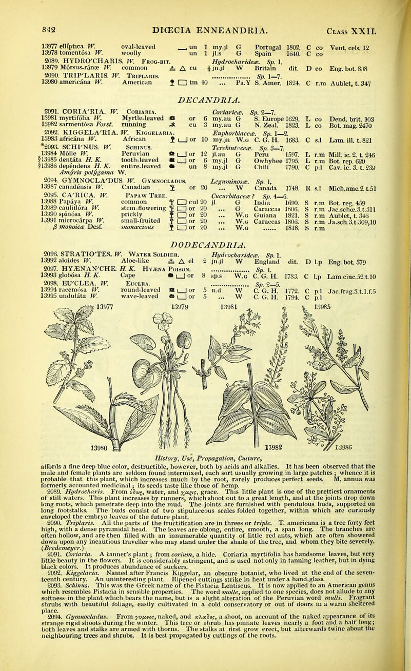 13977 ellfptica W. oval-leaved , un 1 13978 tomentosa JV. woolly un 1 2089. HYDRCCHARIS. W. Froo-bit. 13979 Morsus-ranae W. common i A 2090. TRIP'LARIS. W. Triplaris. 13980 americana W. American f I I tm 40 my.jl G jl.s G Spain Hydrocharideee. Sp. 1. 5 jn.jl W Britain Sp. 1—7. Pa.Y S. Amer. Portugal 1802. 1640. 1824. co Vent. eels. 12 D co Eng. bot. 8;)8 C r.m Aublet, t. 347 DECANDRIA. 2091. 13981 13982 2092. 13983 *2093. 13984 5)3985 §13986 2094. 13987 209.'!. 13988 13989 1399(1 1J991 CORIA'RIA. W. Coriaria. myrtifolia IV. Myrtle-leaved It sarmentosa Forst. running Jt KIGGELA'RIA. W. Kicgelaria. Sp. 2—7. S. Europe 1629. N. Zeal. 1823. africana W. African J [_J or 10 SCHI'NUS. W. Schinus. Molle W. Peruvian *t \ | dentata H. K. tootli-leaved * , | dependens H. K. entire-leaved tt Amyris polygama W. GYMNOCLA'DUS. W. Gymnocladus. canadensis W. Canadian J CA'RICA. IV. Papavv Tree. Papaya W. common [ZD caulirlora IV. stem-flowering J CD spinosa W. prickly J r~1 microcarpa W. small-fruited J I I monoica Desf. monoecious J CD or 12 or 6 or 20 cul 20 or 20 Coriariece. my.au G my.au G Euphorbiace<e. Sp. 1—2. my.jn W.g C. G. H. 1683. Terebintucete. Sp. 3—7. jl.au G Peru 1597. my.jl G Owhyhee 1795. my.jl G Chili 1790. Leguminosce. Sp. 1. ... W Canada 1748. Cucurbitacece ? Sp. 4—6. or 20 or 20 G G W.o W.G W.G India 1690. Caraccas 1806. Guiana 1821. Caraccas 1806. 1818. L co Dend. brit. 103 L co Bot. mag. 2470 C s.l Lam. ill. t. 821 L r.m Mill. ic. 2. t. 246 L r.m Bot. rep. 620 C p.l Cav. ic. 3. t. 239 R s.l Mich.ame.2. t.51 r.m Bot. reg. 459 r.m Jac.schce.3.t.31l r.m Aublet, t.346 r.m Ja.sch.3.t.309,10 r.m DODECANDRIA. 209a STRATIO'TES. W. Water Soldier. 13992 aloides W. Aloe-like A A el 2097. HY^NAN'CHE. H. K. Hyjsna Poison. 13993 globosa H. K. 2098. EU'CLEA. W. 13994 racemusa IV. 13995 undulata IV. Hydrocharideie. Sp. 1. jn.jl W England D l.p Eng. bot. 379 l.p Lam.cinc.52.t.l0 Jac.frag.3.U.f.5 History, Use, Propagation, Culture, affords a fine deep blue color, destructible, however, both by acids and alkalies. It has been observed that the male and female plants are seldom found intermixed, each sort usually growing in large patches ; whence it is probable that this plant, which increases much by the root, rarely produces perfect seeds. M. annua was formerly accounted medicinal; its seeds taste like those of hemp. 2089. Hydroeharis. From viug, water, and %ccen, grace. This little plant is one of the prettiest ornaments of still waters. This plant increases by runners, which shoot out to a great length, and at the joints drop down long roots, which penetrate deep into the mud. The joints are furnished with pendulous buds, supported on long footstalks. The buds consist of two stipulaceous scales folded together, within which are curiously enveloped the embryo leaves of the future plant. 2090. Triplaris. All the parts of the fructification are in threes or triple. T. americana is a tree forty feet high, with a dense pyramidal head. The leaves are oblong, entire, smooth, a span long. The branches are often hollow, and are then filled with an innumerable quantity of little red ants, which are often showered down upon any incautious traveller who may stand under the shade of the tree, and whom they bite severely. (Bredemeyer.) 2091. Coriaria. A tanner's plant; from corium, a hide. Coriaria myrtifolia has handsome leaves, but very little beauty in the flowers. It is considerably astringent, and is used not only in tanning leather, but in dying black colors. It produces abundance of suckers. 2092. Kiggelaria. Named after Francis Kiggelar, an obscure botanist, who lived at the end of the seven- teenth century. An uninteresting plant. Ripened cuttings strike in heat under a hand-glass. 2093. Schinus. This was the Greek name of the Pistacia Lentiscus. It is now applied to an American genus which resembles Pistacia in sensible properties. The word molle, applied to one species, does not allude to any softness in the plant whicli bears the name, but is a slight alteration of the Peruvian word mulli. Fragrant shrubs with beautiful foliage, easily cidtivated in a cold conservatory or out of doors in a warm sheltered place. 2094. Gymnocladus. From •yv/xvo;, naked, and xkxSns, a shoot, on account of the naked appearance of its strange rigid shoots during the winter. This tree or shrub has pinnate leaves nearly a foot and a half long; both leaves and stalks are armed with thorns. The stalks at first grow erect, but afterwards twine about the neighbouring trees and shrubs. It is best propagated by cuttings of the roots.