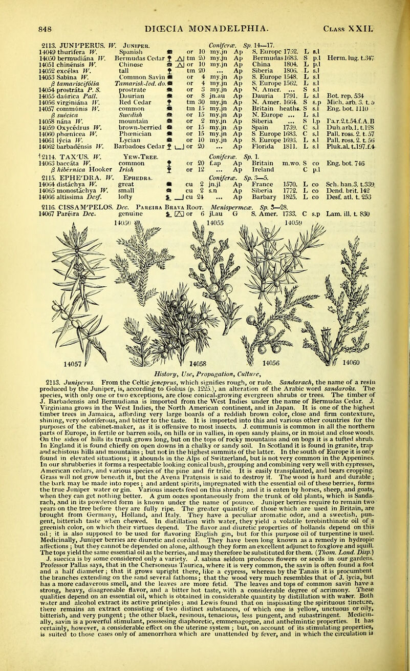 2113. JTJNI'PERUS. 14049 thurifera W. 14050 bermudiana W. 14051 chinensis W. 14052 excelsa W. 14053 Sabina W. /? tamariscijolia 14054 prostrata P. S. 14055 daurica Pall. 14056 virginiana IV. 14057 communis W. (i suecica 14058 nana IV. 14059 Oxycedrus W. 14060 phoenicea W. 14061 lycia W. 14062 barbadensis W. W. Juniper. Spanish « or 10 Bermudas Cedar j Al tm 20 Chinese «* _AJ or 10 tall J tm 20 Common Savin * or 4 Tamarisk-lod. do.tl or 4 prostrate * or 3 Daurian « or 8 Red Cedar f tm 30 common * tm 15 Swedish * or 15 mountain * or 2 brown-berried *t or 15 Phoenician * or 15 Lycian *t or 10 Barbadoes Cedar J i_J or 20 Conifer my.jn my.jn my.jn my.jn my.jn my.jn jn.au my.jn my.jn my.jn my.jn my.jn my.jn my.jn •ee. Sp Ap Ap Ap Ap Ap Ap Ap Ap Ap Ap Ap Ap Ap Ap Ap Ap 14—17. S. Europe 1752. Bermudas 1683. China 1804. Siberia 1806. S. Europe 1548. S. Europe 1562. N. Amer. ... Dauria 1791. N. Amer. 1664. Britain heaths. N. Europe ... Siberia Spain 1739. S Europe 1683. S. Europe 1693. Florida 1811. L 8.1 S p.l L p.l L s.l L s.l L s.l S s.l L s.l S s.p S s.l L s.l S l.p C s.l C s.l L s.l L s.l Herm. lug. t.347 Bot. rep. 534 Mich. arb. 3. t. 5 Eng. bot. 1110 ra.r.2.t.54.f.A.B Duh.arb.l.t.128 Pall. ross. 2. t. 57 Pall. ross. 2. t. 56 Pluk.aL t.l97.f.4 12114. TAX'US. W. 14063 baccata W. $ hibernica Hooker 2115. EPHE'DRA. W. 14064 distachya W. 14065 monostachya W. 14066 alt'issima Desf. Yew-Thee. common J or 20 Irish $ or 12 Ephedra. great * cu 2 small * cu 2 lofty £ | cu 24 2116. CISSAM'PELOS. Dec. Pargira Brava Root. 14067 Pareira Dec. genuine $_ 23 or 6 14050 m Conifer<e. Sp. 1. f.ap Ap Britain Ap Ireland Coniferce. Sp. 3—5. jn.jl Ap France s.n Ap Siberia Ap Barbary m.wo. S co Eng. bot. 746 C p.l 1570. 1772. 1825. Menispermeee. Sp. 3—28. jl.au G S. Amer. 1733. Sch. han.3. t.339 Dend. brit. 142 Desf. atl. t. 253 Lam. ill. t. 830 14057 History, Use, Propagation, Culture, 2113. Juniperus. From the Celtic jeneprus, which signifies rough, or rude. Sandarach, the name of a resin produced by the Juniper, is, according to Golius (p. 1225.), an alteration of the Arabic word sandaroits. The species, with only one or two exceptions, are close conical-growing evergreen shrubs or trees. The timber of J. Barbadensis and Bermudiana is imported from the West Indies under the name of Bermudas Cedar. J. Virginiana grows in the West Indies, the North American continent, and in Japan. It is one of the highest timber trees in Jamaica, affording very large boards of a reddish brown color, close and firm contexture, shining, very odoriferous, and bitter to the taste. It is imported into this and various other countries for the purposes of the cabinet-maker, as it is offensive to most insects. J. communis is common in all the northern parts of Europe, in fertile or barren soils, on hills or in vallies, in open sandy plains, or in moist and close woods. On the sides of hills its trunk grows long, but on the tops of rocky mountains and on bogs it is a tufted shrub. In England it is found chiefly on open downs in a chalky or sandy soil. In Scotland it is found in granite, trap and schistous hills and mountains; but not in the highest summits of the latter. In the south of Europe it is only found in elevated situations; it abounds in the Alps of Switzerland, but is not very common in the Appenines. In our shrubberies it forms a respectable looking conical bush, grouping and combining very well with cypresses, American cedars, and various species of the pine and fir tribe. It is easily transplanted, and bears cropping. Grass wdl not grow beneath it, but the Avena Pratensis is said to destroy it. The wood is hard and durable ; the bark may be made into ropes ; and ardent spirits, impregnated with the essential oil of these berries, forms the true Juniper water or gin. Various insects feed on this shrub; and it is eaten by horses, sheep, and goats, when they can get nothing better. A gum oozes spontaneously from the trunk of old plants, which is Sanda. rach, and in its powdered form is known under the name of pounce. Juniper berries require to remain two years on the tree before they are fully ripe. The greater quantity of those which are used in Britain, are brought from Germany, Holland, and Italy. They have a peculiar aromatic odor, and a sweetish, pun- gent, bitterish taste when chewed. In distillation with water, they yield a volatile terebinthinate oil of a greenish color, on which their virtues depend. The flavor and diuretic properties of hollands depend on this oil; it is also supposed to be used for flavoring English gin, but for this purpose oil of turpentine is used. Medicinally, Juniper berries are diuretic and cordial. They have been long known as a remedy in hydropic affections; but they cannot be depended on alone, although they form an excellent adjunct to foxglove and squill. The tops yield the same essential oil as the berries, and may therefore be substituted for them. (Thorn. Land. Disp.) J. suecica is by some considered only a variety. J. sabina seldom produces flowers or seeds in our gardens. Professor Pallas says, that in the Chersonesus Taurica, where it is very common, the savin is often found a foot and a half diameter; that it grows upright there, like a cypress, whereas by the Tanais it is procumbent the branches extending on the sand several fathoms; that the wood very much resembles that of J. lycia, but has a more cadaverous smell, and the leaves are more fetid. The leaves and tops of common savin have a strong, heavy, disagreeable flavor, and a bitter hot taste, with a considerable degree of acrimony. These qualities depend on an essential oil, which is obtained in considerable quantity by distillation with water. Both water and alcohol extract its active principles; and Lewis found that on inspissating the spirituous tincture, there remains an extract consisting of two distinct substances, of which one is yellow, unctuous or oily, bitterish, and very pungent; the other black, resinous, tenacious, less pungent, and subastringent. Medicin- ally, savin is a powerful stimulant, posssesing diaphoretic, emmenagogue, and anthelmintic properties. It has certainly, however, a considerable effect on the uterine system ; but, on account of its stimulating properties, is suited to those cases only of amenorrhcea which are unattended by fever, and in which the circulation is